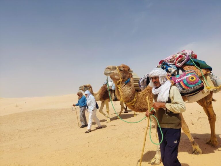 Passer l'hiver au soleil, ça vous tente ? Le Sud tunisien est une destination de rêve, surtout en hiver. Avec ses paysages variés, ses traditions fascinantes et ses activités uniques, c'est l'endroit idéal pour des vacances inoubliables. Découvrez pourquoi vous devriez choisir le Sud tunisien pour vos prochaines vacances d'hiver et comment www.sudtunisie.com peut vous offrir une excursion top privé pour rendre votre séjour encore plus spécial. Pourquoi Choisir le Sud Tunisien pour vos Vacances d'Hiver ? Le Sud tunisien est une région pleine de charme et de surprises. En hiver, les températures sont agréables, loin de la chaleur étouffante de l'été. C'est le moment parfait pour explorer les dunes de sable, les oasis verdoyantes et les villages berbères authentiques. Climat Agréable et Paysages Variés En hiver, le climat du Sud tunisien est doux et agréable, avec des températures qui oscillent entre 15 et 25 degrés. Cela permet de profiter pleinement des activités en plein air sans souffrir de la chaleur. Les paysages sont époustouflants : des vastes étendues désertiques aux oasis luxuriantes, en passant par les montagnes et les villages pittoresques. Chaque recoin de cette région offre une nouvelle découverte. Richesse Culturelle et Patrimoine Le Sud tunisien est riche en histoire et en culture. Les traditions berbères sont encore très présentes et vous pourrez les découvrir à travers les festivals, les marchés et les rencontres avec les habitants. Les villes comme Tozeur et Douz sont des témoins vivants de ce patrimoine, avec leurs architectures traditionnelles et leurs souks animés. Les Meilleures Activités à Faire dans le Sud Tunisien en Hiver Que vous soyez amateur d'aventure, de détente ou de découvertes culturelles, le Sud tunisien a de quoi satisfaire toutes vos envies. Voici quelques activités incontournables à ne pas manquer. Excursions en 4x4 dans le Désert Rien de tel qu'une excursion en 4x4 pour explorer le désert tunisien. Ces sorties vous permettent de découvrir des paysages à couper le souffle, des dunes de sable doré aux lacs salés du Chott El Jerid. Les guides locaux vous emmènent hors des sentiers battus pour une expérience unique et mémorable. Randonnées à Dos de Chameau Pour une immersion totale dans l'ambiance du désert, optez pour une randonnée à dos de chameau. C'est une expérience authentique qui vous plonge dans l'univers des caravanes nomades. Traversez les dunes de sable au rythme paisible des chameaux et profitez du silence et de la sérénité du désert. Visites des Villages Berbères Les villages berbères sont un véritable trésor à découvrir. Chaque village a son propre charme et son histoire unique. Flânez dans les ruelles étroites, visitez les maisons traditionnelles et échangez avec les habitants pour en apprendre plus sur leur mode de vie et leurs traditions. Logements Confortables et Expériences Uniques Lors de votre séjour dans le Sud tunisien, vous aurez le choix entre différents types de logements, tous plus charmants les uns que les autres. www.sudtunisie.com propose des options d'hébergement variées pour répondre à toutes vos attentes. Hôtels de Charme et Kasbahs Séjourner dans un hôtel de charme ou une kasbah est une excellente façon de découvrir le Sud tunisien. Ces établissements allient confort moderne et architecture traditionnelle, pour une expérience authentique et agréable. Profitez des piscines, des spas et des restaurants proposant des spécialités locales pour un séjour tout en détente. Campements dans le Désert Pour une expérience encore plus unique, passez une nuit dans un campement dans le désert. Dormir sous une tente, loin de toute pollution lumineuse, vous permet d'admirer un ciel étoilé incroyable. Les campements sont bien équipés et offrent tout le confort nécessaire pour une nuit agréable. Autour du feu de camp, dégustez un repas traditionnel et laissez-vous bercer par les contes et légendes du désert. Réservez votre Excursion Top Privé avec www.sudtunisie.com www.sudtunisie.com est votre partenaire idéal pour organiser vos vacances d'hiver dans le Sud tunisien. Leur offre d'excursions top privé vous garantit une expérience sur mesure, adaptée à vos envies et à votre rythme. Des Circuits Personnalisés Avec www.sudtunisie.com, vous pouvez créer votre propre circuit en fonction de vos centres d'intérêt. Que vous souhaitiez explorer le désert, visiter les oasis ou découvrir les traditions locales, tout est possible. Les guides expérimentés et passionnés vous accompagnent pour vous faire vivre des moments uniques et authentiques. Réservation Facile et Sécurisée Réserver votre excursion avec www.sudtunisie.com est simple et sécurisé. Le site propose une interface intuitive qui vous permet de choisir vos dates, votre itinéraire et vos activités en quelques clics. De plus, vous bénéficiez d'un service client réactif et disponible pour répondre à toutes vos questions. L'hiver 2024 est l'occasion rêvée pour découvrir le Sud tunisien. Entre les paysages magnifiques, les activités variées et les hébergements de qualité, vous vivrez des vacances inoubliables. N'attendez plus pour réserver votre séjour avec www.sudtunisie.com et profitez d'une excursion top privé pour une expérience encore plus exceptionnelle.