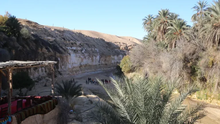 Le Sud tunisien, avec ses paysages majestueux et ses traditions anciennes, est une destination de rêve pour les voyageurs en quête d'aventure et de découverte. En 2024, laissez-vous envoûter par les merveilles du désert et des oasis. Voici un guide complet pour un circuit de trois jours dans cette région fascinante. Découverte du Sud Tunisien : Un Voyage au Coeur du Désert Le Sud tunisien est une terre de contrastes où le sable doré du Sahara rencontre les montagnes et les oasis verdoyantes. Cette région offre une multitude d'expériences authentiques, allant de la découverte des traditions berbères aux paysages naturels spectaculaires. Jour 1 : Douz - La Porte du Désert Douz, souvent surnommée la "porte du désert", est le point de départ idéal pour votre aventure. Dès votre arrivée, vous serez accueilli par les vastes dunes de sable et l'atmosphère paisible du désert. Excursion en chameau : Rien de tel qu'une balade à dos de chameau pour s'immerger dans l'ambiance du Sahara. Les guides locaux vous feront découvrir les secrets du désert tout en vous menant à travers les dunes. Festival International du Sahara : Si vous avez la chance de visiter Douz en décembre, ne manquez pas ce festival emblématique. Vous assisterez à des spectacles de danse traditionnelle, des courses de chameaux et bien plus encore. Jour 2 : De Douz à Ksar Ghilane Le deuxième jour, dirigez-vous vers Ksar Ghilane, une oasis en plein désert. Bain dans la source chaude : Après une matinée de route, détendez-vous dans la source chaude naturelle de Ksar Ghilane. Cette oasis est un véritable havre de paix où vous pourrez vous ressourcer. Nuit en campement bédouin : Pour une expérience encore plus authentique, passez la nuit dans un campement bédouin. Profitez d'un dîner traditionnel sous les étoiles et laissez-vous bercer par le silence du désert. Jour 3 : De Ksar Ghilane à Matmata et Tozeur Pour le troisième jour, préparez-vous à découvrir des lieux chargés d'histoire et de culture. Matmata et ses maisons troglodytiques : Matmata est célèbre pour ses habitations souterraines, creusées dans la roche. Ces maisons offrent une fraîcheur bienvenue et un aperçu unique de l'architecture berbère. Tozeur et ses oasis : Terminez votre circuit à Tozeur, une ville oasis réputée pour ses palmeraies et son architecture unique en briques d'argile. Ne manquez pas le musée Dar Chrait pour en apprendre davantage sur l'histoire et la culture de la région. La Carte du Sud Tunisien : Points d'Intérêt Incontournables Une carte du Sud tunisien est indispensable pour bien planifier votre voyage. Voici quelques points d'intérêt à ne pas manquer : Chott el-Jerid : Un immense lac salé qui offre des paysages lunaires. Au lever et au coucher du soleil, les reflets sur le sel créent des effets de lumière spectaculaires. Ong Jemel : Un site emblématique de tournage de Star Wars. Cette formation rocheuse impressionnante attire les fans du monde entier. Douiret et Chenini : Deux villages berbères perchés sur les collines, offrant des vues panoramiques et une immersion totale dans l'histoire locale. Description d'une Oasis dans le Sud Tunisien : Tozeur Tozeur est l'une des oasis les plus célèbres du Sud tunisien. Cette ville est un véritable joyau caché au milieu du désert, offrant une combinaison unique de nature luxuriante et de patrimoine culturel. Une Nature Luxuriante Tozeur abrite une immense palmeraie, où des milliers de palmiers dattiers offrent de l'ombre et des fruits délicieux. Promenez-vous dans les allées ombragées et découvrez les canaux d'irrigation traditionnels qui alimentent cette oasis verdoyante. Un Patrimoine Culturel Riche La vieille ville de Tozeur, avec ses ruelles étroites et ses maisons en briques d'argile, est un véritable labyrinthe à explorer. L'architecture unique, avec ses motifs géométriques sculptés dans l'argile, reflète le savoir-faire ancestral des artisans locaux. Activités Incontournables Balade en calèche : Une manière charmante de découvrir la palmeraie et les environs de Tozeur. Visite des musées : Le musée Dar Chrait et le musée des Arts et Traditions Populaires offrent un aperçu fascinant de la culture et de l'histoire de la région. Conclusion : Un Voyage Inoubliable dans le Sud Tunisien Le Sud tunisien est une destination riche en découvertes et en émotions. Que vous soyez attiré par les paysages désertiques, les traditions locales ou l'histoire millénaire, cette région a de quoi vous enchanter. En 2024, préparez-vous à vivre une aventure exceptionnelle et à créer des souvenirs impérissables dans le Sud tunisien.