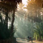 Le Sud tunisien est une terre fascinante où le désert du Sahara révèle toute sa splendeur. Si vous êtes en quête d’aventure et de paysages époustouflants, ce coin du monde est fait pour vous. Préparez-vous à découvrir des oasis verdoyantes, des dunes à perte de vue, et des villages authentiques où le temps semble s’être arrêté. Suivez-nous dans ce voyage captivant à travers le Sud tunisien, un circuit incontournable pour les amoureux de la nature et de l’authenticité. Le Charme des Oasis : Tozeur et Nefta Commencez votre exploration par les célèbres oasis de Tozeur et Nefta. Nichées au cœur du désert, ces villes offrent un contraste saisissant entre le vert éclatant des palmeraies et le jaune doré des dunes environnantes. Tozeur est connue pour son architecture unique, faite de briques en terre cuite, et pour ses jardins luxuriants où l’eau coule en abondance. Nefta, quant à elle, est un lieu de spiritualité avec ses nombreux marabouts et sa célèbre Corbeille, un vaste cratère naturel entouré de palmiers. Tozeur, la Porte du Désert Tozeur est souvent appelée la "Porte du Désert" et pour cause : c’est ici que commence l’immensité saharienne. Une promenade dans la médina vous plongera dans l’atmosphère mystique de la ville, où chaque ruelle raconte une histoire. Les amateurs de culture ne manqueront pas de visiter le musée Dar Cheraït, qui offre une plongée fascinante dans l’histoire et les traditions du Sud tunisien. L’Expérience Unique du Sahara : Douz, la Capitale du Désert Après avoir découvert les oasis, direction Douz, surnommée la "Capitale du Désert". Douz est le point de départ idéal pour une véritable immersion dans le Sahara. Vous pourrez y vivre l’expérience inoubliable d’une balade à dos de chameau à travers les dunes, une activité emblématique du Sud tunisien. Le Festival International du Sahara, qui se tient chaque année à Douz, est une occasion unique de découvrir les traditions nomades et les spectacles impressionnants de cavaliers berbères. Les Dunes de l’Erg Oriental L’Erg Oriental, avec ses dunes de sable fin qui s’étendent à l’infini, est un des joyaux du Sahara tunisien. Les plus aventureux pourront s’essayer au sandboarding ou simplement se laisser envoûter par la sérénité du désert lors d’un bivouac sous les étoiles. Passer une nuit dans le désert est une expérience hors du commun, où le silence et la beauté des lieux vous marqueront à jamais. Matmata et Les Villages Troglodytes : Un Retour aux Sources Le voyage se poursuit vers Matmata, célèbre pour ses habitations troglodytes creusées dans la roche. Ces maisons souterraines, qui protègent leurs habitants de la chaleur écrasante du désert, sont un témoignage vivant de l’ingéniosité des peuples berbères. Matmata est aussi connue pour avoir servi de décor à plusieurs films, dont la célèbre saga Star Wars. Une visite de ces habitations vous transportera dans un autre temps, où la vie s’organise autour de cours circulaires creusées dans la terre. Les Traditions Berbères à Matmata Les habitants de Matmata sont fiers de leur patrimoine et vous accueilleront chaleureusement pour vous faire découvrir leur mode de vie ancestral. Ne manquez pas de goûter à la cuisine berbère, simple mais savoureuse, à base de produits locaux comme le pain traditionnel cuit dans le sable et les olives fraîches. Une immersion culturelle qui vous permettra de mieux comprendre la richesse et la diversité du Sud tunisien. Explorez le Sud Tunisien avec www.sudtunisie.com Prêts pour l’aventure ? Réservez votre circuit dans le Sud tunisien avec www.sudtunisie.com et laissez-vous guider à travers ces paysages exceptionnels. Que vous soyez à la recherche d’un circuit privé en voiture ou d’une excursion plus sportive, nos experts locaux sauront vous proposer l’itinéraire parfait pour faire de votre voyage une expérience inoubliable.