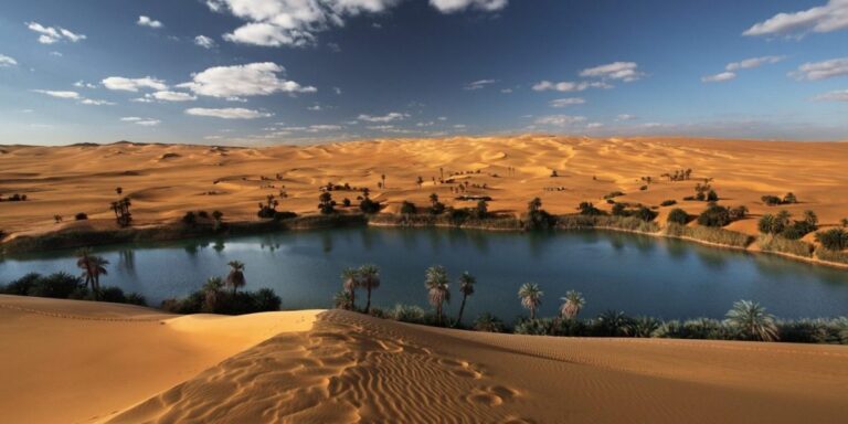 Plonger dans le désert du Sahara est une expérience inoubliable. Le Sahara Tunisien, avec ses paysages époustouflants et sa richesse culturelle, attire les aventuriers en quête de découvertes authentiques. Mais ce rêve ne doit pas nécessairement coûter une fortune. Aujourd'hui, nous vous proposons un circuit pas cher pour explorer cette région fascinante. Préparez-vous à un voyage où chaque moment est imprégné de magie et d'histoire. Pourquoi Choisir un Circuit Pas Cher au Sahara Tunisien ? Il est tentant de penser qu'un circuit pas cher signifie une expérience de moindre qualité. Détrompez-vous ! En optant pour un circuit économique, vous profitez d'une expérience riche tout en préservant votre budget. De plus, un voyage dans le Sahara Tunisien ne nécessite pas de grands luxes pour être mémorable. Ce qui rend ce voyage exceptionnel, c'est la simplicité de la vie dans le désert, le contact avec la nature, et la rencontre avec les habitants locaux. Les circuits bon marché sont conçus pour vous offrir l'essentiel, sans superflu, tout en garantissant sécurité et confort. Vous pourrez ainsi profiter pleinement de chaque étape, de chaque paysage, sans vous soucier des détails logistiques ou des dépenses excessives. Les Incontournables de Votre Circuit 1. L'oasis de Tozeur : Porte d'Entrée du Désert Votre aventure commence souvent à Tozeur, une oasis luxuriante située aux portes du désert. Connue pour ses palmeraies à perte de vue et ses dattes délicieuses, Tozeur est également le point de départ idéal pour explorer les merveilles du Sahara. Ne manquez pas de vous promener dans la vieille ville, avec ses maisons en briques ocre et ses ruelles étroites, qui témoignent d'un riche passé historique. 2. Douz : La Capitale du Désert Douz, souvent surnommée la "porte du Sahara", est l'une des étapes phares de tout circuit dans le désert tunisien. Ici, vous ressentirez la véritable ambiance saharienne. Profitez d'une balade à dos de dromadaire pour vous immerger dans ce paysage infini de dunes dorées. Chaque pas dans le sable est une invitation à la contemplation, à l'évasion. Et si vous avez l'occasion, passez la nuit sous une tente berbère pour une expérience authentique et inoubliable. 3. Matmata : Voyage au Cœur des Maisons Troglodytes Matmata est célèbre pour ses habitations troglodytes, creusées directement dans la roche. Ces maisons, uniques en leur genre, offrent une protection naturelle contre les températures extrêmes du désert. En visitant Matmata, vous ferez un bond dans le temps, découvrant un mode de vie ancestral toujours préservé par les habitants. Cette étape est une véritable plongée dans la culture berbère, où traditions et modernité se côtoient harmonieusement. 4. Le Chott el-Jérid : Un Désert de Sel Éblouissant Le Chott el-Jérid est une immense plaine saline qui s'étend à perte de vue. Ce désert de sel, avec ses mirages et ses reflets éblouissants, est un spectacle à ne pas manquer. C'est un lieu où la nature exprime toute sa puissance et sa beauté, offrant un contraste saisissant avec les dunes du Sahara. N'oubliez pas de prendre quelques photos pour immortaliser ce moment unique de votre voyage. Conseils pour Profiter Pleinement de Votre Circuit Pas Cher Pour tirer le meilleur parti de votre circuit pas cher dans le Sahara Tunisien, il est important de bien se préparer. Voici quelques conseils pratiques : Voyagez léger : Le confort dans le désert dépend souvent de votre capacité à vous adapter. Privilégiez des vêtements légers, amples, et protecteurs contre le soleil. Hydratez-vous régulièrement : Le climat désertique peut être éprouvant. Emportez toujours une bouteille d'eau avec vous et buvez régulièrement pour éviter la déshydratation. Respectez les coutumes locales : Le Sahara est habité par des populations qui ont leurs propres traditions et modes de vie. Montrez du respect envers les habitants et leur culture pour une expérience enrichissante et respectueuse. Optez pour des circuits organisés : Même si vous cherchez un circuit pas cher, il est préférable de choisir une formule organisée pour garantir votre sécurité et maximiser votre découverte de la région. Conclusion : Une Expérience Inoubliable à Portée de Main Un circuit pas cher dans le Sahara Tunisien n'est pas seulement une option économique, c'est aussi une opportunité de vivre une aventure authentique et mémorable. Chaque étape de ce voyage vous rapprochera un peu plus de l'essence du désert, où le temps semble suspendu, où la nature règne en maître. Que vous soyez à la recherche de dépaysement, de tranquillité ou d'une immersion culturelle, le Sahara Tunisien a tout pour vous séduire, sans pour autant vider votre porte-monnaie. Alors, prêt à embarquer pour cette aventure inédite ?