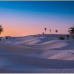 Le Sud tunisien est une région où la magie du désert rencontre l'hospitalité chaleureuse des habitants. Que vous soyez un aventurier en quête de nouvelles expériences ou simplement un amateur de paysages époustouflants, cette partie de la Tunisie vous promet un voyage inoubliable. Pourquoi ne pas explorer cette région fascinante avec nous et découvrir tout ce qu'elle a à offrir ? C'est l'occasion de vous plonger dans une aventure où chaque moment est empreint de découvertes et de plaisir. Un Voyage au Cœur du Désert : Les Joyaux Cachés du Sud Tunisien Le Sud tunisien est une terre de contrastes, où les dunes dorées du Sahara rencontrent des oasis verdoyantes. Parmi les destinations incontournables, Tozeur se distingue par ses palmeraies luxuriantes et ses architectures traditionnelles en briques de terre crue. Cette ville, véritable porte d’entrée du désert, vous offrira un premier aperçu de la beauté naturelle et culturelle du Sud tunisien. Douz, souvent surnommée la "porte du Sahara", est un autre trésor de cette région. Cette ville est le point de départ idéal pour une excursion dans le désert. Montez à dos de dromadaire et laissez-vous emporter par la tranquillité du désert, où le sable semble s'étendre à l'infini. Vous pourrez aussi y découvrir le marché hebdomadaire de Douz, où se rencontrent les habitants et les voyageurs dans une ambiance authentique. Des Expériences Uniques : Vivez le Sud Tunisien comme un Local L’une des meilleures façons de découvrir le Sud tunisien est de plonger dans la vie locale. Les excursions organisées vous permettront de visiter des villages berbères comme Matmata, célèbre pour ses habitations troglodytes, creusées dans la roche. Ces maisons souterraines offrent un refuge naturel contre la chaleur intense du désert et constituent une attraction fascinante pour les visiteurs. Vous aurez également la chance de déguster la cuisine traditionnelle du Sud tunisien, réputée pour ses saveurs épicées et ses plats généreux. Ne manquez pas de goûter au couscous à l'agneau, un plat emblématique, ou aux dattes fraîchement cueillies dans les oasis. Ces expériences culinaires, combinées à la chaleur des rencontres avec les habitants, rendront votre séjour inoubliable. Réservez Votre Circuit dans le Sud Tunisien : Une Aventure Personnalisée Voyager dans le Sud tunisien est une expérience qui mérite d’être planifiée avec soin. Avec sudtunisie.com, nous vous proposons des circuits personnalisés qui répondent à vos envies et à vos besoins. Que vous souhaitiez explorer le désert en 4x4, dormir sous les étoiles dans un campement bédouin, ou encore découvrir les sites historiques cachés, nous avons ce qu'il vous faut. Réserver avec nous, c'est aussi s'assurer d'un voyage en toute tranquillité, avec des guides expérimentés qui connaissent la région comme leur poche. Ils vous feront découvrir des endroits hors des sentiers battus, vous permettant de vivre une expérience authentique et unique. Pour réserver votre circuit, cliquez simplement ici et préparez-vous à vivre une aventure mémorable. Pourquoi Choisir le Sud Tunisien pour Votre Prochaine Aventure ? Le Sud tunisien est bien plus qu'une simple destination de vacances. C'est une région où le passé et le présent se rencontrent, où les traditions ancestrales coexistent avec la modernité. C'est aussi un lieu où vous pourrez vous ressourcer, loin du stress quotidien, et renouer avec la nature dans toute sa splendeur. Les circuits dans le Sud tunisien vous offrent une palette d'expériences : de la contemplation des étoiles dans un ciel pur et dégagé, à la découverte des villages isolés où le temps semble s'être arrêté. Chaque moment passé dans cette région est une invitation à la découverte et à l'émerveillement. Si vous êtes à la recherche d'une aventure authentique, loin des clichés touristiques, le Sud tunisien est fait pour vous. Prenez le temps de découvrir cette région incroyable avec sudtunisie.com, et laissez-vous emporter par la beauté et la diversité de ce coin de paradis.