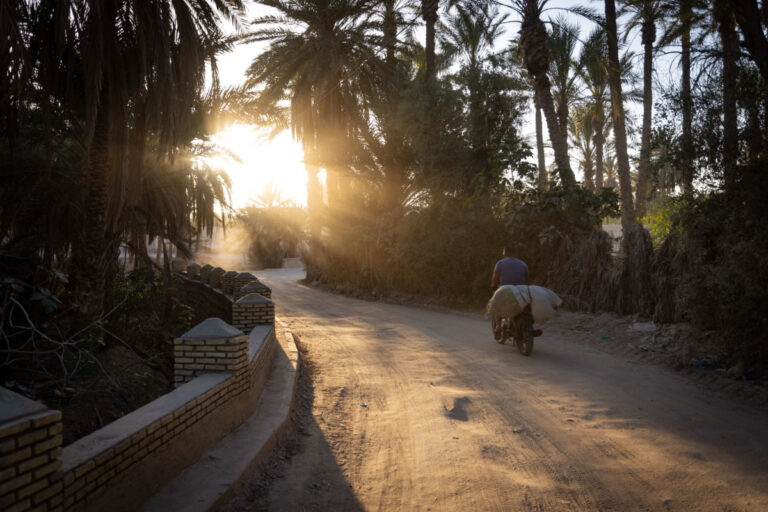 Vous rêvez d'une aventure dans le désert du Sahara tunisien, mais vous souhaitez le faire dans le plus grand confort et avec une touche de luxe ? Opter pour une excursion et un circuit privé en voiture avec guide chauffeur est sans doute la meilleure manière de vivre cette expérience unique. Ce type de circuit vous permet de découvrir les merveilles du désert tout en bénéficiant d'un service personnalisé et d'un confort inégalé. Dans cet article, nous vous expliquerons pourquoi ce choix est idéal pour une aventure inoubliable dans le Sahara. Les avantages d'un circuit privé en voiture avec guide chauffeur Choisir un circuit privé en voiture avec guide chauffeur dans le désert tunisien présente de nombreux avantages. Tout d'abord, la flexibilité est l'un des principaux atouts de cette formule. Contrairement aux circuits en groupe, vous pouvez personnaliser votre itinéraire en fonction de vos intérêts. Que vous souhaitiez explorer des oasis cachées, admirer des formations rocheuses uniques ou visiter des villages traditionnels, votre guide chauffeur s'adapte à vos envies. Un autre avantage significatif est le confort. Voyager en voiture privée vous assure un niveau de confort supérieur. Vous avez la garantie de voyager dans un véhicule haut de gamme, conçu pour affronter les conditions du désert tout en offrant une expérience agréable. Les véhicules sont souvent équipés de climatisation et de sièges confortables, ce qui rend le voyage beaucoup plus agréable, même pendant les longues distances. Découvrez le désert comme jamais auparavant Le désert du Sahara est l'un des environnements les plus fascinants au monde. Avec un circuit privé, vous avez l'occasion de découvrir ce paysage spectaculaire de manière approfondie. Votre guide chauffeur, expert local, vous fera découvrir les sites incontournables ainsi que des lieux moins connus qui ne sont pas inclus dans les circuits classiques. Commencez votre aventure par la visite de Douz, la porte du désert, où vous pouvez découvrir la culture locale et la beauté des dunes. Ensuite, dirigez-vous vers Ksar Ghilane, une oasis magnifique au cœur du désert, parfaite pour se détendre dans une piscine naturelle après une journée de découverte. Vous pourriez également explorer les formations géologiques impressionnantes du Chott el-Jérid ou visiter les habitations troglodytes de Matmata. Les services exclusifs de votre guide chauffeur L'un des plus grands avantages d'un circuit privé avec guide chauffeur est le service personnalisé. Votre guide n'est pas seulement un conducteur, mais également un expert du désert. Il est là pour enrichir votre expérience en partageant des informations intéressantes sur la faune, la flore et les traditions locales. Le service ne s'arrête pas là. Votre guide peut organiser des activités supplémentaires en fonction de vos intérêts. Que vous souhaitiez faire une balade à dos de dromadaire, assister à un coucher de soleil spectaculaire ou profiter d'un dîner traditionnel sous les étoiles, il saura répondre à vos besoins. Vous aurez également la possibilité de découvrir des expériences authentiques, telles que des rencontres avec les habitants et des démonstrations de l'artisanat local. Réservez dès maintenant votre circuit privé dans le Sahara tunisien Prêt à vivre une aventure inoubliable dans le désert du Sahara tunisien ? Réservez dès aujourd'hui votre excursion et circuit privé en voiture avec guide chauffeur pour garantir une expérience de luxe et personnalisée. Pour obtenir un devis gratuit et personnaliser votre voyage, rendez-vous sur www.sudtunisie.com. Vous y trouverez toutes les informations nécessaires pour planifier votre séjour dans le désert tunisien. N'attendez plus pour découvrir les merveilles du Sahara dans le confort et le luxe que vous méritez. Pour voir les différents circuits proposés et choisir celui qui vous convient le mieux, visitez notre page de circuits dans le désert. Chaque circuit est conçu pour offrir une expérience mémorable, avec un service de premier choix et un confort exceptionnel. Le désert du Sahara vous attend avec ses paysages grandioses et son atmosphère envoûtante. Avec un circuit privé en voiture avec guide chauffeur, chaque moment devient une aventure unique. Offrez-vous le meilleur du désert tunisien et créez des souvenirs qui resteront gravés à jamais.