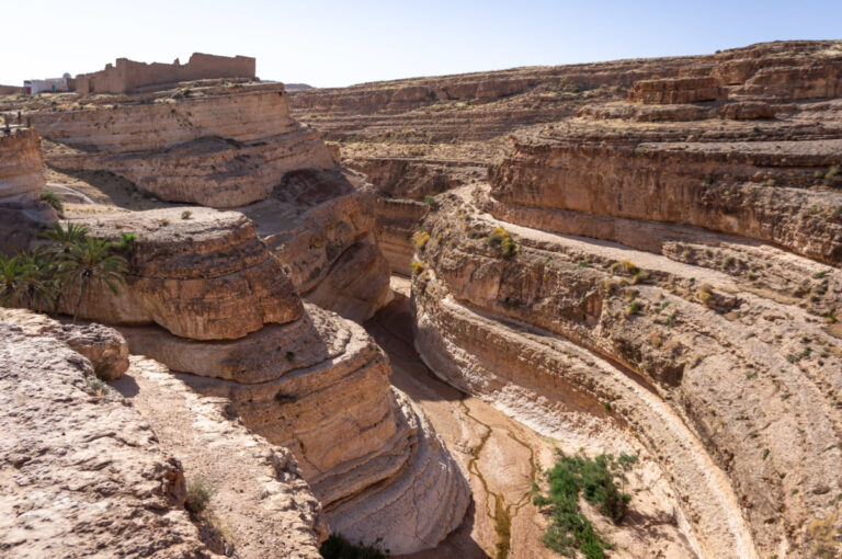 Explorer le désert du Sahara tunisien est une aventure à couper le souffle, mais choisir un circuit privé en voiture avec guide chauffeur élève cette expérience à un niveau supérieur de confort et de personnalisation. Imaginez-vous traversant les dunes dorées du Sahara à bord d'une voiture de luxe, avec un guide expert qui vous dévoile les secrets les mieux gardés du désert. Ce type de circuit offre une immersion totale dans l'immensité du Sahara, tout en garantissant un voyage agréable et sans tracas. Les avantages d’un circuit privé avec voiture et guide dans le Sahara Opter pour un circuit privé avec voiture et guide dans le Sahara tunisien, c’est choisir l’exclusivité et le confort. Dès le début de votre aventure, vous bénéficiez d'un service totalement personnalisé. Vous ne partagez pas votre véhicule avec d'autres touristes, vous êtes libre de définir votre itinéraire avec votre guide, et vous avez toute l’attention nécessaire pour vous garantir une expérience exceptionnelle. Voyager en voiture privée offre une flexibilité inégalée. Contrairement aux circuits en groupe, vous pouvez adapter votre voyage selon vos envies et vos besoins. Que vous souhaitiez passer plus de temps à explorer une oasis particulière ou vous arrêter pour admirer le coucher de soleil sur les dunes, votre guide et chauffeur sont là pour répondre à vos souhaits. De plus, la voiture est équipée pour garantir votre confort, avec des sièges spacieux, la climatisation et tout le nécessaire pour un voyage agréable. Découverte du Sahara avec un guide expert Un guide chauffeur dans le désert du Sahara est bien plus qu’un simple conducteur. C’est un expert local qui connaît chaque recoin du désert et peut vous offrir une perspective unique sur cette région fascinante. Grâce à ses connaissances approfondies, il vous fera découvrir des lieux hors des sentiers battus et partagera avec vous des histoires fascinantes sur la culture et les traditions sahariennes. Votre guide peut également organiser des activités spécifiques en fonction de vos intérêts. Que vous souhaitiez faire une balade en dromadaire, visiter des ksour traditionnels ou explorer des villages berbères, il saura adapter le programme pour vous offrir une expérience sur mesure. En plus de vous guider, il veillera à ce que vous profitiez pleinement de chaque moment, en vous fournissant des informations et des anecdotes qui enrichiront votre voyage. Les points forts d’un véhicule privé dans le désert Voyager en voiture privée dans le désert tunisien présente de nombreux avantages. Tout d’abord, la confort de votre véhicule est primordial. Les voitures utilisées pour ces circuits sont spécialement conçues pour les conditions désertiques, avec des suspensions robustes et des équipements de confort tels que la climatisation. Vous pouvez ainsi profiter de votre voyage sans être dérangé par la chaleur ou les secousses des terrains accidentés. De plus, le véhicule est équipé pour assurer votre sécurité tout au long du voyage. Vous avez l’assurance que vous voyagez dans un véhicule fiable, entretenu et adapté aux conditions du désert. La conduite est effectuée par des professionnels expérimentés qui connaissent parfaitement les routes et les pistes du Sahara, ce qui vous permet de vous concentrer sur la découverte et l’admiration des paysages. Réservez votre circuit privé dès maintenant Pour vivre une aventure de luxe dans le désert tunisien, réservez dès maintenant votre circuit privé en voiture avec guide chauffeur. Obtenez un devis gratuit et personnalisez votre voyage en visitant www.sudtunisie.com. Ce site propose des circuits adaptés à vos besoins, avec des options flexibles pour faire de votre séjour une expérience unique. Pour voir les différents circuits disponibles et choisir celui qui vous convient le mieux, consultez notre page de circuits dans le désert. Chaque circuit est conçu pour offrir une expérience exclusive et mémorable, avec tout le confort et le luxe que vous méritez. Le désert du Sahara tunisien vous attend avec ses paysages grandioses et son atmosphère envoûtante. Avec un circuit privé en voiture et guide chauffeur, vous bénéficiez d’une expérience de voyage inégalée, où chaque moment est dédié à votre confort et à votre satisfaction. Ne manquez pas cette opportunité de découvrir le Sahara sous son meilleur jour.