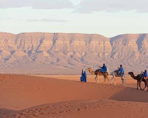 Le sud tunisien est une région fascinante qui attire les voyageurs en quête d’aventure, de dépaysement, et de découvertes authentiques. Pourquoi ne pas vous laisser tenter par un voyage au cœur du désert du Sahara ? Avec ses paysages spectaculaires et ses traditions ancestrales, le sud de la Tunisie offre une expérience unique, loin des sentiers battus. Dans cet article, nous allons explorer ensemble les merveilles que cette région a à offrir, et comment organiser votre aventure avec succès. Découvrez les Merveilles du Sahara Tunisien Le Sahara tunisien, c’est bien plus qu’un simple désert. C’est une terre de contrastes où les dunes dorées se mêlent aux oasis verdoyantes. La ville de Douz, souvent surnommée la "porte du Sahara", est un point de départ idéal pour explorer ces paysages envoûtants. De là, vous pouvez partir en excursion à dos de chameau ou en 4x4 pour une immersion totale dans cet univers de sable et de silence. Ne manquez pas les dunes de l’Erg Oriental, l’un des plus grands ergs du Sahara, où le coucher de soleil crée des ombres et des lumières à couper le souffle. Les Trésors Cachés de Matmata Matmata est un autre joyau du sud tunisien, célèbre pour ses habitations troglodytiques. Ces maisons souterraines, creusées dans la roche, offrent une fraîcheur bienvenue lors des chaleurs estivales. Ce village pittoresque est aussi connu pour avoir servi de décor au film "Star Wars", ce qui en fait une étape incontournable pour les cinéphiles. En visitant Matmata, vous aurez l’occasion de rencontrer les habitants et de découvrir leur mode de vie unique, en harmonie avec un environnement aride mais magnifique. Expériences Culturelles et Gastronomiques Voyager dans le sud tunisien, c’est aussi l’occasion de plonger dans une culture riche et diversifiée. Les souks colorés de Tataouine, par exemple, sont un véritable trésor pour ceux qui recherchent des produits artisanaux locaux. Vous y trouverez des tapis berbères, des bijoux en argent, et des objets en cuir, tous fabriqués à la main par des artisans passionnés. Côté gastronomie, le sud de la Tunisie ne manque pas de saveurs à découvrir. Goûtez aux plats traditionnels comme le couscous à l’agneau, le méchoui (agneau rôti), ou encore les dattes de l’oasis de Ksar Ghilane, réputées pour leur douceur exceptionnelle. N’oubliez pas de déguster un thé à la menthe, accompagné de pâtisseries locales, un vrai régal après une journée d’exploration. Comment Réserver Votre Circuit au Sud Tunisien Prêt à vivre cette aventure unique ? La meilleure façon de planifier votre voyage est de passer par un site spécialisé comme sudtunisie.com. Ce site propose une gamme de circuits sur mesure, adaptés à tous les types de voyageurs. Que vous soyez à la recherche d’un circuit privé en voiture VIP ou d’une excursion en groupe, vous trouverez l’offre qui correspond à vos envies. Réserver avec sudtunisie.com, c’est l’assurance d’un service de qualité, avec des guides locaux expérimentés qui vous feront découvrir les secrets du désert. Le site propose également des options d’hébergement variées, allant des campements dans le désert aux hôtels de charme situés dans des villages traditionnels.