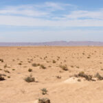 Le désert du Sahara, ce vaste océan de sable doré, est une invitation à l’aventure pour les amateurs de grands espaces et de découvertes authentiques. Explorer le désert tunisien est bien plus qu’un simple voyage, c’est une expérience inoubliable qui vous plonge au cœur d’un paysage aussi majestueux que mystique. En parcourant les dunes infinies et les oasis cachées, vous découvrez un autre visage de la Tunisie, loin des plages animées et des villes historiques. Alors, pourquoi ne pas vous laisser tenter par un circuit dans le Sahara tunisien ? Pourquoi choisir une excursion dans le désert tunisien ? Partir à la découverte du Sahara tunisien, c’est avant tout l’occasion de vivre une expérience hors du commun. Les circuits dans le désert vous permettent de vous immerger dans un environnement unique, où le silence règne en maître, seulement troublé par le vent caressant les dunes. La beauté brute du désert, avec ses vastes étendues de sable et ses cieux étoilés, crée un cadre parfait pour se déconnecter du quotidien et se reconnecter avec la nature. Loin des sentiers battus, une excursion dans le Sahara offre également une plongée dans la culture berbère. Les rencontres avec les habitants des villages nomades et les visites des ksour, ces anciens greniers fortifiés, vous offrent un aperçu authentique de la vie dans le désert. De plus, vous aurez l’opportunité de déguster la cuisine locale, riche en saveurs, et de passer des nuits sous des tentes traditionnelles, un luxe simple mais inestimable. Les incontournables d’un circuit dans le Sahara tunisien Un circuit dans le Sahara tunisien ne saurait être complet sans la visite de certains lieux emblématiques. Douz, surnommée la "porte du désert", est souvent le point de départ des excursions. Cette petite ville animée, où se tient chaque année le festival du Sahara, est l’endroit idéal pour se préparer à l’immensité qui vous attend. De là, vous pouvez vous aventurer vers le Chott el-Jérid, un immense lac salé qui, sous l’effet du soleil, donne l’impression de se transformer en un miroir sans fin. Ensuite, direction Ksar Ghilane, une oasis pittoresque nichée au cœur des dunes. C’est un véritable havre de paix où vous pourrez vous détendre dans les eaux thermales après une journée passée à explorer le désert. Ne manquez pas non plus Matmata, célèbre pour ses habitations troglodytes, où certains habitants vivent encore dans ces maisons creusées dans la roche, offrant une fraîcheur naturelle en plein désert. Pour les plus aventureux, une randonnée à dos de dromadaire ou en 4x4 à travers les dunes de sable est une expérience inoubliable. Vous pourrez vous rendre jusqu’à Tataouine, une ville connue pour ses paysages lunaires et ses anciennes habitations berbères qui ont servi de décor à des films célèbres. Préparer son excursion dans le désert tunisien Avant de partir à l’aventure, il est important de bien préparer son voyage. Le choix du circuit est primordial : optez pour une agence reconnue, comme www.sudtunisie.com, qui propose des circuits adaptés à vos envies et à votre niveau d’endurance. Que vous souhaitiez une excursion de quelques heures ou un circuit de plusieurs jours, il y a des options pour tous les goûts. Pensez également à votre équipement. Le désert peut être impitoyable si vous n’êtes pas bien préparé. Prévoyez des vêtements légers mais couvrants pour vous protéger du soleil, des lunettes de soleil, un chapeau, et surtout de l’eau en quantité suffisante. La nuit, les températures peuvent chuter rapidement, alors n’oubliez pas d’emporter un pull ou une veste. Enfin, pour profiter pleinement de votre expérience, il est conseillé de partir avec un guide local. Non seulement il connaît parfaitement le terrain, mais il pourra également partager avec vous des anecdotes et des informations sur la culture et l’histoire de la région. Vivre une expérience inoubliable dans le Sahara tunisien Le Sahara tunisien est bien plus qu’un simple désert, c’est une terre d’aventure, de mystère et de beauté. Un circuit dans le désert vous permet de vous éloigner de l’agitation du monde moderne et de vous immerger dans un univers où le temps semble s’être arrêté. Chaque lever de soleil sur les dunes, chaque rencontre avec les habitants du désert, chaque nuit passée sous un ciel étoilé restera gravé dans votre mémoire. Que vous soyez un passionné de nature, un aventurier dans l’âme, ou simplement à la recherche d’un dépaysement total, le désert tunisien a quelque chose à offrir à chacun. Alors, n’attendez plus, préparez votre sac à dos, et partez à la découverte de cet incroyable coin de paradis qu’est le Sahara tunisien.