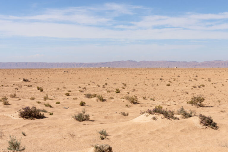 Le désert du Sahara, ce vaste océan de sable doré, est une invitation à l’aventure pour les amateurs de grands espaces et de découvertes authentiques. Explorer le désert tunisien est bien plus qu’un simple voyage, c’est une expérience inoubliable qui vous plonge au cœur d’un paysage aussi majestueux que mystique. En parcourant les dunes infinies et les oasis cachées, vous découvrez un autre visage de la Tunisie, loin des plages animées et des villes historiques. Alors, pourquoi ne pas vous laisser tenter par un circuit dans le Sahara tunisien ? Pourquoi choisir une excursion dans le désert tunisien ? Partir à la découverte du Sahara tunisien, c’est avant tout l’occasion de vivre une expérience hors du commun. Les circuits dans le désert vous permettent de vous immerger dans un environnement unique, où le silence règne en maître, seulement troublé par le vent caressant les dunes. La beauté brute du désert, avec ses vastes étendues de sable et ses cieux étoilés, crée un cadre parfait pour se déconnecter du quotidien et se reconnecter avec la nature. Loin des sentiers battus, une excursion dans le Sahara offre également une plongée dans la culture berbère. Les rencontres avec les habitants des villages nomades et les visites des ksour, ces anciens greniers fortifiés, vous offrent un aperçu authentique de la vie dans le désert. De plus, vous aurez l’opportunité de déguster la cuisine locale, riche en saveurs, et de passer des nuits sous des tentes traditionnelles, un luxe simple mais inestimable. Les incontournables d’un circuit dans le Sahara tunisien Un circuit dans le Sahara tunisien ne saurait être complet sans la visite de certains lieux emblématiques. Douz, surnommée la "porte du désert", est souvent le point de départ des excursions. Cette petite ville animée, où se tient chaque année le festival du Sahara, est l’endroit idéal pour se préparer à l’immensité qui vous attend. De là, vous pouvez vous aventurer vers le Chott el-Jérid, un immense lac salé qui, sous l’effet du soleil, donne l’impression de se transformer en un miroir sans fin. Ensuite, direction Ksar Ghilane, une oasis pittoresque nichée au cœur des dunes. C’est un véritable havre de paix où vous pourrez vous détendre dans les eaux thermales après une journée passée à explorer le désert. Ne manquez pas non plus Matmata, célèbre pour ses habitations troglodytes, où certains habitants vivent encore dans ces maisons creusées dans la roche, offrant une fraîcheur naturelle en plein désert. Pour les plus aventureux, une randonnée à dos de dromadaire ou en 4x4 à travers les dunes de sable est une expérience inoubliable. Vous pourrez vous rendre jusqu’à Tataouine, une ville connue pour ses paysages lunaires et ses anciennes habitations berbères qui ont servi de décor à des films célèbres. Préparer son excursion dans le désert tunisien Avant de partir à l’aventure, il est important de bien préparer son voyage. Le choix du circuit est primordial : optez pour une agence reconnue, comme www.sudtunisie.com, qui propose des circuits adaptés à vos envies et à votre niveau d’endurance. Que vous souhaitiez une excursion de quelques heures ou un circuit de plusieurs jours, il y a des options pour tous les goûts. Pensez également à votre équipement. Le désert peut être impitoyable si vous n’êtes pas bien préparé. Prévoyez des vêtements légers mais couvrants pour vous protéger du soleil, des lunettes de soleil, un chapeau, et surtout de l’eau en quantité suffisante. La nuit, les températures peuvent chuter rapidement, alors n’oubliez pas d’emporter un pull ou une veste. Enfin, pour profiter pleinement de votre expérience, il est conseillé de partir avec un guide local. Non seulement il connaît parfaitement le terrain, mais il pourra également partager avec vous des anecdotes et des informations sur la culture et l’histoire de la région. Vivre une expérience inoubliable dans le Sahara tunisien Le Sahara tunisien est bien plus qu’un simple désert, c’est une terre d’aventure, de mystère et de beauté. Un circuit dans le désert vous permet de vous éloigner de l’agitation du monde moderne et de vous immerger dans un univers où le temps semble s’être arrêté. Chaque lever de soleil sur les dunes, chaque rencontre avec les habitants du désert, chaque nuit passée sous un ciel étoilé restera gravé dans votre mémoire. Que vous soyez un passionné de nature, un aventurier dans l’âme, ou simplement à la recherche d’un dépaysement total, le désert tunisien a quelque chose à offrir à chacun. Alors, n’attendez plus, préparez votre sac à dos, et partez à la découverte de cet incroyable coin de paradis qu’est le Sahara tunisien.