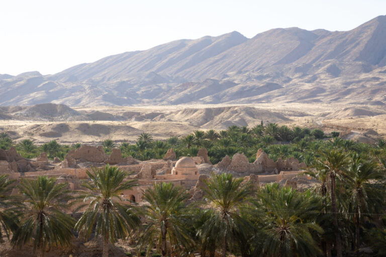 Découvrir le désert du Sahara tunisien est une aventure qui promet des moments inoubliables, et choisir un circuit privé en taxi Uber avec guide chauffeur ajoute une touche de luxe et de personnalisation à votre voyage. Imaginez-vous explorant les dunes majestueuses du Sahara dans un confort absolu, avec un guide expert qui vous révèle les trésors cachés de cette région fascinante. Voici pourquoi cette expérience est la meilleure façon de découvrir le Sahara tunisien. Les avantages d’un circuit privé avec taxi Uber dans le Sahara Choisir un circuit privé avec un taxi Uber dans le désert offre une série d’avantages significatifs. Tout d’abord, vous bénéficiez d'une flexibilité totale pour personnaliser votre voyage selon vos envies. Contrairement aux circuits en groupe, vous décidez de votre itinéraire et du rythme de votre exploration. Vous pouvez passer plus de temps à admirer les paysages, faire des arrêts pour des photos ou encore découvrir des lieux moins fréquentés, tout en profitant d'un confort optimal. Voyager en taxi Uber privé dans le désert vous assure également une expérience sans stress. Vous n'avez pas à vous soucier de la navigation dans les pistes désertiques, de la conduite sur des terrains difficiles ou de la gestion des imprévus. Votre chauffeur professionnel et expérimenté prend en charge tous ces aspects, vous permettant ainsi de vous concentrer pleinement sur la beauté du paysage et sur les découvertes qui vous attendent. Confort et luxe : le taxi Uber comme allié dans le désert Opter pour un taxi Uber dans le désert tunisien est synonyme de confort et de luxe. Les véhicules utilisés pour ces circuits sont soigneusement sélectionnés pour garantir une conduite agréable même dans les conditions les plus extrêmes. Equipés de sièges confortables et de systèmes de climatisation efficaces, ces taxis assurent une expérience agréable, que ce soit lors des trajets longs ou lors des déplacements plus courts entre les différentes attractions du désert. De plus, la qualité du service est impeccable. Votre chauffeur est formé pour offrir une expérience de voyage haut de gamme, avec une attention particulière portée à chaque détail. Que vous ayez besoin d'une pause pour vous rafraîchir ou que vous souhaitiez des conseils sur les meilleurs endroits à visiter, votre chauffeur est là pour vous assister et rendre votre voyage aussi agréable que possible. Découvrez le Sahara avec un guide expert Un guide chauffeur joue un rôle crucial lors de votre aventure dans le Sahara. En plus de conduire, il vous offre une perspective locale et une connaissance approfondie du désert. Grâce à ses compétences, vous découvrirez des endroits inaccessibles aux circuits traditionnels et apprendrez tout sur la culture, l'histoire et les traditions locales. Votre guide peut adapter l’itinéraire en fonction de vos intérêts spécifiques. Que vous soyez passionné par les oasis, curieux de découvrir les ksour (villages fortifiés) ou intéressé par les coutumes berbères, il saura personnaliser votre voyage pour répondre à vos attentes. Il vous fera vivre une immersion totale dans le désert, avec des explications enrichissantes et des anecdotes fascinantes sur la région. Réservez votre circuit privé dès aujourd'hui Pour une expérience de luxe dans le désert tunisien, réservez dès maintenant votre circuit privé en taxi Uber avec guide chauffeur. Obtenez un devis gratuit en visitant ce lien. Vous pouvez personnaliser votre voyage selon vos préférences et obtenir toutes les informations nécessaires pour planifier votre aventure. Pour explorer les différentes options de circuits disponibles, rendez-vous sur notre page de circuits dans le désert. Vous y trouverez une gamme de circuits adaptés à vos besoins, chacun offrant une expérience unique et mémorable dans le Sahara tunisien. Laissez-vous emporter par la magie du désert du Sahara tunisien avec un circuit privé en taxi Uber. Profitez d’un confort optimal, d’un service personnalisé et de découvertes fascinantes grâce à un guide expert. C’est une aventure que vous n’oublierez jamais, offrant un équilibre parfait entre luxe, confort et exploration.