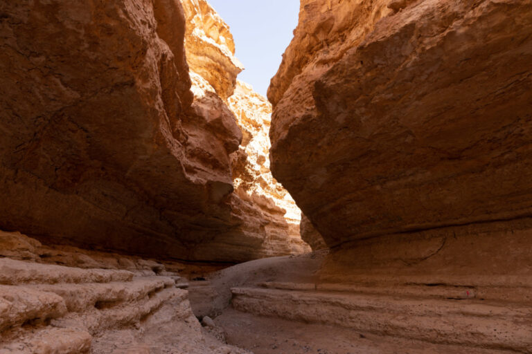 Plonger dans l'immensité du désert du Sahara tunisien avec un circuit privé en taxi Uber accompagné d'un guide chauffeur est une expérience inoubliable. Cette option de voyage allie le confort moderne à une exploration personnalisée du Sahara, vous permettant de découvrir cette région fascinante avec une flexibilité et un luxe inégalés. Les avantages d’un circuit privé en taxi Uber avec guide chauffeur Choisir un circuit privé en taxi Uber pour explorer le désert tunisien, c’est opter pour le confort et l’exclusivité. Dès le début de votre aventure, vous profitez d'un service entièrement sur mesure. Contrairement aux excursions en groupe, vous avez la liberté de personnaliser chaque aspect de votre voyage. Votre chauffeur-guide, connaissant parfaitement le terrain, adapte le parcours selon vos préférences et vos besoins. Voyager en taxi Uber privé dans le désert vous garantit une expérience agréable et sans stress. La voiture est équipée de toutes les commodités nécessaires pour un voyage confortable : climatisation, sièges confortables et espace suffisant pour vous détendre. Vous n’aurez pas à vous soucier de la conduite ou des conditions routières difficiles, votre chauffeur s'en occupe pendant que vous vous laissez simplement emporter par la beauté du paysage. La richesse de l’expérience avec un guide chauffeur expert Avec un guide chauffeur expérimenté, chaque instant de votre voyage devient une aventure enrichissante. Ce professionnel n’est pas seulement là pour conduire, mais aussi pour vous faire découvrir les trésors cachés du Sahara. Grâce à ses connaissances approfondies de la région, il vous emmène hors des sentiers battus et vous raconte des anecdotes fascinantes sur la culture et les traditions locales. Votre guide est également là pour vous aider à organiser des activités spécifiques en fonction de vos intérêts. Que vous souhaitiez explorer des oasis, visiter des villages traditionnels ou faire une balade en dromadaire, il saura personnaliser le programme pour vous offrir une expérience unique. Son expertise garantit que vous tirez le meilleur parti de chaque moment passé dans le désert. Le confort d’un taxi Uber dans le désert Voyager en taxi Uber dans le désert présente des avantages uniques. Les véhicules sont conçus pour offrir un confort maximal, même dans les conditions exigeantes du Sahara. Les chauffeurs sont formés pour conduire dans des terrains variés et difficiles, assurant ainsi votre sécurité tout au long du voyage. La voiture est équipée de la climatisation, un atout indispensable pour supporter les températures élevées du désert. Vous pouvez également profiter de sièges spacieux et de nombreux équipements pour rendre votre voyage aussi agréable que possible. En optant pour cette solution, vous bénéficiez non seulement d’un confort optimal, mais aussi de la garantie d’une conduite professionnelle adaptée aux défis du désert. Réservez votre circuit privé dès aujourd’hui Pour une expérience de luxe dans le désert tunisien, réservez dès maintenant votre circuit privé en taxi Uber avec guide chauffeur. Obtenez un devis gratuit et personnalisez votre voyage en visitant notre page de devis. Vous y trouverez toutes les options pour créer un voyage qui répond parfaitement à vos attentes. Pour explorer les différents circuits disponibles, consultez notre sélection de circuits dans le désert. Chaque circuit est conçu pour offrir une aventure exclusive et mémorable, avec le confort et le luxe que vous méritez. Le désert du Sahara tunisien vous attend avec ses paysages grandioses et son atmosphère envoûtante. Avec un circuit privé en taxi Uber et guide chauffeur, vous avez l’assurance de vivre une expérience de voyage unique, alliant confort, personnalisation et découverte. Ne manquez pas cette occasion de découvrir le Sahara comme jamais auparavant.