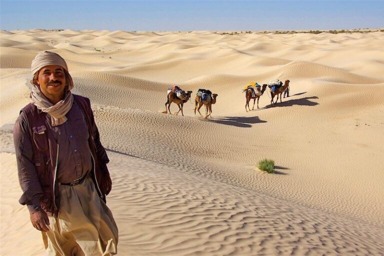 Allez au Sud Tunisien : Découvrez un Monde à Part Voyager dans le Sud Tunisien, c'est entrer dans une région aux paysages époustouflants, où le désert se mêle à des oasis verdoyantes et où chaque visite devient une aventure inoubliable. Que vous soyez en quête de tranquillité, d'aventure ou de découvertes culturelles, le Sud Tunisien a tout pour plaire. Sudtunisie.com vous propose une expérience unique pour découvrir cette région fascinante. Les Joyaux Cachés du Sud Tunisien Le Sud Tunisien est un trésor de diversité naturelle et culturelle. Vous y trouverez des villes comme Douz, surnommée la « porte du désert », où commence l'immensité du Sahara. À Tozeur, explorez les palmeraies luxuriantes et les vestiges historiques qui témoignent d'un riche passé. Les paysages de Matmata, avec ses habitations troglodytes, vous transporteront dans un autre temps. Le Lac Chott el-Jérid est un autre incontournable. Cet immense lac salé, parfois asséché, offre des panoramas spectaculaires, notamment au coucher du soleil lorsque le ciel et la terre semblent se confondre. Une visite dans le Sud Tunisien ne serait pas complète sans une excursion dans le désert. Les dunes de sable doré à perte de vue vous invitent à une expérience hors du commun. Les Circuits Incontournables pour Explorer le Sud Pour découvrir le Sud Tunisien, rien de tel qu'un circuit bien planifié. Sudtunisie.com propose des circuits adaptés à tous les goûts, que vous soyez un aventurier en quête de sensations fortes ou un amateur de culture. Par exemple, le Circuit Sud en voiture VIP est idéal pour ceux qui veulent explorer la région avec confort et exclusivité. Ce circuit vous emmènera à travers des paysages variés, des montagnes de l'Atlas aux dunes du Sahara, en passant par les oasis. Un autre circuit populaire est le circuit privé qui permet une découverte plus intime et personnalisée du Sud Tunisien. Avec un guide local, vous pourrez visiter des lieux méconnus, rencontrer des artisans locaux et déguster des spécialités culinaires authentiques. Une Expérience Unique au Cœur du Sahara Vivre une nuit sous les étoiles dans le Sahara est une expérience inoubliable. Sudtunisie.com propose des bivouacs luxueux au cœur du désert, où vous pourrez admirer le ciel étoilé tout en dégustant un dîner typiquement tunisien. Le matin, réveillez-vous avec un lever de soleil spectaculaire sur les dunes, une vision qui restera gravée dans votre mémoire. Les excursions en 4x4 ou à dos de chameau sont également des activités phares pour explorer le désert. Parcourez les étendues de sable, visitez des campements bédouins et apprenez-en davantage sur la vie dans cette région aride mais pleine de vie. Réservez Votre Circuit avec Sudtunisie.com Prêt à vivre une aventure inoubliable dans le Sud Tunisien ? Sudtunisie.com est là pour vous accompagner dans cette exploration. Que vous souhaitiez un circuit organisé ou une expérience sur mesure, leur équipe de professionnels saura répondre à vos attentes et vous offrir une immersion totale dans cette région magique. N'attendez plus pour réserver votre prochain voyage dans le Sud Tunisien. Visitez Sudtunisie.com pour découvrir toutes les options de circuits et réserver dès maintenant votre aventure