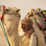 Le Sud Tunisien, c’est bien plus qu’une destination. C’est une expérience, une immersion dans un paysage grandiose où le désert du Sahara étend son immensité à perte de vue. Que vous soyez un aventurier dans l’âme ou un voyageur en quête de sérénité, cette région vous promet des moments magiques, des rencontres authentiques et des souvenirs gravés à jamais. Prêts à découvrir un monde à part ? Suivez-nous dans cette exploration fascinante. À la Rencontre des Dunes Dorées de Douz Douz, souvent surnommée "la porte du Sahara", est un incontournable pour tout voyageur au Sud Tunisien. Cette petite ville, nichée au bord du désert, est le point de départ idéal pour une aventure dans les dunes. Imaginez-vous chevauchant un dromadaire, bercé par le rythme lent de l’animal, entouré de sables dorés à perte de vue. Le désert, ici, n’est pas seulement un paysage, c’est une invitation au rêve et à la contemplation. Ne manquez pas le festival international de Douz, un événement unique qui célèbre la culture bédouine avec des spectacles équestres, des courses de dromadaires et des danses traditionnelles. C’est une plongée directe dans l’authenticité du Sud Tunisien, où les traditions millénaires se mêlent aux paysages sublimes. Matmata : Entre Ciel et Terre À quelques kilomètres de Douz, Matmata vous réserve une surprise de taille : ses habitations troglodytiques. Ces maisons creusées dans la roche offrent une fraîcheur bienvenue en plein désert. Matmata est célèbre pour avoir servi de décor à des scènes de films, notamment "Star Wars". Mais au-delà de cette renommée cinématographique, c’est l’architecture unique et l’ingéniosité des habitants qui marquent les esprits. Visiter Matmata, c’est plonger dans l’histoire des Berbères, découvrir leur mode de vie et leur capacité à s’adapter aux conditions extrêmes du désert. Prenez le temps de visiter une de ces maisons troglodytiques, et vous serez frappé par la simplicité et l’efficacité de cette architecture millénaire. Tozeur : L'Oasis de Tous les Contrastess Tozeur, oasis luxuriante au cœur du désert, est une autre étape incontournable lors de votre voyage dans le Sud Tunisien. Connue pour sa palmeraie impressionnante, Tozeur offre un contraste saisissant entre la verdure abondante et l’aridité du désert environnant. Se promener dans cette oasis, c’est entrer dans un monde où le temps semble s’être arrêté. Les palmiers dattiers, les jardins irrigués par un ingénieux système de foggaras (canaux souterrains), et les ruelles étroites de la vieille ville font de Tozeur un lieu hors du commun. Ne manquez pas de visiter le musée Dar Chrait, qui offre un aperçu fascinant de l’histoire et des traditions de la région. Pour une expérience inoubliable, laissez-vous tenter par une excursion en calèche à travers la palmeraie au coucher du soleil – un moment de pure magie. Chott El Jerid : Le Lac Salé aux Mirages Mystiques Le Chott El Jerid est sans doute l’un des paysages les plus surprenants du Sud Tunisien. Ce vaste lac salé, qui s’étend sur près de 5 000 km², offre un spectacle unique, surtout au lever ou au coucher du soleil. C’est un lieu où le ciel et la terre se confondent, créant des mirages spectaculaires qui laissent souvent les voyageurs sans voix. La traversée du Chott El Jerid est une expérience inoubliable. En route, vous pourrez observer les "roses des sables", ces formations cristallines naturelles qui émergent du sol salé. C’est un spectacle à ne pas manquer, où la nature se révèle dans toute sa splendeur. Préparez Votre Voyage dans le Sud Tunisien Pour explorer ces merveilles du Sud Tunisien, il est crucial de bien préparer votre voyage. Optez pour un circuit organisé avec des professionnels qui connaissent la région et ses secrets. Réservez dès maintenant votre circuit Sahara sud Tunisien avec www.sudtunisie.com pour une expérience sur mesure, adaptée à vos envies et à votre rythme. Avec des paysages époustouflants, une culture riche et un accueil chaleureux, le Sud Tunisien est une destination qui séduit tous ceux qui s’y aventurent. Ne manquez pas cette opportunité unique de découvrir une des régions les plus fascinantes du monde.