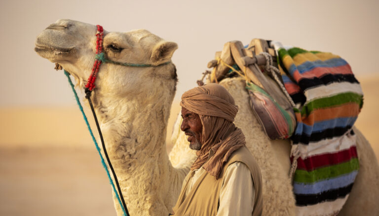 Le Sud Tunisien, c’est bien plus qu’une destination. C’est une expérience, une immersion dans un paysage grandiose où le désert du Sahara étend son immensité à perte de vue. Que vous soyez un aventurier dans l’âme ou un voyageur en quête de sérénité, cette région vous promet des moments magiques, des rencontres authentiques et des souvenirs gravés à jamais. Prêts à découvrir un monde à part ? Suivez-nous dans cette exploration fascinante. À la Rencontre des Dunes Dorées de Douz Douz, souvent surnommée "la porte du Sahara", est un incontournable pour tout voyageur au Sud Tunisien. Cette petite ville, nichée au bord du désert, est le point de départ idéal pour une aventure dans les dunes. Imaginez-vous chevauchant un dromadaire, bercé par le rythme lent de l’animal, entouré de sables dorés à perte de vue. Le désert, ici, n’est pas seulement un paysage, c’est une invitation au rêve et à la contemplation. Ne manquez pas le festival international de Douz, un événement unique qui célèbre la culture bédouine avec des spectacles équestres, des courses de dromadaires et des danses traditionnelles. C’est une plongée directe dans l’authenticité du Sud Tunisien, où les traditions millénaires se mêlent aux paysages sublimes. Matmata : Entre Ciel et Terre À quelques kilomètres de Douz, Matmata vous réserve une surprise de taille : ses habitations troglodytiques. Ces maisons creusées dans la roche offrent une fraîcheur bienvenue en plein désert. Matmata est célèbre pour avoir servi de décor à des scènes de films, notamment "Star Wars". Mais au-delà de cette renommée cinématographique, c’est l’architecture unique et l’ingéniosité des habitants qui marquent les esprits. Visiter Matmata, c’est plonger dans l’histoire des Berbères, découvrir leur mode de vie et leur capacité à s’adapter aux conditions extrêmes du désert. Prenez le temps de visiter une de ces maisons troglodytiques, et vous serez frappé par la simplicité et l’efficacité de cette architecture millénaire. Tozeur : L'Oasis de Tous les Contrastess Tozeur, oasis luxuriante au cœur du désert, est une autre étape incontournable lors de votre voyage dans le Sud Tunisien. Connue pour sa palmeraie impressionnante, Tozeur offre un contraste saisissant entre la verdure abondante et l’aridité du désert environnant. Se promener dans cette oasis, c’est entrer dans un monde où le temps semble s’être arrêté. Les palmiers dattiers, les jardins irrigués par un ingénieux système de foggaras (canaux souterrains), et les ruelles étroites de la vieille ville font de Tozeur un lieu hors du commun. Ne manquez pas de visiter le musée Dar Chrait, qui offre un aperçu fascinant de l’histoire et des traditions de la région. Pour une expérience inoubliable, laissez-vous tenter par une excursion en calèche à travers la palmeraie au coucher du soleil – un moment de pure magie. Chott El Jerid : Le Lac Salé aux Mirages Mystiques Le Chott El Jerid est sans doute l’un des paysages les plus surprenants du Sud Tunisien. Ce vaste lac salé, qui s’étend sur près de 5 000 km², offre un spectacle unique, surtout au lever ou au coucher du soleil. C’est un lieu où le ciel et la terre se confondent, créant des mirages spectaculaires qui laissent souvent les voyageurs sans voix. La traversée du Chott El Jerid est une expérience inoubliable. En route, vous pourrez observer les "roses des sables", ces formations cristallines naturelles qui émergent du sol salé. C’est un spectacle à ne pas manquer, où la nature se révèle dans toute sa splendeur. Préparez Votre Voyage dans le Sud Tunisien Pour explorer ces merveilles du Sud Tunisien, il est crucial de bien préparer votre voyage. Optez pour un circuit organisé avec des professionnels qui connaissent la région et ses secrets. Réservez dès maintenant votre circuit Sahara sud Tunisien avec www.sudtunisie.com pour une expérience sur mesure, adaptée à vos envies et à votre rythme. Avec des paysages époustouflants, une culture riche et un accueil chaleureux, le Sud Tunisien est une destination qui séduit tous ceux qui s’y aventurent. Ne manquez pas cette opportunité unique de découvrir une des régions les plus fascinantes du monde.