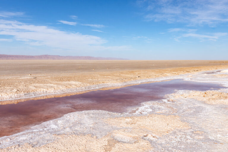 Le désert du Sahara en Tunisie est bien plus qu’une simple étendue de sable. C’est une destination de rêve pour ceux qui cherchent à vivre une aventure hors du commun. Imaginez-vous en train de parcourir les vastes dunes dorées, de découvrir des oasis cachées, et de vous immerger dans une culture millénaire. Faire une excursion dans le désert tunisien, c’est se lancer dans une expérience unique, riche en émotions et en découvertes. Si vous êtes prêt pour cette aventure, alors cet article est fait pour vous. Pourquoi opter pour une excursion dans le désert tunisien ? Le Sahara tunisien est une destination incontournable pour les amoureux de la nature et les aventuriers. Pourquoi ? Parce que le désert, avec ses paysages à couper le souffle et son atmosphère mystique, vous offre une évasion totale du quotidien. Le silence absolu, le ciel étoilé, et les vastes étendues de sable vous invitent à une déconnexion totale. Ce n’est pas simplement un voyage, c’est une expérience spirituelle, où chaque moment passé dans le désert devient un souvenir inoubliable. Mais ce n’est pas tout. En choisissant une excursion dans le désert tunisien, vous avez également l’opportunité de découvrir la culture berbère. Rencontrer les habitants des villages nomades, visiter des ksour (anciens greniers fortifiés), et goûter à la cuisine locale sont autant de moments précieux qui enrichiront votre voyage. C’est une immersion complète dans un mode de vie authentique, loin des sentiers battus. Les incontournables d’un circuit dans le Sahara tunisien Un circuit dans le Sahara tunisien vous permettra de découvrir des lieux emblématiques et fascinants. Douz, connue comme la "porte du désert", est souvent le point de départ idéal. C’est ici que commence véritablement l’aventure, avec la possibilité d’assister au festival du Sahara, un événement culturel incontournable. Ensuite, direction Chott el-Jérid, un immense lac salé qui se transforme, sous l’effet du soleil, en un véritable miroir naturel. C’est un spectacle incroyable que vous ne trouverez nulle part ailleurs. Autre étape incontournable : Ksar Ghilane. Cette oasis, nichée au cœur du désert, est un véritable havre de paix. Vous pourrez vous détendre dans ses eaux thermales après une journée d’exploration. Pour ceux qui recherchent encore plus d’authenticité, Matmata est une destination à ne pas manquer. Cette région est célèbre pour ses habitations troglodytes, des maisons creusées dans la roche où vivent encore certaines familles. Si vous êtes d’humeur aventureuse, ne manquez pas une balade à dos de dromadaire ou en 4x4 à travers les dunes. Cela vous mènera jusqu’à Tataouine, une ville au paysage lunaire, célèbre pour ses habitations berbères et ses paysages époustouflants qui ont même inspiré des réalisateurs de films. Comment bien préparer son excursion dans le Sahara tunisien ? Partir à l’aventure dans le désert nécessite une bonne préparation. Choisir le bon circuit est essentiel pour profiter pleinement de votre expérience. Avec des agences reconnues comme www.sudtunisie.com, vous avez l’assurance de circuits adaptés à vos besoins, que vous soyez un novice ou un aventurier aguerri. Que vous souhaitiez une excursion d’une journée ou un circuit de plusieurs jours, vous trouverez forcément l’option qui vous convient. Votre équipement joue également un rôle crucial. Le désert peut être impitoyable si vous n’êtes pas bien préparé. Pensez à prendre des vêtements légers mais couvrants, des lunettes de soleil, un chapeau, et bien sûr, une quantité suffisante d’eau. La nuit, les températures peuvent chuter rapidement, alors n’oubliez pas un pull ou une veste chaude. Enfin, pour une immersion totale et sécurisée, il est recommandé de partir avec un guide local. Non seulement il connaît le terrain, mais il pourra aussi vous raconter des anecdotes et vous expliquer l’histoire fascinante de cette région. Réservez votre circuit dès maintenant pour une aventure inoubliable Si vous êtes prêt à vivre une expérience hors du commun, alors n’attendez plus. Le Sahara tunisien vous attend avec ses mystères, ses paysages époustouflants, et son accueil chaleureux. Pour réserver votre excursion et obtenir un devis gratuit, rendez-vous sur www.sudtunisie.com. Ce site propose des circuits sur mesure, adaptés à vos envies et à votre budget. N’hésitez plus, plongez dans l’aventure du désert tunisien et découvrez une autre facette de la Tunisie, loin des clichés touristiques. Le Sahara vous promet une expérience unique, où chaque jour est une nouvelle découverte, chaque nuit une promesse de rêves sous les étoiles. Laissez-vous emporter par la magie du désert et préparez-vous à vivre l’aventure de votre vie.