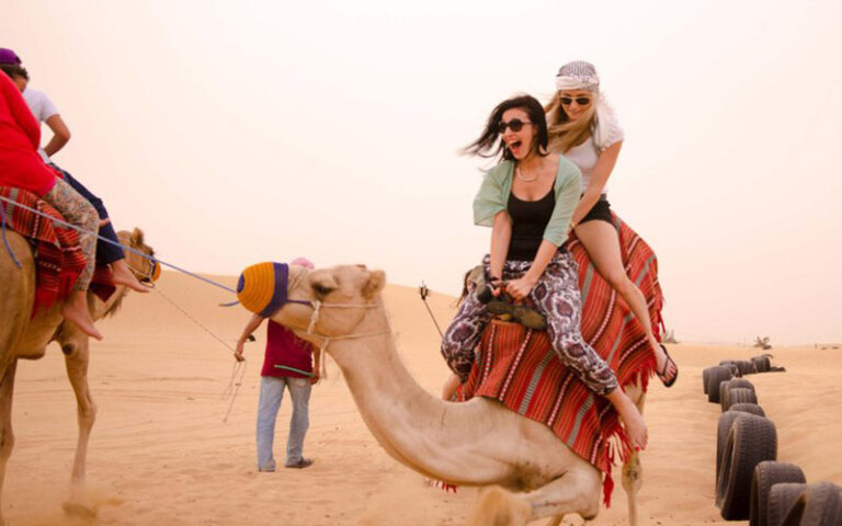 Explorer le Sahara sud tunisien est une aventure que vous ne voulez pas manquer. Ce désert mythique, avec ses dunes majestueuses, ses oasis cachées et ses villages traditionnels, offre une expérience unique que l’on ne trouve nulle part ailleurs. Pour vivre pleinement cette expérience, www.sudtunisie.com propose une gamme de circuits sur mesure, conçus pour satisfaire les envies d’évasion de chacun. Dans cet article, nous allons vous guider pour que vous puissiez réserver votre circuit dans le Sahara sud tunisien en toute simplicité. Pourquoi Réserver avec www.sudtunisie.com ? Lorsque vous choisissez de réserver un circuit avec www.sudtunisie.com, vous optez pour une expérience authentique et bien organisée. Cette plateforme, spécialisée dans les voyages en Tunisie, connaît parfaitement la région du sud tunisien. Elle propose des circuits qui allient aventure, détente et découverte culturelle, le tout encadré par des guides locaux expérimentés. Que vous soyez un aventurier chevronné ou un voyageur en quête de tranquillité, vous trouverez le circuit qui correspond à vos attentes. www.sudtunisie.com met un point d’honneur à offrir un service personnalisé, où chaque détail est pensé pour vous garantir un séjour mémorable. De plus, la réservation en ligne est simple et rapide, vous permettant de planifier votre aventure sans stress. Les Circuits Populaires pour Explorer le Sahara Sud Tunisien 1. Circuit à Tozeur : Le Cœur du Désert Tozeur est souvent la porte d’entrée pour les circuits dans le sud tunisien. Cette oasis emblématique est connue pour ses palmeraies luxuriantes et ses paysages désertiques à couper le souffle. En réservant votre circuit, vous pourrez découvrir le musée Dar Chrait, explorer la médina et partir à l’aventure vers les montagnes de l'Atlas. www.sudtunisie.com propose des circuits qui vous emmènent hors des sentiers battus, vous permettant de découvrir la beauté brute du Sahara. 2. Douz : La Capitale du Désert Douz, surnommée la "capitale du désert", est une étape incontournable de votre circuit. Cette petite ville est le point de départ pour des excursions en dromadaire, des randonnées dans les dunes et des nuits à la belle étoile sous un ciel limpide. Les circuits proposés par www.sudtunisie.com incluent des visites des marchés locaux, où vous pouvez acheter des produits artisanaux et goûter à la cuisine traditionnelle. C’est l’endroit idéal pour s’immerger dans la culture saharienne. 3. Ksar Ghilane : L’Oasis de l’Aventure Située en plein désert, Ksar Ghilane est une oasis magique qui contraste avec l’immensité des dunes environnantes. C’est l’endroit parfait pour une escapade rafraîchissante après une journée d’exploration. Vous pouvez vous baigner dans la source chaude naturelle, visiter les ruines romaines de Tisavar, et passer la nuit dans un campement berbère. www.sudtunisie.com offre des circuits qui incluent des activités telles que la conduite en quad et le sandboarding, pour ceux qui cherchent à ajouter une dose d’adrénaline à leur aventure. 4. Chott el-Jérid : Un Paysage Unique Le Chott el-Jérid est un immense lac salé qui s’étend à perte de vue, créant des paysages irréels, surtout au lever et au coucher du soleil. Les reflets du soleil sur le sel créent des jeux de lumière fascinants qui vous donneront l’impression d’être sur une autre planète. Les circuits de www.sudtunisie.com vous permettent de traverser ce lieu hors du commun, en vous arrêtant pour prendre des photos et admirer la beauté singulière de ce désert salin. Comment Réserver Votre Circuit ? Réserver votre circuit avec www.sudtunisie.com est un jeu d’enfant. Il vous suffit de vous rendre sur leur site web, de sélectionner le circuit qui vous intéresse et de suivre les étapes pour finaliser votre réservation. La plateforme offre une interface intuitive où toutes les informations nécessaires sont clairement indiquées : description des circuits, tarifs, options d’hébergement et activités incluses. De plus, vous pouvez personnaliser votre circuit en fonction de vos préférences et de votre budget. Il est également possible de contacter directement l’équipe de www.sudtunisie.com pour obtenir des conseils personnalisés ou pour organiser un circuit sur mesure. Que vous voyagiez seul, en couple ou en groupe, vous pouvez être sûr de trouver une option qui vous convient. Conclusion : Une Aventure Inoubliable Vous Attend Le Sahara sud tunisien est une destination qui promet des souvenirs inoubliables. En réservant votre circuit avec www.sudtunisie.com, vous faites le choix de la qualité et de l’authenticité. Chaque circuit est conçu pour vous offrir une immersion totale dans l’univers fascinant du désert, tout en assurant votre confort et votre sécurité. Alors, n’attendez plus, plongez dans l’aventure saharienne et laissez-vous emporter par la magie du désert tunisien.