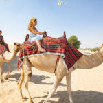 L'envie de partir à l'aventure vous titille ? Le Sahara sud tunisien est une destination de rêve pour ceux qui souhaitent explorer un désert aussi mystérieux qu'époustouflant. Avec www.sudtunisie.com, la réservation de votre circuit devient un jeu d'enfant. Vous vous apprêtez à vivre une expérience unique, où le sable doré du désert rencontre l'hospitalité chaleureuse des habitants locaux. Suivez-nous pour découvrir comment ce voyage peut transformer votre perception du monde. Pourquoi Réserver avec www.sudtunisie.com ? Une Expertise Inégalée Quand il s'agit de circuits dans le Sahara sud tunisien, www.sudtunisie.com se distingue par son expertise. Forts de plusieurs années d'expérience, nous connaissons ce territoire comme notre poche. Nos circuits sont soigneusement conçus pour vous offrir une immersion totale dans la culture et les paysages du désert. Que vous soyez un explorateur chevronné ou un novice en quête de nouvelles aventures, nous adaptons nos offres pour répondre à vos besoins. Des Circuits Personnalisables à Souhait Chaque voyageur est unique, et nous le comprenons bien. C'est pourquoi www.sudtunisie.com vous permet de personnaliser votre circuit selon vos envies et vos contraintes. Vous rêvez de passer une nuit sous les étoiles dans une tente bédouine ? Ou peut-être préférez-vous une balade en dromadaire au lever du soleil ? Quelle que soit votre vision du voyage parfait, nous la réalisons. Nos circuits flexibles vous permettent de choisir les activités qui vous correspondent le mieux, tout en respectant votre budget. Des Tarifs Compétitifs pour une Expérience de Qualité Un des points forts de www.sudtunisie.com, c'est notre capacité à offrir des circuits de qualité à des prix compétitifs. Nous croyons que l'exploration du Sahara sud tunisien ne doit pas être un luxe réservé à quelques privilégiés. Grâce à notre réseau de partenaires locaux, nous négocions les meilleurs tarifs sans jamais compromettre la qualité du service. Ainsi, vous profitez d'un voyage exceptionnel tout en maîtrisant vos dépenses. Les Étapes Incontournables de Votre Circuit 1. Tozeur : L'Essence du Sahara Votre voyage débute souvent à Tozeur, une oasis légendaire qui incarne à elle seule l'essence du Sahara. Connue pour ses dattes délicieuses et ses palmeraies à perte de vue, Tozeur est aussi le point de départ idéal pour découvrir le désert. En vous promenant dans les rues pittoresques de la vieille ville, vous serez transporté dans un autre temps, où chaque mur raconte une histoire. 2. Ksar Ghilane : L'Oasis des Aventuriers Au cœur du désert, Ksar Ghilane est une oasis réputée pour ses sources chaudes naturelles. C'est l'une des dernières avant les vastes étendues du Grand Erg Oriental. Ici, vous pouvez vous baigner dans une piscine naturelle entourée de dunes imposantes. Cette étape est souvent le coup de cœur des voyageurs, offrant un contraste saisissant entre l'eau douce et la mer de sable. 3. Le Désert de Douz : Aux Portes du Sahara Douz, surnommée la "porte du Sahara", est une halte incontournable pour tout circuit dans le sud tunisien. Vous y vivrez l'expérience saharienne par excellence, avec ses immenses dunes et ses caravanes de dromadaires. Une promenade à dos de dromadaire au coucher du soleil est une expérience à ne pas manquer. La lumière dorée du crépuscule se reflétant sur le sable fin crée un spectacle à couper le souffle. 4. Matmata : Le Village Troglodyte Votre périple vous mènera également à Matmata, célèbre pour ses habitations troglodytes. Ces maisons souterraines, creusées dans la roche, vous plongeront dans l'univers des Berbères, peuple autochtone du désert. Vous découvrirez un mode de vie unique, façonné par les rigueurs du climat saharien. C'est un véritable voyage dans le temps, où tradition et modernité se rencontrent. Conseils pour une Réservation Réussie Pour que votre expérience avec www.sudtunisie.com soit parfaite, voici quelques astuces pour bien préparer votre voyage : Réservez à l'avance : Les circuits dans le Sahara sont très demandés, surtout pendant les périodes de haute saison. Réserver tôt vous garantit non seulement une place, mais aussi les meilleurs tarifs. Préparez-vous aux conditions désertiques : Le climat du Sahara peut être extrême. Pensez à emporter des vêtements appropriés, de la crème solaire, et surtout, n'oubliez pas de vous hydrater régulièrement. Faites confiance aux experts : En confiant votre voyage à www.sudtunisie.com, vous bénéficiez de l'accompagnement d'une équipe d'experts qui mettront tout en œuvre pour rendre votre séjour inoubliable. Conclusion : Vivez l'Expérience du Sahara avec www.sudtunisie.com Le Sahara sud tunisien est un lieu de légendes, où chaque dune, chaque oasis, raconte une histoire millénaire. Avec www.sudtunisie.com, cette aventure est à portée de main. Que vous soyez en quête de dépaysement, d'aventure ou simplement de tranquillité, notre équipe se tient prête à vous offrir un circuit qui restera gravé dans votre mémoire. Réservez dès aujourd'hui et laissez-vous emporter par la magie du désert.