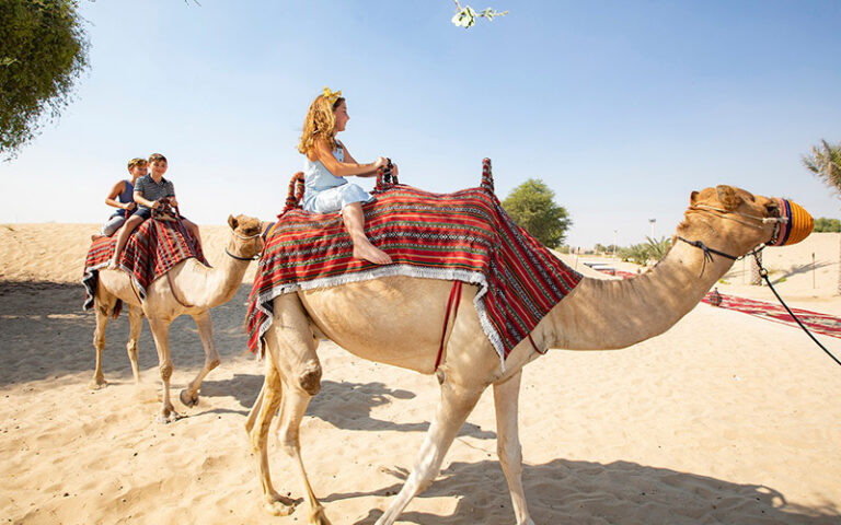 L'envie de partir à l'aventure vous titille ? Le Sahara sud tunisien est une destination de rêve pour ceux qui souhaitent explorer un désert aussi mystérieux qu'époustouflant. Avec www.sudtunisie.com, la réservation de votre circuit devient un jeu d'enfant. Vous vous apprêtez à vivre une expérience unique, où le sable doré du désert rencontre l'hospitalité chaleureuse des habitants locaux. Suivez-nous pour découvrir comment ce voyage peut transformer votre perception du monde. Pourquoi Réserver avec www.sudtunisie.com ? Une Expertise Inégalée Quand il s'agit de circuits dans le Sahara sud tunisien, www.sudtunisie.com se distingue par son expertise. Forts de plusieurs années d'expérience, nous connaissons ce territoire comme notre poche. Nos circuits sont soigneusement conçus pour vous offrir une immersion totale dans la culture et les paysages du désert. Que vous soyez un explorateur chevronné ou un novice en quête de nouvelles aventures, nous adaptons nos offres pour répondre à vos besoins. Des Circuits Personnalisables à Souhait Chaque voyageur est unique, et nous le comprenons bien. C'est pourquoi www.sudtunisie.com vous permet de personnaliser votre circuit selon vos envies et vos contraintes. Vous rêvez de passer une nuit sous les étoiles dans une tente bédouine ? Ou peut-être préférez-vous une balade en dromadaire au lever du soleil ? Quelle que soit votre vision du voyage parfait, nous la réalisons. Nos circuits flexibles vous permettent de choisir les activités qui vous correspondent le mieux, tout en respectant votre budget. Des Tarifs Compétitifs pour une Expérience de Qualité Un des points forts de www.sudtunisie.com, c'est notre capacité à offrir des circuits de qualité à des prix compétitifs. Nous croyons que l'exploration du Sahara sud tunisien ne doit pas être un luxe réservé à quelques privilégiés. Grâce à notre réseau de partenaires locaux, nous négocions les meilleurs tarifs sans jamais compromettre la qualité du service. Ainsi, vous profitez d'un voyage exceptionnel tout en maîtrisant vos dépenses. Les Étapes Incontournables de Votre Circuit 1. Tozeur : L'Essence du Sahara Votre voyage débute souvent à Tozeur, une oasis légendaire qui incarne à elle seule l'essence du Sahara. Connue pour ses dattes délicieuses et ses palmeraies à perte de vue, Tozeur est aussi le point de départ idéal pour découvrir le désert. En vous promenant dans les rues pittoresques de la vieille ville, vous serez transporté dans un autre temps, où chaque mur raconte une histoire. 2. Ksar Ghilane : L'Oasis des Aventuriers Au cœur du désert, Ksar Ghilane est une oasis réputée pour ses sources chaudes naturelles. C'est l'une des dernières avant les vastes étendues du Grand Erg Oriental. Ici, vous pouvez vous baigner dans une piscine naturelle entourée de dunes imposantes. Cette étape est souvent le coup de cœur des voyageurs, offrant un contraste saisissant entre l'eau douce et la mer de sable. 3. Le Désert de Douz : Aux Portes du Sahara Douz, surnommée la "porte du Sahara", est une halte incontournable pour tout circuit dans le sud tunisien. Vous y vivrez l'expérience saharienne par excellence, avec ses immenses dunes et ses caravanes de dromadaires. Une promenade à dos de dromadaire au coucher du soleil est une expérience à ne pas manquer. La lumière dorée du crépuscule se reflétant sur le sable fin crée un spectacle à couper le souffle. 4. Matmata : Le Village Troglodyte Votre périple vous mènera également à Matmata, célèbre pour ses habitations troglodytes. Ces maisons souterraines, creusées dans la roche, vous plongeront dans l'univers des Berbères, peuple autochtone du désert. Vous découvrirez un mode de vie unique, façonné par les rigueurs du climat saharien. C'est un véritable voyage dans le temps, où tradition et modernité se rencontrent. Conseils pour une Réservation Réussie Pour que votre expérience avec www.sudtunisie.com soit parfaite, voici quelques astuces pour bien préparer votre voyage : Réservez à l'avance : Les circuits dans le Sahara sont très demandés, surtout pendant les périodes de haute saison. Réserver tôt vous garantit non seulement une place, mais aussi les meilleurs tarifs. Préparez-vous aux conditions désertiques : Le climat du Sahara peut être extrême. Pensez à emporter des vêtements appropriés, de la crème solaire, et surtout, n'oubliez pas de vous hydrater régulièrement. Faites confiance aux experts : En confiant votre voyage à www.sudtunisie.com, vous bénéficiez de l'accompagnement d'une équipe d'experts qui mettront tout en œuvre pour rendre votre séjour inoubliable. Conclusion : Vivez l'Expérience du Sahara avec www.sudtunisie.com Le Sahara sud tunisien est un lieu de légendes, où chaque dune, chaque oasis, raconte une histoire millénaire. Avec www.sudtunisie.com, cette aventure est à portée de main. Que vous soyez en quête de dépaysement, d'aventure ou simplement de tranquillité, notre équipe se tient prête à vous offrir un circuit qui restera gravé dans votre mémoire. Réservez dès aujourd'hui et laissez-vous emporter par la magie du désert.