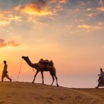 Ghilane : Oasis de Sérénité Ksar Ghilane est l'une des plus belles oasis du Sahara tunisien. Ici, l'eau chaude des sources naturelles offre un contraste saisissant avec les dunes environnantes. C'est l'endroit parfait pour se détendre après une journée d'exploration. Plongez dans cette piscine naturelle et laissez-vous emporter par la magie du désert. Vous pouvez également partir en excursion à cheval ou en quad pour explorer les alentours. Conseils pour Préparer Votre Circuit dans le Sahara Anticipez Votre Réservation Pour garantir votre place dans nos circuits les plus populaires, pensez à réserver à l'avance. Le Sahara est une destination prisée, surtout pendant les périodes de haute saison. Réserver tôt vous permet également de profiter des meilleurs tarifs. Équipez-vous pour le Désert Le Sahara est un environnement extrême. Prévoyez des vêtements légers mais couvrants pour vous protéger du soleil, ainsi que des chaussures confortables pour marcher dans le sable. N'oubliez pas d'emporter de la crème solaire, des lunettes de soleil et un chapeau pour vous protéger de la chaleur. Explorez Davantage avec Notre Blog Pour en savoir plus sur les trésors du Sahara tunisien, n'hésitez pas à consulter notre blog dédié aux excursions en Tunisie. Vous y trouverez des articles détaillés, des conseils pratiques et des récits de voyageurs qui vous inspireront pour votre prochaine aventure. Conclusion : Vivez une Expérience Inoubliable avec www.sudtunisie.com Le Sahara sud tunisien est une destination à la fois mystique et fascinante. Avec www.sudtunisie.com, votre rêve de parcourir ce désert devient réalité. Nos circuits sur mesure, notre expertise locale et notre service de réservation simple vous garantissent une expérience hors du commun. Ne laissez pas cette opportunité vous échapper : réservez dès maintenant votre circuit et préparez-vous à vivre l'aventure de votre vie.