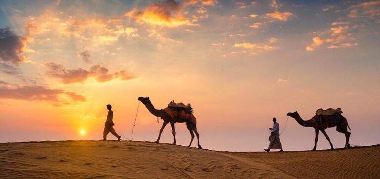 Ghilane : Oasis de Sérénité Ksar Ghilane est l'une des plus belles oasis du Sahara tunisien. Ici, l'eau chaude des sources naturelles offre un contraste saisissant avec les dunes environnantes. C'est l'endroit parfait pour se détendre après une journée d'exploration. Plongez dans cette piscine naturelle et laissez-vous emporter par la magie du désert. Vous pouvez également partir en excursion à cheval ou en quad pour explorer les alentours. Conseils pour Préparer Votre Circuit dans le Sahara Anticipez Votre Réservation Pour garantir votre place dans nos circuits les plus populaires, pensez à réserver à l'avance. Le Sahara est une destination prisée, surtout pendant les périodes de haute saison. Réserver tôt vous permet également de profiter des meilleurs tarifs. Équipez-vous pour le Désert Le Sahara est un environnement extrême. Prévoyez des vêtements légers mais couvrants pour vous protéger du soleil, ainsi que des chaussures confortables pour marcher dans le sable. N'oubliez pas d'emporter de la crème solaire, des lunettes de soleil et un chapeau pour vous protéger de la chaleur. Explorez Davantage avec Notre Blog Pour en savoir plus sur les trésors du Sahara tunisien, n'hésitez pas à consulter notre blog dédié aux excursions en Tunisie. Vous y trouverez des articles détaillés, des conseils pratiques et des récits de voyageurs qui vous inspireront pour votre prochaine aventure. Conclusion : Vivez une Expérience Inoubliable avec www.sudtunisie.com Le Sahara sud tunisien est une destination à la fois mystique et fascinante. Avec www.sudtunisie.com, votre rêve de parcourir ce désert devient réalité. Nos circuits sur mesure, notre expertise locale et notre service de réservation simple vous garantissent une expérience hors du commun. Ne laissez pas cette opportunité vous échapper : réservez dès maintenant votre circuit et préparez-vous à vivre l'aventure de votre vie.