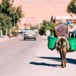 Vous avez envie de découvrir le sud tunisien d'une manière unique et authentique ? Vous rêvez de plonger au cœur du désert, de parcourir des dunes à perte de vue, et de vous immerger dans une culture riche en traditions ? Alors, vous êtes au bon endroit ! Chez www.sudtunisie.com, nous vous offrons des circuits sur mesure pour explorer cette région fascinante de la Tunisie. Mais comment organiser votre voyage et surtout, comment tirer le meilleur parti de cette expérience inoubliable ? Suivez le guide ! Pourquoi choisir www.sudtunisie.com pour votre aventure ? Il est vrai que plusieurs agences proposent des circuits dans le sud tunisien, mais www.sudtunisie.com se démarque par sa connaissance approfondie de la région et par la qualité de ses services. Que vous soyez un aventurier solitaire, un couple en quête de romantisme, ou une famille à la recherche d'une expérience éducative, notre plateforme vous offre des options adaptées à vos besoins. En choisissant notre agence, vous bénéficiez non seulement d'une organisation impeccable, mais aussi de guides locaux expérimentés qui connaissent le désert comme leur poche. Ils vous feront découvrir des endroits secrets, loin des sentiers battus, et vous aideront à vivre une expérience authentique, loin des clichés touristiques. De plus, nous proposons des circuits personnalisés qui vous permettent de moduler votre voyage en fonction de vos envies et de votre rythme. Planifier votre voyage : étapes clés Organiser un voyage dans le sud tunisien avec www.sudtunisie.com est simple et sans tracas. Voici les étapes clés pour vous assurer une aventure mémorable : Choisissez votre circuit : Visitez notre site web et explorez les différents circuits que nous proposons. Vous y trouverez des options pour tous les goûts : des excursions d'une journée aux aventures de plusieurs jours, en passant par des circuits en 4x4 ou à dos de chameau. Personnalisez votre expérience : Une fois votre circuit choisi, vous pouvez personnaliser votre itinéraire en fonction de vos préférences. Que vous souhaitiez passer plus de temps dans les oasis, découvrir les villages berbères, ou profiter d'une nuit étoilée dans un campement nomade, nous ajustons le programme pour répondre à vos attentes. Réservez en ligne : Notre plateforme est intuitive et facile à utiliser. En quelques clics, vous pouvez réserver votre circuit, payer en toute sécurité, et recevoir une confirmation immédiate. Préparez-vous à l'aventure : Avant le départ, nous vous fournissons toutes les informations nécessaires pour préparer votre voyage : que mettre dans votre valise, les précautions à prendre, et les détails pratiques sur le déroulement de votre circuit. Les incontournables du sud tunisien Le sud tunisien est une région aux multiples facettes, où chaque coin de désert recèle une surprise. Voici quelques-uns des incontournables que vous pourrez découvrir avec www.sudtunisie.com : Tozeur : Connue pour ses palmeraies luxuriantes et ses oasis, Tozeur est une étape essentielle. Ne manquez pas la visite de la médina et du musée Dar Cheraït, où vous découvrirez l'histoire et les traditions de la région. Chott el-Jérid : Ce gigantesque lac salé est un spectacle à couper le souffle, surtout au lever ou au coucher du soleil, lorsque les reflets sur le sel créent des jeux de lumière fascinants. Douz : Surnommée la "porte du désert", Douz est le point de départ idéal pour une excursion dans les dunes. Vous pourrez y faire une balade à dos de chameau ou en quad pour une montée d'adrénaline garantie. Ksar Ghilane : Cette oasis au milieu des dunes est un véritable havre de paix. Vous pourrez y profiter d'un bain relaxant dans ses sources chaudes, entouré par le silence du désert. Conseils pour profiter pleinement de votre circuit Pour que votre expérience soit parfaite, voici quelques conseils pratiques : Hydratez-vous : Le climat du désert peut être impitoyable, surtout en été. Pensez à boire régulièrement de l'eau pour éviter la déshydratation. Protégez-vous du soleil : Le soleil du sud tunisien est intense. N'oubliez pas d'emporter un chapeau, des lunettes de soleil, et de la crème solaire à haute protection. Voyagez léger : Le désert est un endroit où l'essentiel prime. Privilégiez des vêtements confortables et respirants, et n'emportez que le strict nécessaire. Respectez la nature : Le désert est un environnement fragile. Pensez à ramasser vos déchets et à respecter les lieux que vous visitez. Avec ces conseils en tête, il ne vous reste plus qu'à vous lancer dans l'aventure ! Le sud tunisien vous attend, et www.sudtunisie.com est là pour vous aider à en faire une expérience inoubliable. N'attendez plus, réservez dès aujourd'hui et préparez-vous à vivre des moments magiques sous le ciel étoilé du Sahara.