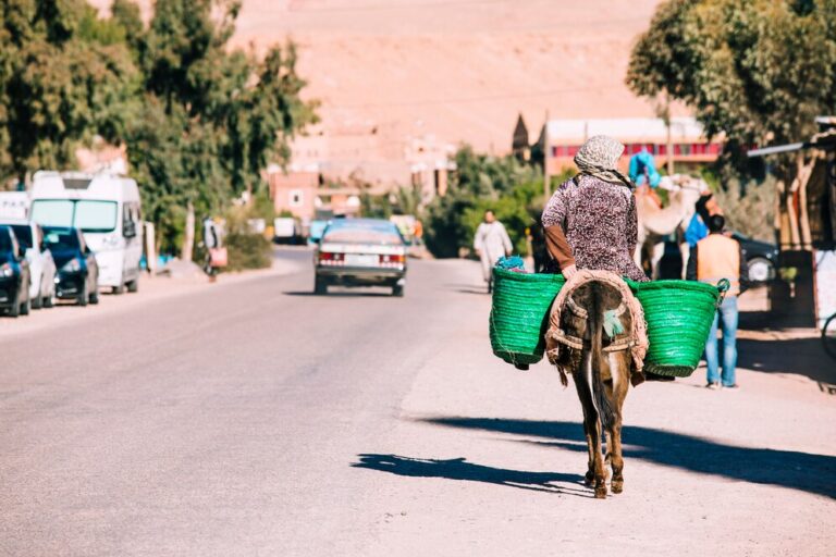 Vous avez envie de découvrir le sud tunisien d'une manière unique et authentique ? Vous rêvez de plonger au cœur du désert, de parcourir des dunes à perte de vue, et de vous immerger dans une culture riche en traditions ? Alors, vous êtes au bon endroit ! Chez www.sudtunisie.com, nous vous offrons des circuits sur mesure pour explorer cette région fascinante de la Tunisie. Mais comment organiser votre voyage et surtout, comment tirer le meilleur parti de cette expérience inoubliable ? Suivez le guide ! Pourquoi choisir www.sudtunisie.com pour votre aventure ? Il est vrai que plusieurs agences proposent des circuits dans le sud tunisien, mais www.sudtunisie.com se démarque par sa connaissance approfondie de la région et par la qualité de ses services. Que vous soyez un aventurier solitaire, un couple en quête de romantisme, ou une famille à la recherche d'une expérience éducative, notre plateforme vous offre des options adaptées à vos besoins. En choisissant notre agence, vous bénéficiez non seulement d'une organisation impeccable, mais aussi de guides locaux expérimentés qui connaissent le désert comme leur poche. Ils vous feront découvrir des endroits secrets, loin des sentiers battus, et vous aideront à vivre une expérience authentique, loin des clichés touristiques. De plus, nous proposons des circuits personnalisés qui vous permettent de moduler votre voyage en fonction de vos envies et de votre rythme. Planifier votre voyage : étapes clés Organiser un voyage dans le sud tunisien avec www.sudtunisie.com est simple et sans tracas. Voici les étapes clés pour vous assurer une aventure mémorable : Choisissez votre circuit : Visitez notre site web et explorez les différents circuits que nous proposons. Vous y trouverez des options pour tous les goûts : des excursions d'une journée aux aventures de plusieurs jours, en passant par des circuits en 4x4 ou à dos de chameau. Personnalisez votre expérience : Une fois votre circuit choisi, vous pouvez personnaliser votre itinéraire en fonction de vos préférences. Que vous souhaitiez passer plus de temps dans les oasis, découvrir les villages berbères, ou profiter d'une nuit étoilée dans un campement nomade, nous ajustons le programme pour répondre à vos attentes. Réservez en ligne : Notre plateforme est intuitive et facile à utiliser. En quelques clics, vous pouvez réserver votre circuit, payer en toute sécurité, et recevoir une confirmation immédiate. Préparez-vous à l'aventure : Avant le départ, nous vous fournissons toutes les informations nécessaires pour préparer votre voyage : que mettre dans votre valise, les précautions à prendre, et les détails pratiques sur le déroulement de votre circuit. Les incontournables du sud tunisien Le sud tunisien est une région aux multiples facettes, où chaque coin de désert recèle une surprise. Voici quelques-uns des incontournables que vous pourrez découvrir avec www.sudtunisie.com : Tozeur : Connue pour ses palmeraies luxuriantes et ses oasis, Tozeur est une étape essentielle. Ne manquez pas la visite de la médina et du musée Dar Cheraït, où vous découvrirez l'histoire et les traditions de la région. Chott el-Jérid : Ce gigantesque lac salé est un spectacle à couper le souffle, surtout au lever ou au coucher du soleil, lorsque les reflets sur le sel créent des jeux de lumière fascinants. Douz : Surnommée la "porte du désert", Douz est le point de départ idéal pour une excursion dans les dunes. Vous pourrez y faire une balade à dos de chameau ou en quad pour une montée d'adrénaline garantie. Ksar Ghilane : Cette oasis au milieu des dunes est un véritable havre de paix. Vous pourrez y profiter d'un bain relaxant dans ses sources chaudes, entouré par le silence du désert. Conseils pour profiter pleinement de votre circuit Pour que votre expérience soit parfaite, voici quelques conseils pratiques : Hydratez-vous : Le climat du désert peut être impitoyable, surtout en été. Pensez à boire régulièrement de l'eau pour éviter la déshydratation. Protégez-vous du soleil : Le soleil du sud tunisien est intense. N'oubliez pas d'emporter un chapeau, des lunettes de soleil, et de la crème solaire à haute protection. Voyagez léger : Le désert est un endroit où l'essentiel prime. Privilégiez des vêtements confortables et respirants, et n'emportez que le strict nécessaire. Respectez la nature : Le désert est un environnement fragile. Pensez à ramasser vos déchets et à respecter les lieux que vous visitez. Avec ces conseils en tête, il ne vous reste plus qu'à vous lancer dans l'aventure ! Le sud tunisien vous attend, et www.sudtunisie.com est là pour vous aider à en faire une expérience inoubliable. N'attendez plus, réservez dès aujourd'hui et préparez-vous à vivre des moments magiques sous le ciel étoilé du Sahara.