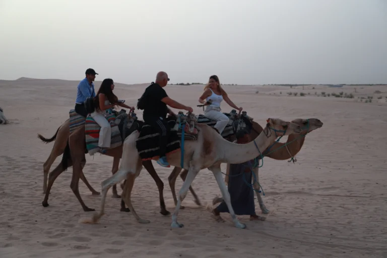 Envie de découvrir le Sud tunisien sans vous ruiner ? Vous êtes au bon endroit ! Le Sud de la Tunisie est une destination magique, entre dunes de sable, oasis verdoyantes et villages berbères. Bonne nouvelle : vous pouvez vivre cette expérience unique sans dépenser une fortune. Nous vous proposons des conseils et astuces pour organiser une excursion pas chère dans cette région fascinante. Que vous soyez un voyageur solo, en couple ou en famille, le Sahara tunisien est accessible à tous les budgets. Pourquoi choisir une excursion pas chère dans le Sud tunisien ? Le Sud de la Tunisie est une région pleine de contrastes, où chaque recoin vous réserve des surprises. Pourtant, voyager dans le désert peut parfois sembler coûteux. Mais avec une bonne planification, il est tout à fait possible de découvrir les merveilles du Sahara sans exploser votre budget. En optant pour une excursion pas chère, vous pourrez profiter des paysages spectaculaires, tout en maîtrisant vos dépenses. Que vous choisissiez une balade à dos de chameau, une nuit sous tente dans un campement bédouin ou une excursion en 4x4, les options économiques ne manquent pas. En effet, plusieurs agences locales proposent des circuits adaptés à des petits budgets, tout en vous offrant une expérience authentique et immersive. Les incontournables du Sud tunisien pour un budget maîtrisé Douz : La porte d’entrée du Sahara à prix réduit Commencez votre aventure par Douz, surnommée la "Porte du Sahara". Cette petite ville est le point de départ de nombreuses excursions dans le désert. Vous y trouverez de nombreuses options économiques pour explorer les dunes environnantes. Parmi les activités incontournables, une balade à dos de dromadaire reste un must, et elle ne coûte pas une fortune. Avec un peu de chance, vous pourrez même assister au célèbre Festival du Sahara, une fête culturelle gratuite qui se déroule chaque année à Douz, avec des spectacles traditionnels, des danses et des courses de dromadaires. Douz est également un excellent point de départ pour des excursions d’une journée ou de plusieurs jours dans le désert. Vous pouvez opter pour des camps bédouins économiques, où vous passerez la nuit sous les étoiles à un tarif très abordable. Le Chott el-Jérid : Une merveille naturelle gratuite Le Chott el-Jérid est un immense lac salé situé dans le sud-ouest de la Tunisie. Ce paysage surréaliste, souvent recouvert de cristaux de sel, offre des vues spectaculaires, et la meilleure nouvelle ? C’est totalement gratuit ! Vous pourrez contempler les jeux de lumière du soleil sur le sel, créant des reflets qui semblent irréels. Une simple balade au lever ou au coucher du soleil vous offrira des photos inoubliables et une expérience apaisante, sans dépenser un centime. Le Chott el-Jérid est également facilement accessible en transport local depuis Douz ou Tozeur, ce qui en fait une option parfaite pour les voyageurs soucieux de leur budget. Matmata : Un village troglodyte accessible à tous Si vous souhaitez plonger dans la culture berbère, une visite à Matmata est incontournable. Ce village est célèbre pour ses habitations troglodytes, creusées directement dans la roche, qui offrent une vue fascinante sur la vie des Berbères. Vous pourrez visiter ces habitations pour une somme modique, souvent incluse dans des excursions économiques. Et pour les fans de cinéma, Matmata est aussi connu pour avoir été l’un des lieux de tournage de Star Wars. Laissez-vous transporter dans un autre monde, tout en restant dans les limites de votre budget ! Tataouine et ses ksours : Plongée dans l’histoire berbère à petit prix Le village de Tataouine et ses célèbres ksours, ces anciens greniers fortifiés, sont une autre étape à ne pas manquer. Là encore, les visites sont très abordables, surtout si vous optez pour des circuits groupés ou des visites guidées par des locaux. Parmi les plus impressionnants, le Ksar Ouled Soltane vous plonge dans l’histoire du Sud tunisien, avec ses nombreuses cellules en terre cuite qui servaient de stockage pour les récoltes. Les ksours offrent une immersion dans le passé berbère, tout en vous offrant des vues incroyables sur les paysages désertiques environnants. C’est une expérience culturelle riche, et accessible à tous. Conseils pour économiser sur votre excursion dans le Sud tunisien 1. Réserver en groupe ou partager une excursion Pour obtenir les meilleurs tarifs, il est souvent plus avantageux de voyager en groupe. De nombreuses agences offrent des réductions pour les groupes de 4 personnes ou plus. Si vous voyagez seul, il est possible de rejoindre des groupes déjà formés pour bénéficier d’une réduction de prix. Cela permet non seulement de réduire les coûts, mais aussi de rencontrer d’autres voyageurs et de partager des moments uniques. 2. Choisir des excursions locales Privilégiez les agences locales pour organiser votre excursion. Elles offrent généralement des tarifs plus compétitifs que les grandes agences internationales, tout en vous proposant une expérience authentique. En plus de cela, vous soutenez l’économie locale en faisant appel à des guides et des prestataires du cru. 3. Opter pour des hébergements économiques Lors de votre séjour dans le Sud tunisien, il est possible de loger dans des campements bédouins, qui sont à la fois abordables et typiques. Vous y passerez la nuit sous les étoiles dans une tente traditionnelle, en profitant d’un repas local et d’un confort simple, mais chaleureux. C’est une expérience authentique qui permet de réduire vos frais d’hébergement tout en vivant une immersion totale dans le désert. 4. Utiliser les transports locaux Enfin, pour économiser sur vos déplacements, n’hésitez pas à utiliser les transports en commun locaux. Les bus et les louages (taxis collectifs) sont très abordables et permettent de rejoindre facilement les principales villes du sud, comme Douz, Matmata ou Tataouine, à moindre coût. Conclusion : Une aventure dans le Sud tunisien à prix doux Le Sud de la Tunisie est une destination de choix pour les voyageurs en quête d’aventure et d’authenticité. Et contrairement aux idées reçues, il est tout à fait possible de découvrir cette région magique sans dépenser une fortune. En suivant ces conseils et en optant pour des excursions économiques, vous pourrez explorer les dunes du Sahara, visiter les villages berbères et admirer les paysages spectaculaires du Sud tunisien tout en respectant votre budget. Alors, qu’attendez-vous pour partir à l’aventure ? Pour en savoir plus sur nos circuits économiques dans le désert, rendez-vous sur www.sudtunisie.com.