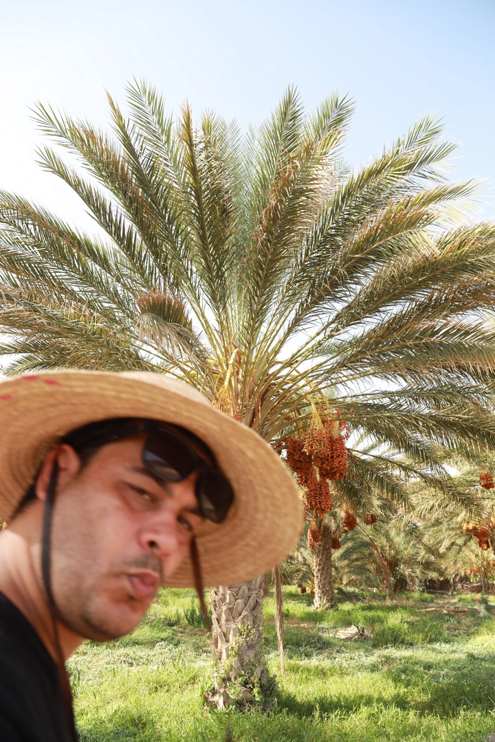 Vous rêvez d'une aventure inoubliable sans vous ruiner ? Le Sud de la Tunisie est la destination idéale pour une excursion pas chère qui vous laissera des souvenirs impérissables. Nous vous emmenons à la découverte du Sahara tunisien, de ses dunes dorées, de ses oasis rafraîchissantes et de ses villages berbères authentiques. Suivez-nous dans cette aventure où l'évasion et le dépaysement sont à portée de main, même avec un petit budget. Pourquoi Choisir une Excursion Pas Chère dans le Sud Tunisien ? Le Sud de la Tunisie offre une multitude d'expériences uniques à des prix abordables. Grâce à sa proximité et à la diversité de ses paysages, il est possible de vivre une aventure exceptionnelle sans dépenser une fortune. Nous croyons que le voyage doit être accessible à tous, c'est pourquoi nous vous proposons des circuits économiques qui allient qualité et petit prix. En optant pour une excursion pas chère, vous bénéficierez d'un excellent rapport qualité-prix. Vous pourrez explorer des sites emblématiques tels que Douz, la porte du désert, ou encore Matmata, célèbre pour ses habitations troglodytes, sans compromettre votre budget. De plus, en réservant avec nous sur sudtunisie.com, vous profitez de tarifs préférentiels et d'offres exclusives. Les Incontournables du Sud Tunisien à Petit Prix 1. Douz : Vivre l'Expérience du Désert Douz est le point de départ idéal pour une immersion dans le désert du Sahara. Nous vous proposons des balades à dos de chameau ou en quad à des prix abordables, pour traverser les dunes de sable et admirer le paysage à couper le souffle. Vous pourrez également assister au marché hebdomadaire de Douz, où les habitants vendent des produits locaux, une occasion parfaite pour découvrir la culture locale sans dépenser beaucoup. 2. Matmata : Plonger dans l'Histoire Berbère À Matmata, vous découvrirez les fameuses maisons troglodytes, creusées dans la roche. Ces habitations atypiques offrent un aperçu fascinant de la manière dont les Berbères ont adapté leur mode de vie aux conditions désertiques. L'entrée dans ces maisons est souvent gratuite ou coûte une somme modique, ce qui en fait une activité idéale pour les voyageurs soucieux de leur budget. N'oubliez pas de visiter le Hôtel Sidi Driss, connu pour avoir servi de décor au film Star Wars. 3. Le Chott el-Jérid : Le Lac Salé Mystérieux Le Chott el-Jérid est un immense lac salé qui offre des paysages surréalistes. Nous vous emmenons en excursion pour admirer les mirages et les reflets scintillants du soleil sur le sel. Cette expérience est souvent incluse dans nos circuits économiques, vous permettant de vivre un moment magique sans frais supplémentaires. C'est l'endroit parfait pour prendre des photos inoubliables et profiter du silence apaisant du désert. 4. Les Oasis de Ksar Ghilane et Tozeur Visiter une oasis est une étape incontournable lors d'une excursion dans le Sud tunisien. À Ksar Ghilane, vous pourrez vous baigner dans une source d'eau chaude naturelle entourée de palmiers, une expérience relaxante et dépaysante. À Tozeur, flânez dans les ruelles de la médina et découvrez l'artisanat local. Ces activités sont accessibles à tous les budgets et vous permettent de vous imprégner de l'atmosphère unique des oasis. Conseils pour une Excursion Réussie à Petit Prix Réserver à l'Avance : En planifiant votre voyage et en réservant vos excursions sur sudtunisie.com, vous bénéficiez de tarifs avantageux et d'offres spéciales. Choisir des Circuits Groupés : Voyager en groupe permet de réduire les coûts. Nous proposons des circuits en groupe qui vous permettent de partager les frais tout en rencontrant d'autres voyageurs. Privilégier les Repas Locaux : Goûtez aux délices de la cuisine tunisienne dans les petits restaurants locaux. Les prix sont souvent très abordables et les plats authentiques. Marchander aux Marchés : La négociation fait partie de la culture locale. N'hésitez pas à marchander les prix sur les marchés pour faire de bonnes affaires. Pourquoi Réserver avec Nous ? Nous sommes spécialisés dans les excursions pas chères dans le Sud de la Tunisie. Notre objectif est de vous offrir une expérience authentique sans vous soucier de votre budget. En réservant avec nous sur www.sudtunisie.com, vous bénéficiez de : Des Tarifs Compétitifs : Nous négocions les meilleurs prix pour vous offrir des excursions de qualité à des tarifs imbattables. Une Organisation Professionnelle : Nous prenons en charge toute la logistique pour que vous puissiez profiter pleinement de votre voyage. Des Guides Expérimentés : Nos guides locaux connaissent parfaitement la région et vous feront découvrir des endroits hors des sentiers battus. La Sécurité Avant Tout : Votre sécurité est notre priorité. Nous veillons à ce que toutes les activités se déroulent dans les meilleures conditions. Conclusion : Vivez l'Aventure sans Vous Ruiner Le Sud de la Tunisie est une destination riche en émotions et en découvertes, accessible à tous les budgets. Avec nos excursions pas chères, nous vous offrons la possibilité de vivre une aventure extraordinaire sans sacrifier votre portefeuille. N'attendez plus, réservez dès maintenant sur www.sudtunisie.com et préparez-vous à explorer les merveilles du Sahara tunisien.