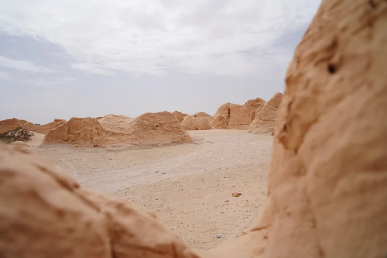 Le sud tunisien est une destination rêvée pour les amateurs de paysages désertiques, de cultures ancestrales et d’aventures hors des sentiers battus. Cependant, organiser un voyage peut parfois coûter cher. Heureusement, avec www.sudtunisie.com, vous pouvez découvrir cette région fascinante tout en respectant votre budget. Dans cet article, nous vous donnons des conseils pratiques pour voyager au sud tunisien sans vous ruiner, tout en profitant pleinement de tout ce que cette destination a à offrir. Trouver des offres de transport à petit prix Lorsque vous planifiez un voyage au sud tunisien, la première étape consiste à trouver un moyen de transport abordable. Grâce à www.sudtunisie.com, vous pouvez comparer différentes options pour vous rendre dans cette région sans dépenser une fortune. Prendre le bus ou le louage : Le bus est l’une des options les plus économiques pour voyager en Tunisie. De nombreuses lignes relient Tunis aux principales villes du sud, comme Gabès, Douz ou Tozeur. Si vous préférez un trajet plus rapide, le louage (taxi collectif) est aussi une bonne option. Sur www.sudtunisie.com, vous trouverez des informations actualisées sur les horaires et les tarifs de ces transports en commun. Profiter des promotions sur les vols internes : Certaines compagnies aériennes proposent des vols internes à des prix compétitifs. Il est souvent possible de trouver des promotions vers les aéroports du sud, notamment ceux de Djerba ou Tozeur. En consultant régulièrement www.sudtunisie.com, vous pourrez dénicher ces offres spéciales qui vous permettront d’économiser sur vos frais de transport. Sélectionner un hébergement économique Une fois arrivé dans le sud tunisien, le choix de l’hébergement est crucial pour rester dans les limites de votre budget. Heureusement, www.sudtunisie.com propose une vaste sélection de logements abordables qui conviendront à tous les types de voyageurs. Optez pour des auberges ou des maisons d’hôtes : Si vous recherchez un hébergement authentique et bon marché, les auberges ou les maisons d’hôtes sont une excellente option. Elles offrent souvent des chambres confortables à des prix imbattables, tout en vous permettant de vivre une expérience plus immersive. Sur www.sudtunisie.com, vous pouvez facilement réserver votre séjour dans l’un de ces établissements. Le camping dans le désert : Pour les plus aventureux, camper dans le désert est une option à la fois économique et inoubliable. De nombreux sites de camping sont disponibles dans le sud tunisien, notamment aux portes du Sahara. Certains organisateurs de voyages proposent des excursions avec nuits sous tente, une expérience unique et bien plus abordable que les hôtels traditionnels. Découvrir les activités gratuites ou à petit prix Voyager pas cher ne signifie pas renoncer aux activités passionnantes. Le sud tunisien regorge de trésors naturels et culturels accessibles gratuitement ou à des prix très raisonnables. Avec www.sudtunisie.com, vous pouvez planifier vos excursions tout en optimisant votre budget. Randonnée dans les montagnes et le désert : De nombreux circuits de randonnée sont accessibles gratuitement. Que vous souhaitiez explorer les montagnes de Matmata, les dunes de Douz ou les oasis de Tozeur, vous trouverez sur www.sudtunisie.com des itinéraires détaillés pour partir à la découverte de ces paysages époustouflants sans rien dépenser. Visiter les villages berbères : Les villages berbères, tels que Chenini ou Douiret, offrent une plongée dans l’histoire et la culture de la région. L’entrée y est souvent libre, et une simple promenade à travers ces lieux chargés d’histoire vous permettra de découvrir l’architecture et les traditions locales sans frais supplémentaires. Astuce bonus : Profitez des événements locaux Enfin, pour vraiment maximiser votre voyage et vivre une expérience authentique sans dépasser votre budget, nous vous recommandons de participer aux événements locaux. Le sud tunisien organise régulièrement des festivals et des événements culturels qui vous permettront de plonger au cœur des traditions tout en dépensant peu. Les festivals de la datte et du Sahara : Ces événements annuels sont des moments privilégiés pour découvrir la richesse du patrimoine tunisien. La plupart de ces festivals sont gratuits et offrent une multitude d’activités, comme des défilés de costumes traditionnels, des courses de dromadaires ou des concerts de musique locale. En consultant www.sudtunisie.com, vous pouvez connaître les dates de ces événements et planifier votre visite en conséquence. Les souks traditionnels : Ne manquez pas les marchés locaux où vous pourrez acheter des produits artisanaux uniques à des prix très abordables. Que ce soit à Gabès, Douz ou Tataouine, les souks du sud sont des lieux où vous pouvez dénicher de véritables trésors tout en soutenant l’économie locale. Conclusion Voyager au sud tunisien à petit prix est tout à fait possible grâce à des astuces simples et des outils pratiques comme www.sudtunisie.com. En planifiant votre transport, en choisissant un hébergement économique, en profitant des nombreuses activités gratuites et en participant aux événements locaux, vous pouvez vivre une aventure inoubliable sans vous ruiner. Alors n’attendez plus, commencez dès aujourd'hui à organiser votre prochain voyage vers le sud tunisien en vous rendant sur www.sudtunisie.com.