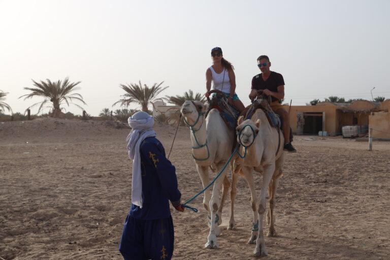 Vous rêvez de découvrir le charme envoûtant du sud tunisien sans les tracas de la conduite ? Opter pour une location de voiture avec chauffeur guide est sans doute la meilleure solution pour vivre cette expérience de manière sereine et immersive. Grâce à www.sudtunisie.com, vous pouvez profiter de cette option tout en bénéficiant de l’expertise d’un guide local qui connaît chaque recoin du désert et des oasis. Que vous souhaitiez explorer les dunes de Douz, vous émerveiller devant les maisons troglodytiques de Matmata ou encore plonger dans l’histoire de Tataouine, cet article vous donnera toutes les clés pour louer une voiture avec chauffeur guide en Tunisie et profiter pleinement de votre voyage. Pourquoi choisir une voiture avec chauffeur guide pour explorer le sud tunisien ? Louer une voiture avec chauffeur guide présente de nombreux avantages pour ceux qui souhaitent découvrir le sud tunisien. Tout d'abord, cela permet d'éviter le stress de la conduite dans des zones où les routes peuvent être difficiles, voire impraticables. De plus, un chauffeur guide local connaît parfaitement le terrain, les meilleures routes à emprunter, et saura adapter l’itinéraire selon vos envies et les conditions climatiques. Imaginez-vous traverser les vastes plaines désertiques sans avoir à vous soucier des directions, et profiter de chaque instant pour admirer le paysage. Votre guide pourra vous raconter des anecdotes fascinantes sur chaque site visité, vous faire découvrir des endroits cachés que vous n’auriez jamais trouvés par vous-même, et vous donner des conseils précieux pour interagir avec les populations locales. En d’autres termes, c’est la garantie d’un voyage sans accroc, enrichissant et en toute sécurité. Les étapes pour louer une voiture avec chauffeur guide sur www.sudtunisie.com Pour louer une voiture avec chauffeur guide en Tunisie via www.sudtunisie.com, il vous suffit de suivre quelques étapes simples : 1. Choisir votre destination et le type de circuit souhaité Avant de procéder à la location, réfléchissez à ce que vous souhaitez voir et faire. Le sud tunisien offre une grande diversité de paysages et d’activités : les dunes dorées du Sahara, les oasis luxuriantes, les villages berbères… www.sudtunisie.com propose des circuits thématiques qui couvrent les incontournables de la région. Vous pouvez opter pour une visite de quelques jours ou pour un circuit plus complet sur une semaine. 2. Sélectionner le véhicule adapté et le chauffeur guide Le site www.sudtunisie.com propose une variété de véhicules adaptés aux différents types de routes que vous pourriez rencontrer dans le sud. Vous pouvez opter pour un 4x4 robuste, idéal pour les excursions en hors-piste, ou pour un véhicule plus classique si votre itinéraire se limite aux routes principales. Chaque chauffeur guide est sélectionné avec soin pour son expérience et sa connaissance du terrain. Vous pouvez lire les avis des précédents clients pour vous assurer que le chauffeur correspond à vos attentes. 3. Personnaliser votre circuit selon vos envies Une fois le véhicule et le guide sélectionnés, il est temps de planifier votre circuit. En fonction de la durée de votre séjour, le chauffeur guide vous aidera à organiser les différentes étapes pour maximiser votre temps et découvrir un maximum de sites. Que vous souhaitiez passer plus de temps à explorer les palmeraies de Tozeur ou à admirer le coucher de soleil sur le lac salé de Chott el Jerid, tout est modulable ! 4. Finaliser la réservation en ligne La réservation se fait directement sur www.sudtunisie.com. Il vous suffit de remplir le formulaire en ligne avec les informations nécessaires : dates de location, nombre de personnes, type de véhicule, etc. Vous recevrez ensuite une confirmation par email, accompagnée de tous les détails concernant le point de rencontre avec le chauffeur, les contacts d’urgence et les informations complémentaires sur le circuit. Quelles sont les destinations incontournables à visiter avec un chauffeur guide dans le sud tunisien ? Le sud de la Tunisie regorge de trésors naturels et culturels à découvrir. Voici une sélection des sites à ne pas manquer lors de votre circuit : Douz : la porte du désert Douz est le point de départ idéal pour toute expédition dans le Sahara. Votre chauffeur guide pourra vous emmener dans les dunes les plus reculées, où vous pourrez vous essayer à la marche sur le sable ou au sandboarding. Ksar Ghilane : l’oasis perdue Perchée au cœur du désert, cette oasis est une véritable merveille de la nature. Baignade dans les sources chaudes, exploration des dunes à dos de chameau ou découverte des ruines de l’ancien fort romain : chaque moment passé à Ksar Ghilane est magique. Tataouine et les ksours berbères Avec ses paysages lunaires et ses villages fortifiés, Tataouine est le lieu parfait pour plonger dans l’histoire berbère. Le chauffeur guide pourra vous emmener visiter les Ksours les plus impressionnants, tels que Ksar Ouled Soltane, et vous conter l’histoire de ces lieux mystérieux. Matmata : le village troglodytique Matmata est célèbre pour ses habitations creusées dans le sol, qui offrent un spectacle architectural unique au monde. Votre guide pourra également vous montrer les maisons encore habitées et vous raconter l’histoire de ce mode de vie particulier. Quelques conseils pratiques pour un voyage réussi Pour profiter au maximum de votre séjour dans le sud tunisien, voici quelques conseils pratiques à garder en tête : Préparez des vêtements adaptés : Les températures peuvent varier énormément entre le jour et la nuit. Prévoyez des vêtements légers pour la journée et des habits plus chauds pour les soirées désertiques. N’oubliez pas votre appareil photo : Chaque paysage est une occasion parfaite pour immortaliser la beauté sauvage du désert et la richesse des villages traditionnels. Communiquez avec votre chauffeur guide : N’hésitez pas à poser des questions, à partager vos préférences et à demander des arrêts supplémentaires si quelque chose attire votre attention. Louer une voiture avec chauffeur guide en Tunisie via www.sudtunisie.com est une option idéale pour ceux qui souhaitent explorer le sud du pays sans soucis. Profitez de l’expertise locale et laissez-vous guider à travers les merveilles de cette région en toute tranquillité !