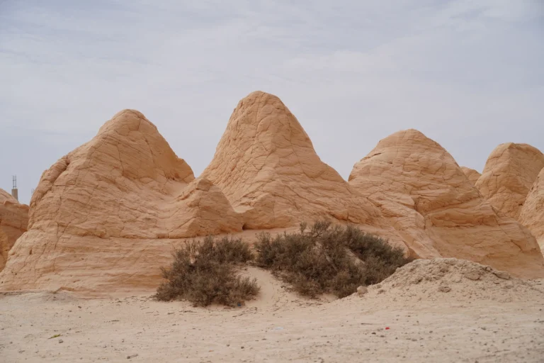 Le sud de la Tunisie, c’est la promesse d’un voyage authentique, au cœur de paysages enchanteurs et de rencontres inoubliables. Que vous soyez aventurier, amateur de culture ou simplement en quête de dépaysement, les excursions et circuits organisés par www.sudtunisie.com offrent une expérience unique et mémorable. Dans cet article, nous vous proposons un aperçu détaillé de ce que vous réserve cette destination fascinante, avec des itinéraires sur-mesure, des lieux incontournables et des conseils pratiques pour profiter au maximum de votre séjour. Les Incontournables du Sud Tunisien Le sud tunisien regorge de sites naturels et culturels incontournables, entre désert, oasis et villages berbères. Voici quelques-uns des lieux phares à ne pas manquer lors de votre voyage. Le Désert du Sahara : Une Étendue d’Or et de Silence Le Sahara tunisien est sans conteste l’un des plus beaux déserts au monde. Avec ses dunes infinies et ses paysages silencieux, il invite à la contemplation et à la sérénité. Les excursions de www.sudtunisie.com incluent des visites de sites emblématiques comme Douz, souvent appelée "la porte du désert", ainsi que des excursions en 4x4, quad ou dromadaire pour une immersion totale. Le désert offre également une opportunité unique de dormir sous les étoiles dans un campement traditionnel, une expérience à la fois authentique et poétique. Les Oasis de Ksar Ghilane et Chebika : Havres de Paix et de Fraîcheur Les oasis sont des joyaux du désert tunisien, où l’eau jaillit au milieu de paysages arides pour offrir un contraste saisissant. Parmi les plus célèbres, Ksar Ghilane est une oasis de charme avec sa source d'eau chaude et ses palmiers verdoyants, parfaite pour une baignade relaxante après une journée d’excursion. Chebika, quant à elle, est une oasis perchée qui offre des vues spectaculaires sur les montagnes et les canyons environnants. Les circuits de www.sudtunisie.com incluent souvent ces étapes, permettant aux voyageurs de découvrir ces paysages d’une beauté rare. Les Villages Berbères de Tataouine et Matmata Les villages berbères, comme ceux de Tataouine et Matmata, vous transporteront dans un autre temps. Ces villages troglodytes, bâtis dans la roche, témoignent d’une architecture unique et d’un mode de vie ancestral. Tataouine est également célèbre pour ses ksour, d’anciens greniers fortifiés qui servaient à protéger les récoltes des tribus nomades. Les circuits organisés permettent de visiter ces lieux tout en respectant leur authenticité, et de mieux comprendre l’histoire fascinante des communautés berbères de la région. Des Expériences Uniques et Sur-Mesure Voyager avec www.sudtunisie.com, c’est l’assurance d’un service personnalisé et adapté à vos envies. L'agence propose divers types d’excursions pour répondre aux attentes des voyageurs, qu’ils soient en quête de découverte, de relaxation ou d'aventure. Circuit en 4x4 et Balades en Dromadaire Pour ceux qui souhaitent explorer les paysages du désert, les circuits en 4x4 offrent un confort et une flexibilité incomparable. Les chauffeurs, expérimentés et connaissant parfaitement la région, vous guideront dans les recoins les plus spectaculaires du désert, des dunes de sable aux montagnes rocheuses. De plus, pour une immersion totale dans la culture locale, rien de tel qu’une balade en dromadaire dans les dunes au coucher du soleil. Cette expérience permet de ressentir toute la magie du Sahara et de vivre comme les nomades d'autrefois. Nuitées sous les Étoiles et Camps Berbères Les nuitées sous les étoiles font partie des expériences les plus mémorables proposées dans le sud tunisien. En rejoignant un campement berbère, les voyageurs peuvent profiter d’une soirée autour du feu, avec des chants et danses traditionnels. Dormir sous un ciel étoilé dans un cadre aussi unique est un moment qui reste gravé dans la mémoire. De plus, les campements offrent des conditions de confort moderne, avec des tentes équipées et des repas savoureux préparés avec des ingrédients locaux. Conseils Pratiques pour un Voyage Réussi au Sud de la Tunisie Préparer Votre Séjour : Que Prendre avec Vous ? Un voyage dans le désert nécessite une préparation minutieuse pour garantir votre confort et votre sécurité. Assurez-vous d’emporter des vêtements adaptés aux variations de température, car les nuits peuvent être fraîches même en été. Une bonne crème solaire, un chapeau et des lunettes de soleil sont également indispensables pour vous protéger du soleil. Enfin, n’oubliez pas une trousse de premiers secours avec les médicaments de base, surtout si vous avez prévu une excursion de plusieurs jours dans le désert. Respecter la Culture Locale et les Traditions Le sud tunisien est une région riche en traditions et en coutumes, et il est important de les respecter pour vivre une expérience authentique. Les habitants, souvent accueillants, apprécient que les visiteurs fassent preuve de respect envers leur culture. Par exemple, il est recommandé de porter des tenues décentes dans les villages et de toujours demander la permission avant de prendre des photos des habitants ou de leurs habitations. Pourquoi Choisir www.sudtunisie.com pour Votre Voyage au Sud de la Tunisie ? L’agence www.sudtunisie.com se distingue par son expertise et son engagement à offrir un service de qualité. En optant pour leurs circuits et excursions, vous bénéficiez de l’accompagnement de guides locaux passionnés et expérimentés, qui partagent leurs connaissances et leur amour pour cette région exceptionnelle. Chaque itinéraire est soigneusement conçu pour maximiser votre expérience, tout en respectant les valeurs écologiques et culturelles du sud tunisien. Que vous voyagiez en famille, en couple ou en solo, www.sudtunisie.com s’assure que chaque voyage soit une aventure unique et inoubliable.