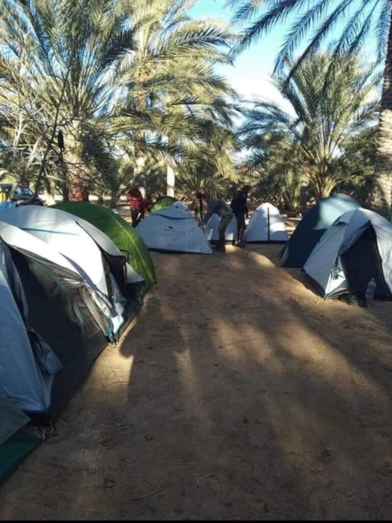 Le Sud tunisien est une région riche en paysages uniques, entre déserts majestueux, oasis verdoyantes et villages pittoresques. Si vous cherchez une expérience authentique et privée, loin des foules, alors un circuit privé dans le sud tunisien est la solution idéale. Dans cet article, nous vous présentons tout ce qu’il faut savoir pour organiser un tel circuit et vivre une aventure inoubliable à travers les beautés naturelles et culturelles de la Tunisie. Pourquoi Choisir Un Circuit Privé Dans Le Sud Tunisien ? Un circuit privé vous offre la possibilité de découvrir la Tunisie à votre rythme, en adaptant chaque étape à vos envies. Contrairement aux voyages en groupe où tout est programmé d’avance, ici, vous êtes le maître de votre itinéraire. Voici quelques raisons qui font du circuit privé un choix privilégié : Liberté de Choix : Vous choisissez les sites que vous souhaitez explorer, les activités qui vous intéressent et la durée de votre séjour. Confort : Un circuit privé vous permet de voyager en toute tranquillité, sans avoir à vous soucier de la logistique ou de la présence d’autres voyageurs. Authenticité : Vous aurez l’occasion de rencontrer des habitants locaux, découvrir des traditions, des histoires et des saveurs uniques, souvent ignorés par le tourisme de masse. Les Incontournables D’Un Circuit Privé Dans Le Sud Tunisien 1. Djerba, L’île Des Rêves Votre voyage dans le sud tunisien peut débuter à Djerba, une île connue pour ses plages de sable fin, ses maisons blanchies à la chaux et ses souks animés. Une promenade dans la vieille ville de Houmt Souk vous plonge dans une ambiance orientale typique, avec ses marchés colorés et ses artisans locaux. Profitez-en pour visiter la Synagogue de la Ghriba, un lieu emblématique et un symbole de la diversité culturelle tunisienne. 2. Tatouine et Les Ksour Berbères Ensuite, direction Tatouine, où vous pourrez admirer les célèbres ksour, ces greniers fortifiés qui étaient utilisés par les Berbères pour stocker leurs récoltes. Ces constructions sont tout simplement fascinantes, avec leurs murs en pisé et leur architecture unique. Parmi les plus emblématiques, le Ksar Ouled Soltane et le Ksar Hadada sont des étapes immanquables pour s’immerger dans l’histoire de la région. Tatouine est également connu pour avoir été un lieu de tournage des films Star Wars, ce qui ajoute une dimension supplémentaire à votre visite. Les passionnés de cinéma pourront revivre des scènes mythiques tout en admirant les paysages incroyables de la région. 3. Douz, La Porte Du Désert Le village de Douz est souvent appelé la "Porte du Désert". C’est d’ici que vous pourrez vous lancer dans une expérience hors du commun : une excursion en dromadaire à travers les dunes infinies du Sahara. Pour une immersion totale, rien de tel qu’une nuit sous une tente traditionnelle, en plein désert. Imaginez-vous entouré du silence des dunes, sous un ciel étoilé d’une beauté stupéfiante. Douz est également célèbre pour son marché hebdomadaire, où l’on peut découvrir des épices, des objets artisanaux et échanger avec les locaux. Une balade dans ce marché est l’occasion de sentir les parfums et d’observer la vie quotidienne des habitants du sud tunisien. 4. Matmata, Le Village Troglodyte Un circuit dans le sud tunisien ne serait pas complet sans une visite à Matmata, connu pour ses habitations troglodytes. Ces maisons creusées dans la roche offrent une température agréablement fraîche, idéale pour se protéger des chaleurs estivales. Le paysage est surréaliste et vous aurez l’impression de faire un saut dans le temps. N’hésitez pas à entrer dans l’une de ces maisons pour rencontrer les familles qui y vivent encore aujourd’hui. Ces moments de partage sont précieux et permettent de mieux comprendre le mode de vie traditionnel de la région. 5. Tozeur et Les Oasis de Montagne Pour finir, rendez-vous à Tozeur, une ville entourée d’une immense oasis. C’est un véritable havre de paix où des milliers de palmiers créent une ambiance paisible et relaxante. Vous pouvez explorer l’oasis à pied ou en calèche et admirer les jardins luxuriants qui contrastent avec le désert aride. Les oasis de montagne comme Chebika et Tamerza sont également des lieux magiques. Elles offrent des panoramas spectaculaires et des cascades naturelles qui semblent surgir de nulle part. Ces oasis sont des arrêts parfaits pour se rafraîchir et profiter de vues à couper le souffle. Comment Organiser Votre Circuit Privé ? 1. Choisissez Votre Itinéraire L’avantage d’un circuit privé est que vous pouvez choisir l’itinéraire qui vous convient le mieux. Vous pouvez commencer par Djerba, puis vous rendre à Tatouine, Douz, Matmata et finir par Tozeur. La durée du circuit peut varier de 4 à 10 jours selon votre disponibilité et vos préférences. 2. Optez Pour Un Guide Local Pour profiter pleinement de votre voyage, il est fortement recommandé d’engager un guide local. Un guide peut non seulement vous raconter l’histoire des lieux que vous visitez, mais aussi vous aider à découvrir des endroits moins connus et à éviter les foules de touristes. 3. Préparez-Vous Pour Le Climat Le sud tunisien est caractérisé par un climat aride, avec des journées très chaudes et des nuits fraîches, surtout dans le désert. Pensez à apporter des vêtements légers pour la journée, mais prévoyez également des habits plus chauds pour les nuits passées sous les étoiles. Dégustez Les Saveurs Du Sud Tunisien Lors de votre circuit, ne manquez pas de goûter à la cuisine traditionnelle du sud tunisien. Le couscous au mouton, les tajines et les pains cuits dans le sable sont des spécialités qui vous feront voyager par les saveurs. Vous pourrez également découvrir des produits locaux comme les dattes de Tozeur, connues pour être parmi les meilleures au monde. Les repas sont souvent l’occasion de partages et de rencontres avec les habitants qui vous ouvriront leurs portes et vous feront découvrir leurs coutumes avec générosité. Conclusion : Vivez Une Expérience Authentique Et Inoubliable Un circuit privé dans le sud tunisien est bien plus qu’un simple voyage touristique. C’est une immersion totale dans une région aux richesses infinies, où la nature sauvage côtoie des traditions millénaires. Que vous soyez amateur de désert, passionné d’histoire ou en quête de dépaysement, le sud de la Tunisie vous réserve des surprises à chaque étape. Prenez le temps de préparer votre itinéraire, faites appel à un guide local pour enrichir votre expérience et laissez-vous emporter par la magie du désert et des oasis. Vous repartirez avec des souvenirs inoubliables et une envie irrépressible de revenir.