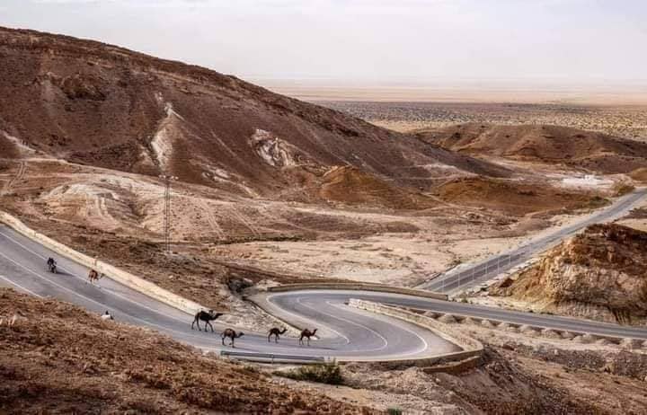 La Tunisie est une destination prisée pour ses paysages époustouflants, sa riche histoire et sa culture vibrante. Parmi les trésors qu'elle recèle, le Sud tunisien se distingue par ses vastes étendues désertiques, ses oasis verdoyantes et ses sites archéologiques fascinants. Dans cet article, nous vous guidons à travers les meilleurs circuits du Sud de la Tunisie, vous offrant une expérience inoubliable à travers le Sahara tunisien. Pourquoi Choisir un Circuit dans le Sud de la Tunisie ? Le Sud de la Tunisie offre une diversité de paysages et d'activités qui séduisent les voyageurs en quête d'aventure et de dépaysement. Voici quelques raisons pour lesquelles vous devriez envisager un circuit dans cette région unique : 1. Paysages Spectaculaires Le désert du Sahara s'étend majestueusement, offrant des dunes dorées à perte de vue, des oasis luxuriantes et des formations rocheuses impressionnantes. Les levers et couchers de soleil dans le désert créent des panoramas à couper le souffle, parfaits pour les amateurs de photographie et les amoureux de la nature. 2. Richesse Historique et Culturelle Le Sud tunisien est parsemé de sites historiques datant de différentes époques, de l'Antiquité à l'époque islamique. Des villes comme Douz, connue comme la porte du désert, aux ruines romaines de Ksar Ghilane, chaque étape de votre circuit dévoile une nouvelle facette de l'histoire tunisienne. 3. Expériences Authentiques Participer à un circuit dans le Sud de la Tunisie, c'est aussi vivre des moments authentiques avec les populations locales. Vous aurez l'occasion de découvrir l'artisanat traditionnel, de goûter à la cuisine locale et de partager des instants chaleureux avec les habitants. 4. Activités Diversifiées Que vous soyez amateur de trekking, de randonnées à dos de chameau, de camping dans le désert ou de détente dans les oasis, le Sud tunisien propose une multitude d'activités adaptées à tous les goûts et tous les niveaux d'aventure. Les Incontournables des Circuits du Sud Tunisien Pour profiter pleinement de votre séjour dans le Sud de la Tunisie, voici quelques sites incontournables à intégrer dans votre circuit : 1. Douz – La Porte du Désert Douz est souvent considérée comme le point de départ des aventures dans le désert tunisien. Cette ville dynamique est célèbre pour son festival annuel des chameaux, une célébration traditionnelle qui attire des visiteurs du monde entier. En explorant Douz, vous découvrirez des marchés animés, des musées dédiés à la culture saharienne et des paysages désertiques impressionnants. 2. Ksar Ghilane – Oasis du Désert Ksar Ghilane est une oasis emblématique située au cœur du Sahara tunisien. Cet endroit paisible est parfait pour se détendre après une journée d'exploration. Vous pouvez profiter des bains thermaux naturels, faire un tour en quad dans les dunes ou simplement admirer la beauté tranquille du désert. Pour plus d'informations sur les circuits disponibles, consultez nos circuits désert. 3. Matmata – Villages Troglodytes Matmata est célèbre pour ses habitations troglodytes creusées dans la roche, une méthode de construction traditionnelle adaptée au climat désertique. Ces maisons souterraines offrent une fraîcheur bienvenue et une expérience unique pour les visiteurs. Vous pouvez également découvrir le mode de vie des habitants et visiter des maisons historiques utilisées dans le tournage de la trilogie "Star Wars". 4. Tozeur – Oasis de Palmiers Tozeur est une oasis luxuriante entourée de milliers de palmiers dattiers. La ville est réputée pour ses architectures en briques de terre et ses jardins exubérants. Ne manquez pas de visiter le Palmeraie, une vaste plantation de dattiers, ainsi que les musées locaux qui mettent en valeur l'histoire et la culture de la région. Tozeur est également le point de départ idéal pour explorer les magnifiques dunes de Chott el Jerid. 5. Chott el Jerid – Mer de Sel Chott el Jerid est une immense étendue de sel qui crée des mirages fascinants et des paysages surréalistes. Cette "mer" salée est particulièrement spectaculaire au lever et au coucher du soleil, lorsque les reflets créent des illusions optiques étonnantes. Une excursion sur Chott el Jerid est une expérience unique qui vous laissera des souvenirs inoubliables. Conseils pour un Circuit Réussi dans le Sud de la Tunisie Pour tirer le meilleur parti de votre circuit dans le Sud tunisien, voici quelques conseils pratiques à suivre : 1. Choisissez le Bon Moment pour Partir Le climat dans le désert tunisien peut être extrême, avec des températures très élevées en été et froides en hiver. Les meilleures périodes pour visiter sont le printemps (mars à mai) et l'automne (septembre à novembre), lorsque le climat est plus clément et propice aux activités en plein air. 2. Préparez-vous Physiquement et Mentalement Certaines activités, comme les randonnées dans les dunes ou les excursions en quad, peuvent être exigeantes physiquement. Assurez-vous d'être en bonne condition physique et d'être prêt à affronter les défis du désert. Il est également important de rester hydraté et de porter des vêtements appropriés pour se protéger du soleil. 3. Engagez un Guide Local Expérimenté Un guide local connaît parfaitement la région et peut vous aider à découvrir des trésors cachés, tout en assurant votre sécurité. Il peut également enrichir votre expérience en partageant des anecdotes historiques et culturelles sur les lieux visités. 4. Respectez l'Environnement et les Coutumes Locales Le désert est un écosystème fragile. Veillez à ne pas laisser de déchets et à respecter la nature. De plus, il est essentiel de respecter les coutumes et traditions locales, notamment en ce qui concerne l'habillement et le comportement. 5. Réservez Votre Circuit avec Anticipation Les circuits dans le Sud de la Tunisie peuvent être très demandés, surtout pendant les périodes touristiques. Pour garantir votre place et bénéficier des meilleurs tarifs, il est recommandé de réserver votre circuit à l'avance. Vous pouvez obtenir un devis personnalisé en visitant notre page de contact. Options de Circuits Disponibles Les circuits du Sud tunisien varient en fonction des intérêts et des préférences des voyageurs. Voici quelques options populaires : 1. Circuit Découverte du Désert Ce circuit vous emmène à travers les principaux sites du désert tunisien, incluant Douz, Ksar Ghilane, et Chott el Jerid. Vous aurez l'occasion de faire des excursions en chameau, de visiter des oasis et de découvrir la culture saharienne. 2. Circuit Aventure et Excursion Pour les amateurs d'adrénaline, ce circuit propose des activités telles que le trekking dans les dunes, le quad, le sandboard et les balades en 4x4. Vous explorerez des régions moins accessibles et vivrez des expériences inoubliables au cœur du désert. 3. Circuit Culture et Histoire Ce circuit met l'accent sur la découverte des sites historiques et culturels du Sud tunisien. Vous visiterez des villages troglodytes, des ruines romaines et des musées locaux, tout en apprenant sur l'histoire riche de la région. 4. Circuit Luxe et Détente Pour ceux qui recherchent le confort et le luxe, ce circuit propose des séjours dans des camps de désert haut de gamme, des spas et des excursions privées. Vous pourrez profiter du désert tout en bénéficiant de services de qualité supérieure. Hébergements dans le Sud de la Tunisie Le Sud tunisien offre une gamme variée d'hébergements adaptés à tous les budgets et préférences : 1. Camps de Désert Traditionnels Pour une expérience authentique, séjournez dans un camp de désert traditionnel. Ces camps offrent des tentes confortables, des repas locaux et des activités organisées, vous permettant de vivre pleinement le mode de vie saharien. 2. Hôtels et Auberges Les villes principales comme Douz et Tozeur disposent d'hôtels et d'auberges offrant confort et commodités modernes. Ces établissements sont idéaux pour ceux qui préfèrent un hébergement plus structuré et recherché. 3. Villas et Locations Privées Pour plus d'intimité et de flexibilité, vous pouvez opter pour la location de villas ou d'appartements privés. Cela est particulièrement adapté aux familles ou aux groupes souhaitant explorer la région à leur propre rythme. Gastronomie du Sud de la Tunisie La cuisine du Sud tunisien est un délice pour les papilles, mêlant saveurs traditionnelles et ingrédients locaux. Voici quelques plats incontournables à ne pas manquer : 1. Couscous au Poulet ou à l'Agneau Le couscous est un plat emblématique de la Tunisie, souvent préparé avec du poulet ou de l'agneau, des légumes frais et des épices aromatiques. Il est généralement servi lors des repas en famille ou des célébrations spéciales. 2. Brik à l'Œuf La brik est une spécialité locale, une fine feuille de pâte frite garnie d'œuf, de thon, de câpres et de persil. C'est un apéritif savoureux et croustillant, idéal pour commencer un repas. 3. Tajine Tunisien Le tajine tunisien diffère de son homonyme marocain. Il s'agit d'un plat mijoté à base de viande, de légumes, de pois chiches et d'épices, souvent servi avec du pain traditionnel. 4. Makroud Pour les amateurs de douceurs, le makroud est une pâtisserie populaire, faite de semoule et fourrée de dattes ou de pâte de figues, puis frite et trempée dans du miel. Transports et Mobilité dans le Sud Tunisien Pour explorer le Sud de la Tunisie en toute liberté, il est essentiel de choisir le bon mode de transport. Voici quelques options à considérer : 1. Location de Voiture Louer une voiture est une option flexible qui vous permet de voyager à votre propre rythme. Assurez-vous de choisir un véhicule adapté aux routes désertiques et de vérifier les conditions de location. Pour plus d'informations, visitez Sud Tunisie. 2. Excursions Organisées Si vous préférez laisser la logistique à des professionnels, optez pour des excursions organisées. Ces circuits incluent généralement le transport, l'hébergement et les activités, vous garantissant une expérience sans souci. 3. Transports Publics Bien que moins flexibles, les transports publics comme les bus peuvent être une option économique pour se déplacer entre les principales villes. Cependant, ils peuvent être moins pratiques pour atteindre des sites éloignés. Sécurité et Conseils Pratiques Le Sud tunisien est généralement sûr pour les touristes, mais il est toujours important de prendre certaines précautions : 1. Renseignez-vous sur la Région Avant de partir, informez-vous sur les conditions locales, les conseils aux voyageurs et les éventuelles restrictions. Consultez les sites officiels et parlez avec des locaux ou des guides expérimentés. 2. Préparez un Kit de Survie Emportez suffisamment d'eau, des encas, une trousse de premiers soins, une lampe de poche, et des vêtements appropriés pour le climat désertique. Il est également recommandé d'avoir une carte détaillée de la région. 3. Respectez les Consignes de Sécurité Suivez toujours les instructions de votre guide, ne vous aventurez pas seul dans le désert et informez quelqu'un de votre itinéraire. En cas de problème, contactez les autorités locales ou les services de secours. 4. Protégez-vous du Soleil Le soleil peut être intense dans le désert. Portez des vêtements légers et couvrants, utilisez de la crème solaire et portez un chapeau pour vous protéger des rayons UV. Conclusion : Une Aventure Inoubliable Vous Attend Le Sud de la Tunisie est une destination qui offre une multitude de possibilités pour les voyageurs en quête de découvertes et d'aventures. Que vous soyez attiré par les vastes étendues désertiques, les sites historiques fascinants ou les expériences culturelles authentiques, un circuit dans le Sud tunisien répondra à toutes vos attentes. Pour planifier votre voyage et obtenir un devis personnalisé, n'hésitez pas à visiter notre page de contact. Préparez-vous à vivre une expérience unique au cœur du Sahara tunisien, où chaque instant est une découverte et chaque paysage une œuvre d'art naturelle.