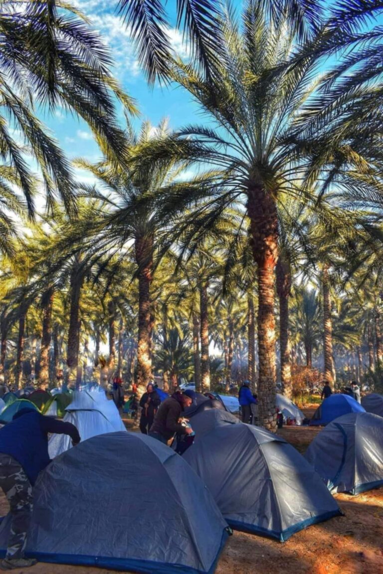 Le Sud tunisien est une destination de rêve pour les aventuriers en quête de dépaysement et d'authenticité. Dormir sous une tente traditionnelle dans le désert offre une expérience unique, mêlant le charme du Sahara aux traditions ancestrales des nomades. Nous vous invitons à découvrir comment cette aventure peut transformer votre voyage en un souvenir inoubliable. Pourquoi Choisir une Tente dans le Désert du Sud Tunisien ? Le désert du Sahara est bien plus qu'une étendue de sable sans fin. C'est un lieu mystique où le silence règne et où les étoiles illuminent le ciel comme nulle part ailleurs. Opter pour une tente dans le désert du Sud tunisien, c'est s'offrir : Une immersion totale : Vivre comme les bédouins, partager leurs traditions et comprendre leur mode de vie. Un dépaysement garanti : Loin du tumulte des villes, vous vous reconnectez avec la nature et vous-même. Des paysages à couper le souffle : Des dunes dorées aux oasis cachées, le désert offre des panoramas époustouflants. Les Meilleurs Circuits et Excursions dans le Sud Tunisien Pour profiter pleinement de cette expérience, il est essentiel de choisir le bon circuit ou excursion. Nous proposons une variété d'itinéraires adaptés à tous les goûts : 1. Circuit des Dunes Dorées Partez à la découverte des plus belles dunes du Sahara. Au programme : Randonnée à dos de chameau : Une façon authentique de traverser le désert. Nuit sous la tente : Admirez le coucher du soleil avant de vous endormir sous un ciel étoilé. Visite des villages berbères : Rencontrez les habitants et découvrez leur artisanat. Pour plus de détails, consultez notre page dédiée : Circuits dans le désert. 2. Excursion aux Oasis Cachées Découvrez les oasis secrètes du Sud tunisien, véritables havres de paix au milieu du désert. Balades en 4x4 : Accédez à des endroits inaccessibles autrement. Baignade dans les sources naturelles : Rafraîchissez-vous dans des piscines naturelles entourées de palmiers. Dégustation de spécialités locales : Goûtez aux délices de la cuisine traditionnelle. 3. Aventure Nomade Vivez comme un nomade le temps d'une excursion. Montage de la tente traditionnelle : Apprenez à installer votre propre campement. Cuisine au feu de bois : Partagez un repas convivial autour du feu. Contes et légendes du désert : Laissez-vous bercer par les histoires transmises de génération en génération. Conseils pour Préparer Votre Séjour sous Tente dans le Désert Pour que votre aventure se déroule dans les meilleures conditions, voici quelques recommandations : Prévoir des vêtements adaptés : Des tenues légères pour la journée et chaudes pour la nuit. Protéger sa peau et ses yeux : N'oubliez pas la crème solaire, les lunettes de soleil et un chapeau. Emporter une lampe torche : Pratique pour se déplacer une fois la nuit tombée. Respecter l'environnement : Le désert est un écosystème fragile. Veillez à laisser les lieux propres. Comment Réserver Votre Aventure dans le Sud Tunisien ? Prêts à vivre cette expérience unique ? Nous sommes là pour vous accompagner dans l'organisation de votre voyage. Notre équipe de professionnels passionnés met tout en œuvre pour faire de votre séjour un moment inoubliable. Des formules sur mesure : Que vous voyagiez en solo, en couple ou en groupe, nous adaptons nos offres à vos besoins. Un accompagnement personnalisé : De la préparation au déroulement du voyage, nous restons à votre écoute. Des guides locaux expérimentés : Ils partagent avec vous leurs connaissances et leur amour du désert. Pour obtenir un devis personnalisé ou pour toute question, n'hésitez pas à nous contacter via ce lien : Devis Voyage Désert Sud Tunisie. Les Témoignages de Nos Voyageurs De nombreux voyageurs nous ont fait confiance pour leur aventure dans le désert. Voici ce qu'ils en disent : Marie et Julien : "Dormir sous la tente dans le désert a été l'une des expériences les plus marquantes de notre vie. Tout était parfaitement organisé, et les paysages étaient à couper le souffle." Sophie : "J'ai adoré l'excursion aux oasis cachées. C'était magique de se baigner dans ces sources naturelles après une journée dans le désert." Laurent et sa famille : "Une aventure en famille réussie grâce à une équipe professionnelle et attentionnée. Les enfants ont adoré les balades à dos de chameau !" Pourquoi Nous Choisir pour Votre Séjour dans le Désert ? Nous sommes spécialisés dans l'organisation de circuits et excursions dans le Sud tunisien depuis de nombreuses années. Notre connaissance approfondie de la région et notre passion pour le désert nous permettent de vous offrir : Une expérience authentique : Nous privilégions les rencontres et les échanges avec les populations locales. La sécurité avant tout : Nos guides sont formés et connaissent parfaitement le terrain. Un respect de l'environnement : Nous sommes engagés dans un tourisme durable et responsable. Conclusion Le Sud tunisien est une terre de contrastes et de merveilles. Vivre l'expérience d'une nuit sous une tente dans le désert est une aventure qui marquera vos esprits et vos cœurs. Entre les circuits dans le désert, les excursions aux oasis et les rencontres avec les nomades, chaque moment passé dans le Sahara est une invitation à la découverte et à l'émerveillement. N'attendez plus pour réaliser ce rêve. Contactez-nous dès maintenant pour organiser votre séjour inoubliable dans le désert tunisien.