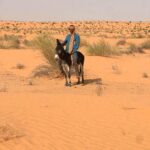 Explorer le sud de la Tunisie est une expérience magique qui éveille les sens et transporte les visiteurs vers des paysages d'une beauté à couper le souffle. C'est un voyage unique au cœur du Sahara, des dunes étincelantes, des oasis luxuriantes, et des villages berbères, le tout enveloppé d'une atmosphère empreinte d'histoire et de traditions. Dans cet article, nous vous emmenons dans un circuit privé au Sud Tunisien, une aventure exclusive qui vous permettra de découvrir les joyaux cachés de cette région enchanteresse, loin des foules et au plus près de la nature. Pourquoi Choisir un Circuit Privé dans le Sud Tunisien ? Le sud tunisien est un endroit où le temps semble s'être arrêté, offrant une occasion unique de se connecter avec l'essence du désert et de la culture locale. Un circuit privé vous offre la liberté de personnaliser votre itinéraire selon vos préférences, vous permettant de vivre une aventure à votre rythme, sans les contraintes des voyages en groupe. Liberté et Flexibilité Avec un circuit privé, vous avez la possibilité de choisir votre propre itinéraire, de décider combien de temps vous souhaitez passer à chaque étape, et même d'ajouter des activités supplémentaires selon vos envies. Que vous souhaitiez passer la journée à explorer les dunes du Sahara, ou prendre un moment pour découvrir les petits villages berbères à l'architecture unique, tout est possible avec un circuit privé. Un Contact Direct avec les Habitants Ce qui rend un circuit privé dans le sud tunisien vraiment spécial, c'est la possibilité de rencontrer les habitants et de découvrir leur mode de vie authentique. Que ce soit à travers des rencontres dans les oasis, des visites de maisons troglodytes à Matmata, ou des soirées autour du feu avec les nomades, chaque moment devient une occasion d'apprendre et de partager. Pour en savoir plus sur nos circuits, consultez notre page d'excursions dans le désert. Les Incontournables du Sud Tunisien Djerba : L'Île des Rêves Votre circuit pourrait bien commencer sur l'île de Djerba, la plus grande île d'Afrique du Nord, souvent appelée "l'île des rêves". Avec ses plages immaculées, ses maisons blanchies à la chaux, et ses souks animés, Djerba offre une première étape parfaite pour entrer dans l'ambiance de la région. Vous pourrez explorer Houmt Souk, la ville principale, où les marchés regorgent de produits artisanaux, et où l'on peut déguster des plats typiques tels que la brik ou le couscous à la djerbienne. Tataouine : Sur les Traces des Berbères et de Star Wars Ensuite, direction Tataouine, une ville célèbre pour ses ksours — ces anciennes greniers fortifiés construits par les berbères pour protéger leurs récoltes. Ces paysages ont également été le décor naturel de plusieurs scènes de la saga Star Wars, offrant une sensation d'être transporté dans une galaxie lointaine. La visite des villages de Chenini et de Ksar Ouled Soltane est incontournable pour apprécier l'histoire et l'architecture de la région. Douz : La Porte du Sahara Douz est souvent appelée la Porte du Sahara. C'est ici que le désert prend toute sa grandeur, avec des dunes à perte de vue et une atmosphère qui appelle à l'aventure. Lors de votre circuit privé, vous pourrez vivre une expérience de balade à dos de chameau, une activité emblématique qui permet de se déplacer comme le faisaient les nomades autrefois. Pour les plus aventureux, une sortie en quad ou en 4x4 est également un excellent moyen de s'enfoncer dans le désert et de ressentir l'adrénaline. Pour une expérience encore plus immersive, passez la nuit sous une tente traditionnelle, loin des lumières de la ville, sous un ciel étoilé d'une rare beauté. Ces moments de silence absolu et de contemplation du ciel sont souvent les plus mémorables pour ceux qui visitent le sud tunisien. Matmata : Les Maisons Troglodytes Matmata est célèbre pour ses maisons troglodytes, creusées dans la roche par les berbères pour se protéger de la chaleur accablante de l'été. Ces habitations particulières offrent un aperçu fascinant de l'architecture traditionnelle de la région et sont encore habitées par certaines familles. Une visite à Matmata est l'occasion d'en apprendre davantage sur la culture berbère et sur la manière dont ces populations se sont adaptées à leur environnement hostile depuis des siècles. Les Oasis de Montagne : Chebika et Tamerza Le circuit se poursuit avec les oasis de montagne, à Chebika et Tamerza. Ces oasis sont de véritables petits paradis au milieu de l'aridité du désert, avec des cascades rafraîchissantes, des palmiers verdoyants, et des vues imprenables sur les montagnes. La marche jusqu'à la cascade de Chebika est une expérience enchanteresse, où chaque tournant révèle un paysage différent. Tamerza, quant à elle, est connue pour son vieux village abandonné, qui offre une atmosphère mystérieuse et photogénique. Une Expérience Culinaire Inoubliable Voyager dans le sud tunisien, c'est aussi découvrir une gastronomie riche et variée. Lors de votre circuit, vous aurez l'occasion de déguster des plats traditionnels tels que le couscous, les tagines, et les méchouis préparés avec soin par les habitants. Partager un repas avec une famille berbère est une expérience unique qui permet non seulement de savourer des mets délicieux, mais aussi de partager un moment de convivialité autour de la table. Ne manquez pas non plus le fameux pain de sable, cuit directement dans le sable chaud du désert, un incontournable de la cuisine nomade. Ces moments de partage autour de la nourriture sont souvent l'occasion de belles rencontres et de riches échanges culturels. Quand Partir et Comment se Préparer ? Meilleure Saison pour Visiter le Sud Tunisien La meilleure période pour effectuer un circuit privé dans le sud tunisien est sans doute entre octobre et avril, lorsque les températures sont plus clémentes. En été, la chaleur peut devenir accablante, surtout dans les zones désertiques, ce qui rend les activités en plein air plus difficiles. Prévoir des vêtements légers mais couvrants est recommandé, de même qu'une bonne protection solaire, de l'eau en quantité suffisante, et des lunettes de soleil pour se protéger des rayons éblouissants du désert. Comment s'équiper pour le Désert Pour profiter pleinement de votre circuit dans le sud tunisien, il est important d'être bien équipé. Voici quelques conseils pour préparer votre aventure : Vêtements : Optez pour des vêtements légers mais couvrants pour vous protéger du soleil. Prévoyez également des vêtements plus chauds pour les soirées dans le désert, car les températures peuvent chuter considérablement la nuit. Chaussures : Des chaussures de marche confortables sont indispensables pour les randonnées dans les oasis et les balades dans le désert. Accessoires : N'oubliez pas un chapeau, des lunettes de soleil et de la crème solaire pour vous protéger des rayons du soleil. Hydratation : Le désert est un environnement sec où il est facile de se déshydrater. Prévoyez toujours une bouteille d'eau sur vous. Réserver Votre Circuit Privé avec Nous Prêts à vivre une expérience inoubliable dans le sud tunisien ? Chez SudTunisie, nous proposons des circuits privés sur mesure pour découvrir cette magnifique région de la Tunisie. Nos guides locaux, passionnés par leur région, vous accompagneront tout au long de votre voyage, vous faisant découvrir des endroits cachés et vous offrant des expériences authentiques. En optant pour un circuit privé, vous choisissez l'intimité, la liberté et la possibilité de créer des souvenirs uniques. Que vous soyez en couple, en famille ou entre amis, nous adaptons chaque détail de votre itinéraire pour faire de ce voyage une aventure inoubliable, rythmée par les dunes, les oasis et la chaleur humaine des habitants du désert. N'attendez plus pour vous immerger dans la beauté sauvage du sud tunisien. Contactez-nous dès aujourd'hui pour organiser votre circuit privé et partez à la découverte de l'une des régions les plus fascinantes du monde.