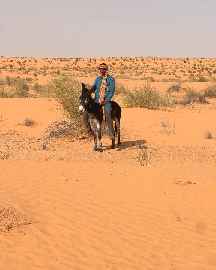 Explorer le sud de la Tunisie est une expérience magique qui éveille les sens et transporte les visiteurs vers des paysages d'une beauté à couper le souffle. C'est un voyage unique au cœur du Sahara, des dunes étincelantes, des oasis luxuriantes, et des villages berbères, le tout enveloppé d'une atmosphère empreinte d'histoire et de traditions. Dans cet article, nous vous emmenons dans un circuit privé au Sud Tunisien, une aventure exclusive qui vous permettra de découvrir les joyaux cachés de cette région enchanteresse, loin des foules et au plus près de la nature. Pourquoi Choisir un Circuit Privé dans le Sud Tunisien ? Le sud tunisien est un endroit où le temps semble s'être arrêté, offrant une occasion unique de se connecter avec l'essence du désert et de la culture locale. Un circuit privé vous offre la liberté de personnaliser votre itinéraire selon vos préférences, vous permettant de vivre une aventure à votre rythme, sans les contraintes des voyages en groupe. Liberté et Flexibilité Avec un circuit privé, vous avez la possibilité de choisir votre propre itinéraire, de décider combien de temps vous souhaitez passer à chaque étape, et même d'ajouter des activités supplémentaires selon vos envies. Que vous souhaitiez passer la journée à explorer les dunes du Sahara, ou prendre un moment pour découvrir les petits villages berbères à l'architecture unique, tout est possible avec un circuit privé. Un Contact Direct avec les Habitants Ce qui rend un circuit privé dans le sud tunisien vraiment spécial, c'est la possibilité de rencontrer les habitants et de découvrir leur mode de vie authentique. Que ce soit à travers des rencontres dans les oasis, des visites de maisons troglodytes à Matmata, ou des soirées autour du feu avec les nomades, chaque moment devient une occasion d'apprendre et de partager. Pour en savoir plus sur nos circuits, consultez notre page d'excursions dans le désert. Les Incontournables du Sud Tunisien Djerba : L'Île des Rêves Votre circuit pourrait bien commencer sur l'île de Djerba, la plus grande île d'Afrique du Nord, souvent appelée "l'île des rêves". Avec ses plages immaculées, ses maisons blanchies à la chaux, et ses souks animés, Djerba offre une première étape parfaite pour entrer dans l'ambiance de la région. Vous pourrez explorer Houmt Souk, la ville principale, où les marchés regorgent de produits artisanaux, et où l'on peut déguster des plats typiques tels que la brik ou le couscous à la djerbienne. Tataouine : Sur les Traces des Berbères et de Star Wars Ensuite, direction Tataouine, une ville célèbre pour ses ksours — ces anciennes greniers fortifiés construits par les berbères pour protéger leurs récoltes. Ces paysages ont également été le décor naturel de plusieurs scènes de la saga Star Wars, offrant une sensation d'être transporté dans une galaxie lointaine. La visite des villages de Chenini et de Ksar Ouled Soltane est incontournable pour apprécier l'histoire et l'architecture de la région. Douz : La Porte du Sahara Douz est souvent appelée la Porte du Sahara. C'est ici que le désert prend toute sa grandeur, avec des dunes à perte de vue et une atmosphère qui appelle à l'aventure. Lors de votre circuit privé, vous pourrez vivre une expérience de balade à dos de chameau, une activité emblématique qui permet de se déplacer comme le faisaient les nomades autrefois. Pour les plus aventureux, une sortie en quad ou en 4x4 est également un excellent moyen de s'enfoncer dans le désert et de ressentir l'adrénaline. Pour une expérience encore plus immersive, passez la nuit sous une tente traditionnelle, loin des lumières de la ville, sous un ciel étoilé d'une rare beauté. Ces moments de silence absolu et de contemplation du ciel sont souvent les plus mémorables pour ceux qui visitent le sud tunisien. Matmata : Les Maisons Troglodytes Matmata est célèbre pour ses maisons troglodytes, creusées dans la roche par les berbères pour se protéger de la chaleur accablante de l'été. Ces habitations particulières offrent un aperçu fascinant de l'architecture traditionnelle de la région et sont encore habitées par certaines familles. Une visite à Matmata est l'occasion d'en apprendre davantage sur la culture berbère et sur la manière dont ces populations se sont adaptées à leur environnement hostile depuis des siècles. Les Oasis de Montagne : Chebika et Tamerza Le circuit se poursuit avec les oasis de montagne, à Chebika et Tamerza. Ces oasis sont de véritables petits paradis au milieu de l'aridité du désert, avec des cascades rafraîchissantes, des palmiers verdoyants, et des vues imprenables sur les montagnes. La marche jusqu'à la cascade de Chebika est une expérience enchanteresse, où chaque tournant révèle un paysage différent. Tamerza, quant à elle, est connue pour son vieux village abandonné, qui offre une atmosphère mystérieuse et photogénique. Une Expérience Culinaire Inoubliable Voyager dans le sud tunisien, c'est aussi découvrir une gastronomie riche et variée. Lors de votre circuit, vous aurez l'occasion de déguster des plats traditionnels tels que le couscous, les tagines, et les méchouis préparés avec soin par les habitants. Partager un repas avec une famille berbère est une expérience unique qui permet non seulement de savourer des mets délicieux, mais aussi de partager un moment de convivialité autour de la table. Ne manquez pas non plus le fameux pain de sable, cuit directement dans le sable chaud du désert, un incontournable de la cuisine nomade. Ces moments de partage autour de la nourriture sont souvent l'occasion de belles rencontres et de riches échanges culturels. Quand Partir et Comment se Préparer ? Meilleure Saison pour Visiter le Sud Tunisien La meilleure période pour effectuer un circuit privé dans le sud tunisien est sans doute entre octobre et avril, lorsque les températures sont plus clémentes. En été, la chaleur peut devenir accablante, surtout dans les zones désertiques, ce qui rend les activités en plein air plus difficiles. Prévoir des vêtements légers mais couvrants est recommandé, de même qu'une bonne protection solaire, de l'eau en quantité suffisante, et des lunettes de soleil pour se protéger des rayons éblouissants du désert. Comment s'équiper pour le Désert Pour profiter pleinement de votre circuit dans le sud tunisien, il est important d'être bien équipé. Voici quelques conseils pour préparer votre aventure : Vêtements : Optez pour des vêtements légers mais couvrants pour vous protéger du soleil. Prévoyez également des vêtements plus chauds pour les soirées dans le désert, car les températures peuvent chuter considérablement la nuit. Chaussures : Des chaussures de marche confortables sont indispensables pour les randonnées dans les oasis et les balades dans le désert. Accessoires : N'oubliez pas un chapeau, des lunettes de soleil et de la crème solaire pour vous protéger des rayons du soleil. Hydratation : Le désert est un environnement sec où il est facile de se déshydrater. Prévoyez toujours une bouteille d'eau sur vous. Réserver Votre Circuit Privé avec Nous Prêts à vivre une expérience inoubliable dans le sud tunisien ? Chez SudTunisie, nous proposons des circuits privés sur mesure pour découvrir cette magnifique région de la Tunisie. Nos guides locaux, passionnés par leur région, vous accompagneront tout au long de votre voyage, vous faisant découvrir des endroits cachés et vous offrant des expériences authentiques. En optant pour un circuit privé, vous choisissez l'intimité, la liberté et la possibilité de créer des souvenirs uniques. Que vous soyez en couple, en famille ou entre amis, nous adaptons chaque détail de votre itinéraire pour faire de ce voyage une aventure inoubliable, rythmée par les dunes, les oasis et la chaleur humaine des habitants du désert. N'attendez plus pour vous immerger dans la beauté sauvage du sud tunisien. Contactez-nous dès aujourd'hui pour organiser votre circuit privé et partez à la découverte de l'une des régions les plus fascinantes du monde.