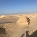 Voyager au sud de la Tunisie est une expérience unique, entre désert, oasis et villages pittoresques. Ce guide complet vous aidera à planifier votre prochaine aventure pour découvrir les merveilles du Sahara tunisien. Avec l’expertise de www.sudtunisie.com, vous profiterez de circuits sur mesure et de vacances inoubliables. Pourquoi choisir le sud tunisien pour vos vacances ? Le sud tunisien est une région fascinante, riche en paysages variés et en traditions ancestrales. Entre les dunes dorées, les montagnes rocheuses et les oasis verdoyantes, cette région offre un dépaysement garanti. C’est également l’occasion de découvrir l’hospitalité légendaire des habitants, qui se feront un plaisir de partager leur culture avec vous. Parmi les incontournables, on retrouve des lieux mythiques comme Douz, surnommée la "porte du désert", ou encore Matmata, célèbre pour ses habitations troglodytes. Mais le sud, c’est aussi une aventure au cœur du Sahara, avec des balades en dromadaire, des nuits sous tente berbère et des panoramas à couper le souffle. Les circuits incontournables pour explorer le sud tunisien 1. Le circuit "Désert et Oasis" : Douz, Tozeur et Chebika Ce circuit est idéal pour une immersion totale dans le désert et ses environs. Commencez par Douz, où vous pourrez monter à dos de dromadaire et admirer le coucher de soleil sur les dunes. Ensuite, direction Tozeur, une ville oasis réputée pour ses palmeraies luxuriantes. Terminez par une excursion aux montagnes oasiennes de Chebika, où des cascades cristallines vous attendent. Avec SudTunisie.com, ce circuit est entièrement personnalisable selon vos envies. Vous pouvez opter pour des nuits en hôtels de charme ou sous des tentes traditionnelles, pour une expérience authentique. 2. Découverte des villages berbères : Matmata et Tataouine Partez à la rencontre des villages berbères emblématiques de la région. Matmata est connue pour ses habitations troglodytes, creusées dans la roche pour se protéger de la chaleur. Vous aurez également l’occasion de visiter des ksours, ces anciens greniers fortifiés typiques de Tataouine. Ce circuit vous plonge dans l’histoire et les traditions locales, avec des visites guidées et des rencontres avec les artisans du coin. N’oubliez pas de goûter aux spécialités locales, comme le pain cuit dans le sable ou le couscous à l’agneau. 3. Aventure dans les dunes de l’Erg Oriental Pour les amateurs de sensations fortes, rien de tel qu’une aventure en 4x4 dans l’Erg Oriental. Cette mer de sable, avec ses dunes à perte de vue, est l’un des paysages les plus impressionnants de la Tunisie. Vous pourrez explorer des lieux isolés, loin des sentiers battus, et profiter d’une tranquillité absolue. Un guide expérimenté vous accompagnera pour garantir votre sécurité et vous faire découvrir les coins les plus spectaculaires. C’est aussi l’occasion de pratiquer le sandboarding, une activité ludique qui séduira petits et grands. Les activités à ne pas manquer dans le sud tunisien Balades en dromadaire : une expérience incontournable Impossible de visiter le sud tunisien sans faire une balade en dromadaire. Ce moyen de transport traditionnel vous permettra de découvrir le désert à un rythme apaisant, en admirant les paysages qui défilent. Les guides locaux veilleront à rendre cette expérience mémorable, avec des histoires fascinantes sur la vie dans le désert. Nuit sous tente berbère : vivez comme un nomade Passer une nuit sous une tente berbère est une expérience magique. Imaginez-vous autour d’un feu de camp, sous un ciel étoilé, dégustant un thé à la menthe accompagné de pâtisseries locales. Ces moments, empreints de convivialité, resteront gravés dans votre mémoire. Exploration des oasis : fraîcheur et sérénité Les oasis du sud tunisien sont de véritables havres de paix. À Chebika, Tamerza ou Midès, vous découvrirez des paysages verdoyants contrastant avec l’aridité du désert. Ces lieux sont parfaits pour se ressourcer et prendre de magnifiques photos souvenirs. Planifiez votre séjour avec SudTunisie.com Avec www.sudtunisie.com, organiser votre excursion devient un jeu d’enfant. Le site propose une large gamme de circuits adaptés à tous les budgets et à toutes les envies. Que vous soyez en quête d’aventure, de détente ou de découverte culturelle, vous trouverez forcément votre bonheur. Leur équipe d’experts est à votre disposition pour vous conseiller et personnaliser votre itinéraire. De plus, leurs guides locaux, passionnés par leur région, sauront rendre votre voyage inoubliable. Conseils pratiques pour un voyage réussi dans le sud tunisien Quand partir ? La meilleure période pour visiter le sud tunisien est d’octobre à avril, lorsque les températures sont plus clémentes. En été, le climat peut être très chaud, mais les oasis offrent des refuges rafraîchissants. Que prévoir dans votre valise ? Des vêtements légers et confortables, adaptés à la chaleur. Une veste pour les soirées fraîches dans le désert. Une crème solaire, un chapeau et des lunettes de soleil pour vous protéger. Une gourde pour rester hydraté. Comment se déplacer ? Le sud tunisien est vaste, et le moyen le plus pratique pour explorer ses trésors est de réserver un circuit avec un guide ou une agence spécialisée. Les circuits en 4x4 permettent d’accéder aux zones les plus reculées en toute sécurité. Conclusion : Un voyage au cœur du sud tunisien avec SudTunisie.com Le sud tunisien est une destination de rêve pour les amoureux de nature, de culture et d’aventure. Avec l’accompagnement de SudTunisie.com, vous vivrez une expérience unique et authentique. Alors, qu’attendez-vous pour préparer votre prochain voyage ? Plongez dans l’univers enchanteur du désert et laissez-vous séduire par la magie du sud tunisien.