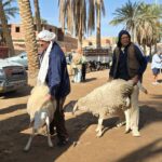 Le sud tunisien est une région fascinante qui offre une diversité de paysages allant des dunes dorées du désert aux oasis luxuriantes cachées au milieu des montagnes. Avec sudtunisie.com, nous vous proposons des circuits et excursions privés qui vous permettront de découvrir ce magnifique territoire dans des conditions privilégiées et avec toute la personnalisation que vous souhaitez. Prêts à vivre une aventure inoubliable ? Suivez-nous dans les dunes du Sahara, les ruelles pittoresques de Tatouine, et les oasis de montagne qui émerveillent les visiteurs depuis des siècles. Pourquoi Choisir une Excursion Privée au Sud Tunisien ? L’avantage principal d'une excursion privée est de pouvoir personnaliser votre voyage selon vos goûts et préférences. Vous avez la liberté de choisir la durée de chaque visite, de décider quels sites vous intéressent le plus, et surtout d’éviter les foules et de bénéficier d’une attention personnalisée. Voici quelques raisons de choisir nos circuits privés : Flexibilité totale : Vous êtes maître de votre itinéraire. Vous pouvez modifier les horaires, choisir les activités, et même improviser une halte imprévue. Un guide dédié : Nos guides locaux sont là pour vous montrer non seulement les sites incontournables, mais aussi pour vous faire découvrir les joyaux cachés de la région. Confort optimal : Nos véhicules sont à votre disposition pour vous transporter confortablement à travers les différents lieux du circuit. Voyager avec nous, c’est l’assurance de vivre une expérience immersive et authentique dans des conditions parfaites. Découverte de Djerba et Tatouine : Entre Tradition et Authenticité L’île de Djerba est souvent le point de départ de nos circuits dans le sud tunisien. Connue pour ses belles plages, ses villages pittoresques, et son côté cosmopolite, Djerba est un véritable melting-pot de cultures qui ne manque jamais de séduire les visiteurs. Après Djerba, nous mettons le cap sur Tatouine, une ville emblématique qui a su préserver son charme traditionnel. Tatouine est connue pour ses ksours, ces anciennes forteresses qui servaient de greniers collectifs et qui sont aujourd’hui un témoignage impressionnant de l’histoire et des traditions bédouines. Se promener dans ces ruines est une expérience unique qui vous donne une idée du mode de vie des anciens habitants de la région. Profitez de la visite des villages berbères et des paysages arides qui ont servi de décor pour des films mythiques comme Star Wars. Pour les amateurs de cinéma, c'est l’occasion idéale de plonger dans l’univers fantastique de la saga en découvrant les lieux où certaines scènes ont été tournées. Douz : La Porte du Sahara et Nuit sous les Étoiles Connue comme la "Porte du Sahara", Douz est un passage incontournable pour toute excursion dans le sud tunisien. Cette petite ville est l’un des points de départ privilégiés pour des balades à dos de dromadaire dans le désert. Imaginez-vous en train de traverser les dunes dorées, au rythme nonchalant des dromadaires, tandis que le soleil se couche à l’horizon. Cette expérience est tout simplement magique. L'un des moments forts de nos circuits est sans aucun doute la nuit sous tente dans le désert. Après un dîner traditionnel autour d'un feu de camp, laissez-vous charmer par la beauté du ciel nocturne. Ici, loin des lumières de la ville, les étoiles brillent de mille feux et l’atmosphère est tout simplement envoûtante. Cette expérience est un véritable retour aux sources qui vous reconnecte avec la nature et vous permet de profiter de la quiétude du désert. Matmata : Sur les Traces des Troglodytes Matmata est célèbre pour ses habitations troglodytes, creusées directement dans la roche. Ces maisons souterraines, construites pour résister aux chaleurs extrêmes du désert, sont des exemples uniques de l'architecture traditionnelle berbère. Lors de votre visite, vous aurez l'opportunité de pénétrer dans ces habitations et de rencontrer les familles qui y vivent encore. Leur hospitalité est légendaire, et vous serez souvent invités à partager un thé à la menthe ou une galette typique. La région de Matmata est aussi connue pour avoir été un des lieux de tournage de la première trilogie Star Wars. L’hôtel Sidi Driss, où ont été tournées plusieurs scènes du film, est ouvert aux visiteurs et constitue une halte passionnante pour les fans de la saga. Les Oasis de Montagne : Chebika et Tamerza Les oasis de montagne de Chebika et Tamerza sont des merveilles naturelles nichées dans les montagnes. Ces oasis offrent un contraste saisissant avec le reste du paysage aride : des cascades, des palmiers et des sources d'eau douce donnent vie à un paysage luxuriant et rafraîchissant. En vous promenant dans les sentiers de ces oasis, vous aurez la chance de découvrir des panoramas spectaculaires et de vous baigner dans des piscines naturelles d’eau claire. Ces lieux chargés d’histoire étaient autrefois habités par des civilisations anciennes. Les ruines des villages abandonnés de Chebika et Tamerza témoignent de cette époque révolue, et notre guide local vous racontera les histoires fascinantes de ces anciennes communautés. Profitez de Nos Offres sur Mesure pour une Aventure Inoubliable Chez sudtunisie.com, nous nous engageons à rendre votre expérience dans le sud tunisien la plus inoubliable possible. Nos circuits privés sont pensés pour vous permettre de découvrir les trésors cachés de la région à votre propre rythme et sans contraintes. Nous savons que chaque voyageur est unique, c’est pourquoi nous proposons des itinéraires personnalisés adaptés à vos envies et à vos besoins. Que vous soyez intéressé par une aventure sportive dans les dunes, une immersion culturelle chez les bédouins, ou tout simplement un moment de détente sous les palmiers, nous avons la formule qui vous conviendra. Pour en savoir plus sur nos circuits et excursions privés, consultez notre page Circuit et Excursion dans le Désert du Sud Tunisien. Pour organiser votre aventure et obtenir un devis personnalisé, n'hésitez pas à nous contacter ici. Préparez Votre Voyage : Conseils Pratiques Avant de partir à l'aventure dans le sud tunisien, voici quelques conseils pour que votre voyage se déroule en toute sérénité : Vêtements : Privilégiez des vêtements légers mais couvrants pour vous protéger du soleil et de la chaleur. N'oubliez pas un chapeau et des lunettes de soleil. Hydratation : Il est essentiel de boire beaucoup d'eau, surtout lors des excursions dans le désert. Prévoyez des bouteilles réutilisables. Respect des coutumes locales : Le sud tunisien est une région où les traditions sont encore très présentes. Respectez les us et coutumes des habitants, notamment en ce qui concerne la façon de s'habiller et de se comporter. Avec ces quelques précautions et un brin de curiosité, vous êtes prêts à vivre une aventure exceptionnelle au cœur du sud tunisien. Conclusion : Un Voyage Vers l’Authenticité Le sud tunisien est une région riche en contrastes, en paysages spectaculaires, et en traditions fascinantes. Avec sudtunisie.com, vous aurez la possibilité de découvrir cette magnifique région d’une manière authentique et privée. Nos circuits sont conçus pour vous offrir une expérience unique et sur mesure, loin des sentiers battus, au plus près de la nature et des habitants de la région. Alors, prêts à partir à l’aventure et à découvrir les merveilles cachées du sud tunisien ? Nous vous attendons avec impatience pour vous guider dans ce voyage inoubliable.