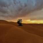 Envie de vivre une aventure unique, hors des sentiers battus, à la découverte des paysages enchanteurs du sud tunisien ? Imaginez-vous voyager à travers le désert, sillonner les dunes dorées, admirer les montagnes ocre, et découvrir les oasis luxuriantes—le tout à votre rythme, en compagnie d'un guide local passionné. Un circuit privé dans le sud tunisien est la solution idéale pour savourer chaque instant et vous immerger dans la culture riche et accueillante de la Tunisie. Dans cet article, nous vous présentons un itinéraire captivant pour un circuit privé qui vous fera vivre le sud tunisien sous son meilleur jour. Pourquoi Choisir un Circuit Privé dans le Sud Tunisien ? Le sud tunisien est une région à la beauté sauvage et authentique, loin de l'effervescence des grandes villes. Choisir un circuit privé vous permet de personnaliser votre expérience, d'adapter le rythme du voyage à vos envies et de profiter pleinement des merveilles de cette région. Vous avez la liberté de vous arrêter où bon vous semble, de prendre le temps de contempler le coucher du soleil sur les dunes ou de vous perdre dans les ruelles des villages berbères. Par ailleurs, un guide local connaît tous les secrets du désert et vous fera vivre une expérience authentique, enrichie d'anecdotes et de rencontres avec les habitants. Si vous êtes à la recherche d'une aventure personnalisée, conviviale et écoresponsable, le circuit privé sud tunisien est sans aucun doute le meilleur choix. Un Itinéraire Inoubliable : Circuit Privé de 7 Jours dans le Sud Tunisien Jour 1 : Monastir – Djerba Votre voyage commence à Monastir, une ville côtière pleine de charme. Vous partirez ensuite vers l'île de Djerba, connue pour son atmosphère relaxante et ses plages paradisiaques. Sur l'île, ne manquez pas le village de Houmt Souk, avec ses marchés colorés et ses petites ruelles typiques. Vous pourrez également visiter la synagogue El Ghriba, un lieu de culte important et très ancien, témoin du riche passé multiculturel de l'île. Jour 2 : Djerba – Tatouine – Chenini La deuxième journée sera placée sous le signe de l'aventure avec une traversée du bac d'Ajim pour rejoindre le continent et vous diriger vers la région de Tatouine. Cette région est célèbre pour ses ksours—ces greniers fortifiés utilisaient par les Berbères pour conserver leurs réserves de nourriture. Vous visiterez le magnifique village perché de Chenini, où les maisons sont construites dans la roche, offrant un spectacle impressionnant. Jour 3 : Tatouine – Douz – Nuit en Tente dans le Désert Direction Douz, la porte du désert ! Ce village est le point de départ de nombreuses excursions dans les dunes. Une fois à Douz, vous pourrez découvrir le marché hebdomadaire où se côtoient artisans et agriculteurs. En fin de journée, vous partirez en 4x4 vers le désert pour vivre une expérience inoubliable : une nuit en tente sous les étoiles, autour d'un feu de camp. Vous aurez l'occasion de déguster un repas traditionnel berbère et d'écouter les histoires fascinantes des nomades. Jour 4 : Douz – Matmata – Tozeur Après un petit-déjeuner dans le désert, vous mettrez le cap sur Matmata, célèbre pour ses maisons troglodytes. Ces habitations creusées dans la roche offrent une température agréable toute l'année et ont servi de décor pour plusieurs films, dont "Star Wars". Vous continuerez ensuite vers Tozeur, une ville-oasis entourée de palmeraies. Tozeur est connue pour sa belle architecture traditionnelle et ses jardins luxuriants. Vous pourrez à loisir vous promener dans la palmeraie ou visiter le musée Dar Chraiet pour en savoir plus sur l'histoire de la région. Jour 5 : Les Oasis de Montagne : Chebika et Tamerza La cinquième journée vous mènera vers les fameuses oasis de montagne de Chebika et Tamerza. Ces oasis sont des lieux de toute beauté, situés au pied des montagnes. Vous serez séduit par les cascades et les bassins naturels qui se cachent au milieu des palmiers, ainsi que par les vues imprenables sur le désert environnant. C'est l'endroit idéal pour une balade relaxante et une immersion totale dans la nature. Jour 6 : Tozeur – Chott El Jerid – Ksar Ghilane Vous quitterez Tozeur pour traverser le Chott El Jerid, un immense lac salé qui brille sous les rayons du soleil et crée de magnifiques effets de mirage. Ensuite, direction Ksar Ghilane, une autre oasis magique située au cœur du désert. Vous pourrez vous baigner dans la source chaude naturelle ou partir en balade à dos de dromadaire pour explorer les dunes environnantes. Jour 7 : Ksar Ghilane – Monastir Pour votre dernière journée, vous remonterez vers Monastir, où prendra fin votre aventure dans le sud tunisien. Sur le chemin, vous aurez encore l'occasion d'admirer les magnifiques paysages du désert et de prendre quelques photos souvenirs. Vous rentrerez la tête pleine de souvenirs inoubliables et déjà l'envie de repartir à la découverte de nouveaux horizons. Pour en savoir plus sur les différentes options de circuits et excursions dans le sud tunisien, n'hésitez pas à consulter notre page d'excursions. Les Points Forts d'un Circuit Privé dans le Sud Tunisien Un circuit privé vous offre la possibilité de personnaliser votre itinéraire et de vivre une expérience sur mesure. Voici quelques-uns des principaux avantages d'un circuit privé dans le sud tunisien : Flexibilité totale : Vous choisissez vos départs, vos arrêts et la durée de chaque visite. Authenticité : Un guide local vous fera découvrir la culture et les traditions de la région. Confort et intimitié : Vous évitez les groupes nombreux et vous profitez de chaque instant en toute quiétude. Immersion culturelle : Vous aurez l'occasion de rencontrer les habitants et d'échanger avec eux, découvrir leur mode de vie et leur hospitalité. Quand Partir pour un Circuit dans le Sud Tunisien ? La meilleure période pour visiter le sud tunisien se situe entre octobre et avril, lorsque les températures sont plus douces et agréables. Le désert offre des paysages magnifiques tout au long de l'année, mais il est préférable d'éviter l'été car la chaleur peut devenir accablante. En automne et au printemps, les nuits dans le désert peuvent être fraîches, alors n'oubliez pas de prévoir des vêtements chauds pour les soirées. Conseils Pratiques pour un Circuit Privé Réussi Voici quelques conseils pour profiter au mieux de votre circuit privé dans le sud tunisien : Bien préparer ses affaires : Prévoyez des vêtements légers, mais aussi des vêtements plus chauds pour les nuits dans le désert. N'oubliez pas votre crème solaire, vos lunettes de soleil et un chapeau pour vous protéger du soleil. Hydratation : Le climat du désert peut être très sec, il est donc essentiel de boire régulièrement pour rester hydraté. Respecter la culture locale : Le sud tunisien est une région où les traditions sont très présentes. Soyez respectueux des coutumes locales, notamment en ce qui concerne les tenues vestimentaires et les interactions avec les habitants. Comment Réserver Votre Circuit Privé dans le Sud Tunisien Vous souhaitez partir à l'aventure et découvrir les merveilles du sud tunisien en toute liberté ? Nous sommes à votre disposition pour organiser un circuit sur mesure qui répondra à toutes vos attentes. Avec notre expérience et notre connaissance approfondie de la région, nous vous garantissons un voyage inoubliable. Pour en savoir plus et obtenir un devis personnalisé, n'hésitez pas à nous contacter ici.