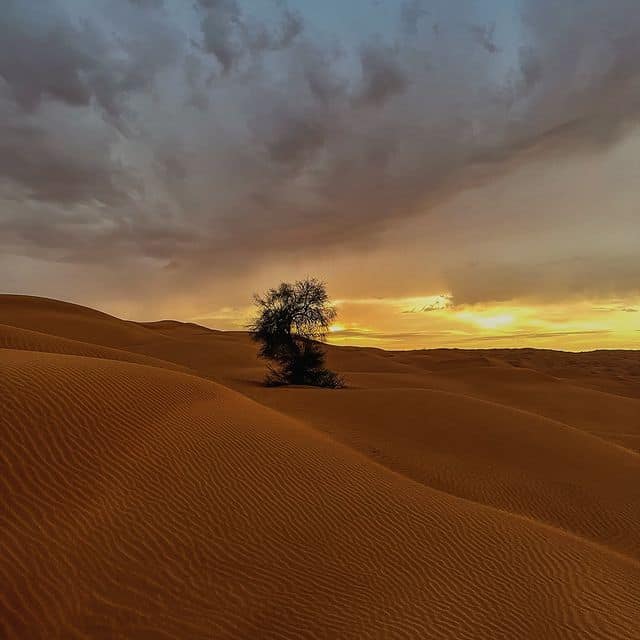 Envie de vivre une aventure unique, hors des sentiers battus, à la découverte des paysages enchanteurs du sud tunisien ? Imaginez-vous voyager à travers le désert, sillonner les dunes dorées, admirer les montagnes ocre, et découvrir les oasis luxuriantes—le tout à votre rythme, en compagnie d'un guide local passionné. Un circuit privé dans le sud tunisien est la solution idéale pour savourer chaque instant et vous immerger dans la culture riche et accueillante de la Tunisie. Dans cet article, nous vous présentons un itinéraire captivant pour un circuit privé qui vous fera vivre le sud tunisien sous son meilleur jour. Pourquoi Choisir un Circuit Privé dans le Sud Tunisien ? Le sud tunisien est une région à la beauté sauvage et authentique, loin de l'effervescence des grandes villes. Choisir un circuit privé vous permet de personnaliser votre expérience, d'adapter le rythme du voyage à vos envies et de profiter pleinement des merveilles de cette région. Vous avez la liberté de vous arrêter où bon vous semble, de prendre le temps de contempler le coucher du soleil sur les dunes ou de vous perdre dans les ruelles des villages berbères. Par ailleurs, un guide local connaît tous les secrets du désert et vous fera vivre une expérience authentique, enrichie d'anecdotes et de rencontres avec les habitants. Si vous êtes à la recherche d'une aventure personnalisée, conviviale et écoresponsable, le circuit privé sud tunisien est sans aucun doute le meilleur choix. Un Itinéraire Inoubliable : Circuit Privé de 7 Jours dans le Sud Tunisien Jour 1 : Monastir – Djerba Votre voyage commence à Monastir, une ville côtière pleine de charme. Vous partirez ensuite vers l'île de Djerba, connue pour son atmosphère relaxante et ses plages paradisiaques. Sur l'île, ne manquez pas le village de Houmt Souk, avec ses marchés colorés et ses petites ruelles typiques. Vous pourrez également visiter la synagogue El Ghriba, un lieu de culte important et très ancien, témoin du riche passé multiculturel de l'île. Jour 2 : Djerba – Tatouine – Chenini La deuxième journée sera placée sous le signe de l'aventure avec une traversée du bac d'Ajim pour rejoindre le continent et vous diriger vers la région de Tatouine. Cette région est célèbre pour ses ksours—ces greniers fortifiés utilisaient par les Berbères pour conserver leurs réserves de nourriture. Vous visiterez le magnifique village perché de Chenini, où les maisons sont construites dans la roche, offrant un spectacle impressionnant. Jour 3 : Tatouine – Douz – Nuit en Tente dans le Désert Direction Douz, la porte du désert ! Ce village est le point de départ de nombreuses excursions dans les dunes. Une fois à Douz, vous pourrez découvrir le marché hebdomadaire où se côtoient artisans et agriculteurs. En fin de journée, vous partirez en 4x4 vers le désert pour vivre une expérience inoubliable : une nuit en tente sous les étoiles, autour d'un feu de camp. Vous aurez l'occasion de déguster un repas traditionnel berbère et d'écouter les histoires fascinantes des nomades. Jour 4 : Douz – Matmata – Tozeur Après un petit-déjeuner dans le désert, vous mettrez le cap sur Matmata, célèbre pour ses maisons troglodytes. Ces habitations creusées dans la roche offrent une température agréable toute l'année et ont servi de décor pour plusieurs films, dont "Star Wars". Vous continuerez ensuite vers Tozeur, une ville-oasis entourée de palmeraies. Tozeur est connue pour sa belle architecture traditionnelle et ses jardins luxuriants. Vous pourrez à loisir vous promener dans la palmeraie ou visiter le musée Dar Chraiet pour en savoir plus sur l'histoire de la région. Jour 5 : Les Oasis de Montagne : Chebika et Tamerza La cinquième journée vous mènera vers les fameuses oasis de montagne de Chebika et Tamerza. Ces oasis sont des lieux de toute beauté, situés au pied des montagnes. Vous serez séduit par les cascades et les bassins naturels qui se cachent au milieu des palmiers, ainsi que par les vues imprenables sur le désert environnant. C'est l'endroit idéal pour une balade relaxante et une immersion totale dans la nature. Jour 6 : Tozeur – Chott El Jerid – Ksar Ghilane Vous quitterez Tozeur pour traverser le Chott El Jerid, un immense lac salé qui brille sous les rayons du soleil et crée de magnifiques effets de mirage. Ensuite, direction Ksar Ghilane, une autre oasis magique située au cœur du désert. Vous pourrez vous baigner dans la source chaude naturelle ou partir en balade à dos de dromadaire pour explorer les dunes environnantes. Jour 7 : Ksar Ghilane – Monastir Pour votre dernière journée, vous remonterez vers Monastir, où prendra fin votre aventure dans le sud tunisien. Sur le chemin, vous aurez encore l'occasion d'admirer les magnifiques paysages du désert et de prendre quelques photos souvenirs. Vous rentrerez la tête pleine de souvenirs inoubliables et déjà l'envie de repartir à la découverte de nouveaux horizons. Pour en savoir plus sur les différentes options de circuits et excursions dans le sud tunisien, n'hésitez pas à consulter notre page d'excursions. Les Points Forts d'un Circuit Privé dans le Sud Tunisien Un circuit privé vous offre la possibilité de personnaliser votre itinéraire et de vivre une expérience sur mesure. Voici quelques-uns des principaux avantages d'un circuit privé dans le sud tunisien : Flexibilité totale : Vous choisissez vos départs, vos arrêts et la durée de chaque visite. Authenticité : Un guide local vous fera découvrir la culture et les traditions de la région. Confort et intimitié : Vous évitez les groupes nombreux et vous profitez de chaque instant en toute quiétude. Immersion culturelle : Vous aurez l'occasion de rencontrer les habitants et d'échanger avec eux, découvrir leur mode de vie et leur hospitalité. Quand Partir pour un Circuit dans le Sud Tunisien ? La meilleure période pour visiter le sud tunisien se situe entre octobre et avril, lorsque les températures sont plus douces et agréables. Le désert offre des paysages magnifiques tout au long de l'année, mais il est préférable d'éviter l'été car la chaleur peut devenir accablante. En automne et au printemps, les nuits dans le désert peuvent être fraîches, alors n'oubliez pas de prévoir des vêtements chauds pour les soirées. Conseils Pratiques pour un Circuit Privé Réussi Voici quelques conseils pour profiter au mieux de votre circuit privé dans le sud tunisien : Bien préparer ses affaires : Prévoyez des vêtements légers, mais aussi des vêtements plus chauds pour les nuits dans le désert. N'oubliez pas votre crème solaire, vos lunettes de soleil et un chapeau pour vous protéger du soleil. Hydratation : Le climat du désert peut être très sec, il est donc essentiel de boire régulièrement pour rester hydraté. Respecter la culture locale : Le sud tunisien est une région où les traditions sont très présentes. Soyez respectueux des coutumes locales, notamment en ce qui concerne les tenues vestimentaires et les interactions avec les habitants. Comment Réserver Votre Circuit Privé dans le Sud Tunisien Vous souhaitez partir à l'aventure et découvrir les merveilles du sud tunisien en toute liberté ? Nous sommes à votre disposition pour organiser un circuit sur mesure qui répondra à toutes vos attentes. Avec notre expérience et notre connaissance approfondie de la région, nous vous garantissons un voyage inoubliable. Pour en savoir plus et obtenir un devis personnalisé, n'hésitez pas à nous contacter ici.