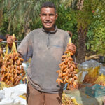 Le désert du Sahara en Tunisie est une expérience à vivre au moins une fois dans sa vie. Ce vaste désert, qui couvre une partie importante du sud du pays, offre un dépaysement total et de multiples activités pour les aventuriers et amoureux de la nature. Vous rêvez d’un circuit qui allie paysages époustouflants, immersion dans la culture locale, et découverte d'un écosystème unique ? Découvrez avec nous tout ce que le Sahara tunisien a à offrir et comment organiser votre aventure inoubliable. Pourquoi Choisir le Sahara Tunisien pour une Excursion ? Le Sahara tunisien est unique en raison de sa diversité de paysages et de sa proximité avec des sites culturels et historiques importants. Des dunes infinies de Douz aux oasis paradisiaques de Ksar Ghilane, le désert est loin d’être monotone. Les couchers de soleil flamboyants sur les dunes dorées et le silence apaisant de ce désert font de chaque excursion une parenthèse hors du temps. L'hospitalité chaleureuse des habitants et la possibilité de séjourner dans des campements bédouins sont d'autres atouts indéniables. Vous pourrez ainsi découvrir la culture saharienne de l'intérieur, participer à des soirées autour du feu sous un ciel étoilé, ou encore déguster un thé à la menthe traditionnel dans des tentes authentiques. Les Meilleures Activités pour une Immersion Totale 1. Balade à dos de dromadaire : Le classique du Sahara Partir en excursion à dos de dromadaire est l'activité incontournable pour quiconque souhaite explorer le Sahara comme les nomades. La sensation de glisser doucement sur les dunes, bercé par le pas régulier de votre monture, vous fera ressentir le désert dans toute sa splendeur. Vous pouvez opter pour une promenade d'une heure ou pour une randonnée de plusieurs jours, accompagné par un guide expérimenté, qui vous fera découvrir les plus beaux recoins du désert tunisien. 2. Les circuits en 4x4 : Partez à la conquête du désert Pour ceux qui préfèrent une excursion plus rapide ou plus intense, les circuits en 4x4 sont idéaux. Au volant d’un véhicule tout-terrain, vous traverserez des paysages variés, depuis les grandes dunes de sable jusqu'aux étendues rocheuses et aux oasis cachées. Les circuits en 4x4 offrent une expérience unique, permettant de parcourir de grandes distances en peu de temps, tout en découvrant la géographie complexe et fascinante du Sahara. De plus, cette option est parfaite pour accéder aux endroits les plus reculés et profiter d’une vue imprenable sur les vastes étendues du désert. Vous pourrez également explorer des sites historiques comme les Ksours, ces anciennes greniers fortifiés utilisés autrefois par les communautés locales pour stocker leurs récoltes. 3. Les nuits sous tente : Dormir sous les étoiles Passer la nuit dans le désert est une expérience unique en son genre. Imaginez-vous, couché sous une tente traditionnelle, avec pour seul bruit le léger souffle du vent sur les dunes. Les campements organisés permettent de vivre cette expérience dans un confort simple mais authentique. Vous pourrez savourer un dîner typique autour d'un feu de camp, écouter des histoires et des légendes du désert, et observer un ciel rempli d’étoiles. Pour ceux qui souhaitent une aventure encore plus immersive, il est possible de passer la nuit à la belle étoile, enveloppé dans une couverture, avec le ciel nocturne comme seul toit. La sérénité du désert et la vue imprenable sur la Voie lactée en font un souvenir impérissable. 4. Oasis et sources thermales : Pause détente en pleine nature Les oasis du Sahara tunisien, comme Ksar Ghilane, sont des haltes idéales pour les voyageurs en quête de détente. Ces points d’eau naturels au milieu des dunes offrent des paysages contrastés et incroyablement verdoyants. Vous pourrez vous baigner dans des sources thermales à température agréable, tout en profitant de la vue sur les palmiers et le désert environnant. C’est un excellent moyen de se ressourcer avant de reprendre la route. Les oasis sont également propices aux balades et aux découvertes botaniques, car elles abritent une faune et une flore spécifiques, adaptées à l’environnement aride. Ces sites permettent de prendre conscience de la richesse et de la résilience de l'écosystème saharien. Conseils Pratiques pour une Excursion Réussie dans le Sahara Organiser une excursion dans le Sahara nécessite une certaine préparation. Voici quelques conseils pour profiter pleinement de votre voyage. Choisir la bonne période : La meilleure saison pour visiter le désert est entre octobre et avril, car les températures sont plus clémentes. En été, la chaleur peut être accablante, avec des températures dépassant facilement les 40°C. Prévoir une bonne hydratation : Le climat désertique est extrêmement sec, donc n’oubliez pas de boire régulièrement, même si vous n'avez pas soif. S’équiper convenablement : Prévoyez des vêtements légers mais couvrants pour vous protéger du soleil pendant la journée, ainsi que des vêtements chauds pour les nuits fraîches. N'oubliez pas non plus un chapeau, des lunettes de soleil et une bonne crème solaire. Faire appel à des guides locaux : Les guides locaux connaissent parfaitement le désert et vous permettront de profiter en toute sécurité. Ils pourront aussi enrichir votre expérience en partageant leurs connaissances et anecdotes sur la culture et l’histoire de la région. Comment Réserver Votre Circuit dans le Sahara Tunisien ? Pour organiser un voyage sur mesure, rien de mieux que de faire appel à des professionnels spécialisés dans les circuits sahariens. Si vous souhaitez obtenir un devis gratuit ou simplement en savoir plus sur les options d'excursions disponibles, n’hésitez pas à consulter notre site sudtunisie.com. Vous y trouverez des offres adaptées à tous les budgets, que vous soyez en quête d'une aventure en solitaire, en couple ou en famille. Le Sahara tunisien est une destination exceptionnelle qui vous laissera des souvenirs impérissables. Que vous soyez passionné d’aventure, en quête de détente, ou désireux de découvrir de nouvelles cultures, le désert a quelque chose à offrir à chacun. Alors, préparez vos bagages et laissez-vous tenter par cette expérience hors du commun au cœur du Sahara tunisien.