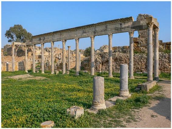 Découvrez la richesse historique et naturelle de la Tunisie La Tunisie, terre d’histoire et de paysages magnifiques, regorge de trésors cachés qui ne demandent qu’à être explorés. Parmi ces joyaux, Zaghouan, Thuburbo Majus et Dougga se distinguent comme des destinations incontournables pour les amateurs de culture, d’archéologie et de nature. Nous vous invitons à embarquer pour une journée inoubliable depuis Sousse, Hammamet, Tunis, Monastir ou Korba, pour découvrir ces lieux fascinants. Zaghouan : Le charme d’une ville montagneuse Une ville au riche patrimoine Perchée au pied du mont Zaghouan, cette charmante ville est renommée pour son cadre pittoresque et son patrimoine historique. À Zaghouan, l’histoire se dévoile à travers son Temple des Eaux, vestige impressionnant de l’époque romaine. Ce site servait autrefois de point de départ pour l’aqueduc qui alimentait Carthage en eau potable. Une nature à couper le souffle Zaghouan offre également des paysages à couper le souffle. Avec ses collines verdoyantes et ses sentiers de randonnée, c’est l’endroit idéal pour les amoureux de la nature. Les marcheurs pourront grimper jusqu’au sommet pour profiter d’une vue panoramique exceptionnelle. Thuburbo Majus : Plongée dans l’antiquité romaine Un site archéologique d’exception Situé à quelques kilomètres de Zaghouan, Thuburbo Majus est une ancienne colonie romaine qui témoigne du rayonnement de la civilisation romaine en Tunisie. En visitant ce site, vous pourrez explorer des édifices impressionnants tels que le Capitole, les thermes et les maisons décorées de mosaïques magnifiques. Un voyage dans le passé Se promener à Thuburbo Majus, c’est comme voyager dans le temps. Chaque pierre raconte une histoire, et les ruines parfaitement conservées permettent d’imaginer la vie quotidienne des habitants de l’époque. Les passionnés d’histoire et de photographie y trouveront leur bonheur. Dougga : Une merveille classée au patrimoine mondial de l’UNESCO Le théâtre romain : Une architecture époustouflante Dougga est considérée comme l’un des sites archéologiques les mieux préservés d’Afrique du Nord. Son théâtre romain, capable d’accueillir jusqu’à 3500 spectateurs, est une véritable prouesse architecturale. Imaginez-vous assis là, contemplant le paysage tout en imaginant les spectacles qui s’y déroulaient il y a des siècles. Un patrimoine à explorer Outre le théâtre, Dougga regorge de monuments impressionnants, notamment le temple de Saturne, les thermes de Licinius et la place de la Rose-des-Vents. Ce site vous offre une immersion totale dans l’histoire romaine, tout en vous permettant d’admirer un cadre naturel exceptionnel. Pourquoi choisir notre excursion ? Une organisation sans faille Nous nous engageons à vous offrir une expérience unique et mémorable. Nos excursions sont organisées avec le plus grand soin pour vous garantir un confort optimal tout au long de la journée. De la prise en charge dans votre ville de départ à la visite guidée des sites, tout est prévu pour que vous puissiez profiter pleinement de votre journée. Des guides experts à vos côtés Nos guides, passionnés et expérimentés, vous accompagneront à chaque étape de votre voyage. Ils partageront avec vous leurs connaissances approfondies sur l’histoire et les particularités des lieux visités, pour rendre votre expérience encore plus enrichissante. Des tarifs compétitifs Nous proposons des tarifs adaptés à tous les budgets, sans compromis sur la qualité des services. De plus, vous avez la possibilité de personnaliser votre excursion selon vos préférences et vos besoins. Détails pratiques de l’excursion Durée : Une journée complète (environ 8 heures) Ville de départ : Sousse, Hammamet, Tunis, Monastir ou Korba Inclus : Transport confortable, guide professionnel, entrées aux sites Non inclus : Repas et boissons Pour plus d’informations ou pour réserver votre place, rendez-vous sur notre site Sud Tunisie ou contactez-nous directement via ce formulaire. Conclusion : Une aventure à ne pas manquer Explorer Zaghouan, Thuburbo Majus et Dougga, c’est plonger au cœur de l’histoire et de la beauté naturelle de la Tunisie. Que vous soyez passionné d’archéologie, amateur de randonnée ou simplement à la recherche d’une expérience unique, cette excursion répondra à toutes vos attentes. Alors, n’attendez plus et laissez-vous tenter par cette aventure inoubliable.