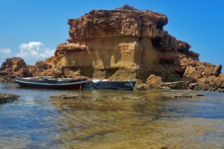 Cap Bon, situé au nord-est de la Tunisie, est une destination prisée pour ses paysages époustouflants, ses plages idylliques et son riche patrimoine culturel. Que vous soyez à Sousse, Hammamet, Tunis, Monastir ou Korba, une excursion à Cap Bon promet des découvertes inoubliables. Dans cet article, nous vous guiderons à travers les merveilles de cette région, les activités à ne pas manquer, les itinéraires depuis vos points de départ et des conseils pratiques pour une expérience optimale. Découverte de la Beauté Naturelle de Cap Bon Cap Bon est souvent appelé le "Jardin de Tunisie" grâce à sa végétation luxuriante, ses oliveraies et ses vergers. La région est également célèbre pour ses plages de sable fin bordées de pins et ses criques cachées qui offrent des panoramas à couper le souffle. Les Plages Paradisiaques Parmi les joyaux de Cap Bon, on retrouve Sidi El Béchir et La Marsa. Ces plages sont parfaites pour se détendre, nager ou pratiquer des sports nautiques. Les eaux cristallines et le sable doré créent un cadre idéal pour une journée de farniente sous le soleil tunisien. Les Jardins et Vignobles Cap Bon abrite également de magnifiques jardins comme le Jardin Habib Bourguiba à Nabeul. Ces espaces verts sont parfaits pour une promenade paisible ou un pique-nique en famille. De plus, les vignobles de la région produisent certains des meilleurs vins tunisiens, offrant aux visiteurs l'opportunité de déguster des crus locaux. Les Sites Historiques et Culturels L'histoire riche de Cap Bon est visible à travers ses nombreux sites archéologiques et monuments historiques. Le Thaures, une ancienne ville romaine, ou encore le Capoue avec ses vestiges punique et romain, sont des étapes incontournables pour les amateurs d'histoire. Activités Incontournables lors de Votre Excursion Une excursion à Cap Bon ne serait pas complète sans participer à certaines des activités phares de la région. Voici quelques suggestions pour enrichir votre séjour. Randonnée et Trekking Les collines de Cap Bon offrent des sentiers de randonnée pour tous les niveaux. La randonnée jusqu'au Mont Ousselati offre des vues panoramiques sur la côte et les terres agricoles environnantes. C'est une excellente façon de découvrir la faune et la flore locales tout en profitant d'un peu d'exercice en plein air. Visite des Marchés Locaux Les marchés de Cap Bon, comme le Marché de Nabeul, sont des lieux animés où vous pouvez découvrir l'artisanat local, les produits frais et les spécialités culinaires tunisiennes. C'est l'endroit idéal pour acheter des souvenirs uniques et goûter à la cuisine traditionnelle. Excursions en Bateau Pour une expérience mémorable, envisagez une excursion en bateau le long de la côte de Cap Bon. Vous pourrez admirer les paysages marins, explorer des criques isolées et peut-être même observer des dauphins dans leur habitat naturel. Dégustation de Produits Locaux Ne manquez pas l'occasion de déguster les spécialités locales telles que le couscous, le tajine et les pâtisseries tunisiennes. Les restaurants de Cap Bon offrent une variété de plats délicieux préparés avec des ingrédients frais et locaux. Itinéraires Personnalisés Depuis les Principales Villes Que vous partiez de Sousse, Hammamet, Tunis, Monastir ou Korba, plusieurs itinéraires vous permettront de profiter pleinement de Cap Bon. Depuis Sousse Sousse est un point de départ idéal pour une excursion à Cap Bon. En environ une heure de route, vous pouvez rejoindre Nabeul, le cœur de la région, et commencer votre exploration par les plages, les marchés et les sites historiques. Depuis Hammamet Depuis Hammamet, dirigez-vous vers le nord-ouest pour atteindre les magnifiques plages de Kelibia et découvrez le parc national de Cap Bon. Cet itinéraire vous offre un mélange parfait de détente balnéaire et de découvertes naturelles. Depuis Tunis Depuis Tunis, le trajet vers Cap Bon prend environ 2 heures. Vous pouvez faire un arrêt à Carthage pour une immersion dans l'histoire, puis continuer vers les charmantes villes de La Goulette et de Kelibia. Depuis Monastir et Korba Depuis Monastir et Korba, l'accès à Cap Bon se fait via des routes bien entretenues, offrant un voyage confortable. Ces villes côtières offrent également des attractions intéressantes avant ou après votre excursion à Cap Bon. Pour des circuits désert passionnants dans la région, consultez Sud Tunisie - Circuits Désert. Conseils Pratiques pour une Excursion Réussie Pour profiter pleinement de votre excursion à Cap Bon, voici quelques conseils pratiques à garder à l'esprit. Meilleur Moment pour Visiter Le printemps et l'automne sont les meilleures saisons pour visiter Cap Bon, grâce à des températures agréables et une nature en pleine floraison. L'été peut être très chaud, surtout dans les zones intérieures. Préparation et Équipement Assurez-vous de porter des vêtements confortables et adaptés aux activités prévues. N'oubliez pas la crème solaire, un chapeau et des chaussures de randonnée si vous prévoyez de faire de la marche. Emportez également suffisamment d'eau et des en-cas pour rester hydraté et énergisé tout au long de la journée. Sécurité et Santé Cap Bon est généralement une région sûre pour les touristes. Cependant, il est toujours recommandé de suivre les consignes locales et de rester vigilant, surtout dans les zones très fréquentées. Si vous avez des conditions médicales particulières, assurez-vous d'avoir les médicaments nécessaires à portée de main. Respect de l'Environnement Lors de votre visite, veillez à respecter l'environnement local. Évitez de laisser des déchets derrière vous et respectez la faune et la flore. Contribuez ainsi à la préservation de cette magnifique région pour les générations futures. Options de Transport Pour une excursion confortable, envisagez de louer une voiture ou de réserver une visite guidée avec un transport inclus. Cela vous permettra de vous déplacer facilement entre les différentes attractions sans stress. Réservez Votre Excursion à Cap Bon dès Aujourd'hui Prêt à découvrir les merveilles de Cap Bon ? Ne manquez pas l'opportunité de vivre une expérience inoubliable en Tunisie. Pour plus d'informations ou pour réserver votre excursion, visitez Sud Tunisie - Devis Voyage Désert. Cap Bon vous attend avec ses paysages variés, son patrimoine riche et son accueil chaleureux. Que vous soyez amateur de nature, passionné d'histoire ou simplement à la recherche de détente, cette région a tout pour plaire. Planifiez votre voyage dès maintenant et préparez-vous à vivre des moments mémorables au cœur de la Tunisie.