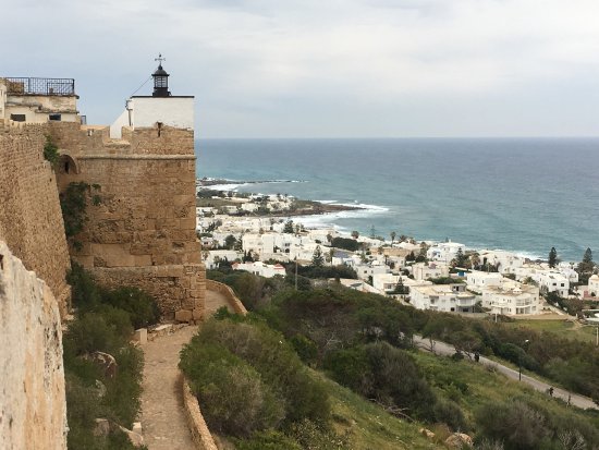 Le Cap Bon, situé dans le nord-est de la Tunisie, est l'une des régions les plus fascinantes du pays. Son mélange unique de paysages pittoresques, de plages magnifiques, de sites historiques et de culture locale en fait une destination idéale pour une excursion. Si vous séjournez à Sousse, Hammamet, Tunis, Monastir ou Korba, une visite de cette région vous offrira une immersion complète dans la beauté de la Tunisie. Dans cet article, nous vous guiderons à travers les incontournables de cette excursion et vous donnerons toutes les informations nécessaires pour en profiter au maximum. 1. Le Cap Bon : Un Endroit Idéal pour S'évader Le Cap Bon est une péninsule qui s'avance dans la mer Méditerranée, bordée de plages dorées et de collines verdoyantes. Ce lieu combine à la fois la mer, la montagne et des vestiges historiques qui racontent l’histoire de la région. Que vous soyez amateur de nature, d’histoire ou de détente sur la plage, le Cap Bon a tout ce qu'il faut pour satisfaire vos attentes. Depuis des villes comme Sousse, Hammamet, Monastir, Tunis et Korba, vous pouvez rejoindre facilement le Cap Bon. Si vous partez de Sousse, le trajet prendra environ une heure et demie. Depuis Tunis, c’est un peu plus de 2 heures de route pour arriver dans cette région magnifique, pleine de charme. 2. Découvrir Kelibia : Une Ville Historique et Son Fort Imposant Le premier arrêt incontournable dans le Cap Bon est la ville de Kelibia, située à environ 20 kilomètres au nord de la péninsule. Kelibia est célèbre pour son fort de Kelibia, une forteresse médiévale qui domine la mer et offre une vue panoramique exceptionnelle. Le fort, datant de l’époque des Byzantins, a été restauré au fil des siècles et reste un symbole important de la ville. Lors de votre visite à Kelibia, vous pourrez flâner dans les rues pittoresques de la médina et profiter des nombreuses boutiques d'artisanat local, avant de vous rendre sur les plages de Kelibia, réputées pour leur sable fin et leurs eaux cristallines. Vous pouvez aussi découvrir les vestiges de l’ancien port et apprécier le calme et la beauté de cette ville côtière. 3. Nabeul : La Capitale de la Céramique et des Marchés Colorés Ensuite, direction Nabeul, une ville vibrante et pleine de vie. Connue comme la capitale de la céramique, Nabeul est l’endroit idéal pour acheter des souvenirs typiques de la région. Vous y trouverez une multitude de poteries et de céramiques décoratives réalisées par des artisans locaux. Ne manquez pas le souks de Nabeul, un marché traditionnel où vous pouvez dénicher des épices, des tapis et des produits artisanaux en tout genre. Nabeul est aussi célèbre pour ses plages qui s'étendent sur des kilomètres. Les plages de Hammamet et Nabeul sont idéales pour ceux qui souhaitent se détendre au bord de la mer. Les eaux sont chaudes, parfaites pour la baignade et les activités nautiques. 4. Le Parc National de l’Ichkeul : Un Refuge de Biodiversité Si vous êtes amateur de nature, une excursion au Parc National de l’Ichkeul s’impose. Situé à environ une heure au sud de Kelibia, le parc est classé Patrimoine Mondial de l'UNESCO. C’est l'un des derniers grands lacs d'eau douce en Afrique du Nord et un site de migration crucial pour les oiseaux. Le parc est idéal pour une randonnée à travers des paysages variés, entre montagnes, forêts et marais. Les visiteurs peuvent observer une grande variété d’animaux et d’oiseaux, notamment des flamants roses, des canards et des aigles. C’est l’endroit parfait pour ceux qui veulent s’évader au cœur de la nature tunisienne. 5. Les Plages de Hammamet : Une Escapade Parfaite pour les Amoureux de la Mer La ville de Hammamet, à seulement une heure de Tunis, est une destination balnéaire par excellence. Ses plages, son climat doux et son ambiance détendue en font un lieu de prédilection pour ceux qui recherchent des vacances reposantes. Hammamet regorge également de hôtels de luxe et de complexes touristiques qui offrent des services haut de gamme. La ville est également riche en histoire, avec la médina de Hammamet et la kasbah à explorer. Vous pourrez vous promener dans ses ruelles étroites et admirer les maisons blanches typiques de la région. La médina de Hammamet est aussi un endroit idéal pour acheter des produits artisanaux, comme des bijoux et des textiles. 6. La Route du Cap Bon : Un Voyage Scénique Inoubliable L'une des expériences les plus agréables lors d'une excursion dans le Cap Bon est de suivre la route du Cap Bon. Ce trajet pittoresque vous offre une vue imprenable sur la mer Méditerranée et vous permet de découvrir des paysages variés. En suivant cette route, vous passerez par des petits villages charmants, des vergers d’agrumes et des champs de vignes. Vous pourrez vous arrêter à différents endroits pour prendre des photos, déguster des fruits frais ou même découvrir des sites historiques moins connus. C’est une manière idéale de profiter du calme et de la beauté du Cap Bon. 7. Où Manger dans le Cap Bon : Une Cuisine Authentique et Savoureuse Le Cap Bon est aussi un endroit idéal pour découvrir la gastronomie tunisienne. La région est réputée pour ses fruits de mer frais et ses plats à base d’herbes et d’épices. À Kelibia et Nabeul, vous trouverez de nombreux restaurants servant des couscous, des bricks (feuilletés frits garnis de viande ou de légumes) et des plats à base de poisson frais. Les salades tunisiennes, comme la salade Méchouia (salade de légumes grillés), et les desserts à base de fruits frais sont aussi à ne pas manquer. Ne quittez pas le Cap Bon sans avoir goûté à un café turc dans l’un des nombreux cafés traditionnels de la région. 8. Pourquoi Choisir une Excursion dans le Cap Bon ? L’excursion dans le Cap Bon est idéale pour ceux qui souhaitent combiner découverte historique, détente au bord de la mer et exploration de la nature. La région offre une variété d’activités pour tous les goûts : baignade, randonnée, visites culturelles et gastronomiques. Que vous soyez seul, en couple ou en famille, cette excursion saura vous charmer. Si vous êtes à la recherche d’une expérience plus complète, vous pouvez envisager de prolonger votre séjour et de découvrir les alentours du Cap Bon, comme les célèbres oasis du sud tunisien ou les sites archéologiques de Carthage. Pour plus d'informations sur d'autres circuits dans le désert et les régions environnantes, vous pouvez consulter notre site : Circuit Désert Sud Tunisie. Conclusion : Un Séjour Inoubliable au Cap Bon Le Cap Bon est une destination incontournable pour tous ceux qui souhaitent découvrir une autre facette de la Tunisie. Son mélange de culture, d’histoire, de nature et de détente en fait l’endroit idéal pour une excursion mémorable. Que vous soyez à Sousse, Hammamet, Tunis, Monastir ou Korba, le Cap Bon vous offre un voyage inoubliable, riche en découvertes et en émotions. Pour plus d’informations ou pour réserver votre excursion, n’hésitez pas à nous contacter via ce lien : Devis Voyage Désert Sud Tunisie.
