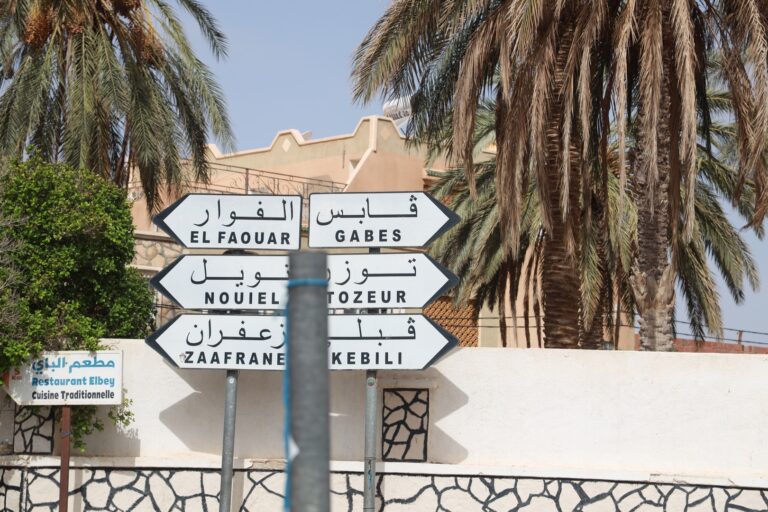 Le Grand Sahara tunisien est une destination fascinante pour tous ceux qui rêvent d’évasion et d’aventures. Avec ses vastes dunes dorées, ses oasis rafraîchissantes et ses villages traditionnels, cette région regorge de merveilles à découvrir. Que vous soyez amateur de sensations fortes ou simplement à la recherche de sérénité, le désert tunisien offre une multitude d'activités et de circuits personnalisés pour tous les goûts. Découvrir le Sahara tunisien : une expérience unique Explorer le Sahara tunisien, c'est plonger dans un univers mystérieux où la nature impose sa grandeur. Des couchers de soleil spectaculaires aux nuits étoilées, chaque instant passé dans le désert est une invitation à la contemplation. Les dunes de sable à perte de vue : Rien n’égale la sensation de marcher sur les dunes infinies de l’Erg oriental. Ces formations naturelles, constamment remodelées par le vent, créent un paysage en perpétuel mouvement. Les oasis paradisiaques : Chebika, Tamerza ou encore Ksar Ghilane sont des arrêts incontournables. Ces havres de paix offrent une végétation luxuriante contrastant avec la rudesse du désert. Les villages berbères : Visiter des lieux comme Matmata, célèbre pour ses maisons troglodytes, permet de découvrir un mode de vie ancestral. Pour plus d’informations sur les excursions disponibles, visitez Sud Tunisie Voyages. Les circuits d’excursion : une immersion totale Nous proposons des circuits sur mesure qui répondent à toutes vos attentes. Voici quelques suggestions pour une expérience complète : 1. Excursions en 4x4 : l’aventure tout-terrain Les circuits en 4x4 sont parfaits pour explorer les zones les plus reculées du Sahara tunisien. Avec un guide expérimenté, vous pourrez découvrir : Le lac salé de Chott el-Jérid : Un paysage surréaliste où le sel forme des motifs éblouissants au soleil. Douz, la porte du désert : Cette ville emblématique est le point de départ de nombreuses aventures. Les ksours de Tatouine : Ces anciens greniers fortifiés sont des témoins vivants de l'histoire locale. 2. Randonnées chamelières : retour aux sources Pour une expérience plus authentique, pourquoi ne pas opter pour une randonnée à dos de dromadaire ? Vous aurez l’occasion de : Vivre au rythme des nomades. Admirer les paysages changeants au gré de vos étapes. Passer la nuit sous une tente bédouine, un moment magique sous les étoiles. 3. Séjours dans les campements de luxe Si vous préférez allier confort et aventure, les campements haut de gamme sont faits pour vous. Vous bénéficierez de : Tentes climatisées avec toutes les commodités modernes. Dégustation de plats traditionnels préparés sur place. Animations culturelles avec de la musique et des danses folkloriques. 4. Exploration des montagnes et oasis Les montagnes de l’Atlas et leurs oasis cachées sont des joyaux à explorer : Chebika : Une oasis perchée offrant des vues à couper le souffle. Tamerza : Célèbre pour ses cascades et ses canyons. Mides : Un décor naturel parfait pour les amateurs de photographie. Vivre des moments inoubliables Le Sahara tunisien n’est pas seulement une destination, c’est une expérience à part entière. Voici quelques activités à ne pas manquer : Lever de soleil sur les dunes : Un moment magique qui restera gravé dans votre mémoire. Ateliers de poterie traditionnelle : Apprenez les techniques artisanales transmises de génération en génération. Dégustation de dattes de Ksar Ghilane : Laissez-vous tenter par les délices locaux. Planifiez votre voyage avec nous Le Sahara tunisien est une destination qui se prépare. Notre équipe est à votre disposition pour organiser un voyage sur mesure. Que vous soyez un voyageur solitaire, en famille ou en groupe, nous adaptons nos services pour une expérience unique. Pour toute demande de devis ou d'informations complémentaires, rendez-vous sur Sud Tunisie Devis Voyage. Pourquoi choisir le Sahara tunisien ? Le Sahara tunisien se distingue par sa facilité d’accès, son hospitalité et la richesse de son patrimoine culturel. Avec des options pour tous les budgets et des circuits adaptés à vos envies, c’est une destination incontournable pour les amoureux de la nature et de l’aventure. N'attendez plus pour vivre une expérience hors du commun dans le Sahara tunisien. Contactez-nous et laissez-nous transformer vos rêves en réalité !