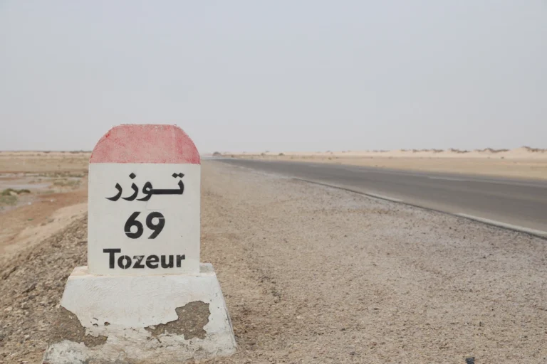 Situé au cœur du sud tunisien, Tozeur est une destination de choix pour les amateurs de déserts et d’émotions fortes. Ses paysages grandioses, sa culture riche et son patrimoine unique en font un lieu magique à explorer. Que vous soyez à la recherche d’une aventure hors des sentiers battus ou d’une immersion culturelle, cet article vous guidera à travers les incontournables de la région. Pourquoi choisir Tozeur pour votre prochaine escapade ? Tozeur, souvent appelée la "perle du désert", offre une expérience unique où se mêlent traditions ancestrales et paysages époustouflants. Son climat chaleureux, sa proximité aux oasis et ses nombreuses activités en plein air attirent chaque année des milliers de visiteurs. Un patrimoine naturel exceptionnel : Entre le Chott El-Jérid, un lac salé mythique, et les montagnes oasiennes comme Chebika, Tozeur regorge de sites naturels spectaculaires. Une histoire fascinante : Avec son architecture typique en briques de sable et son riche passé berbère et arabe, Tozeur offre un voyage dans le temps. Des activités variées : De la randonnée à dos de chameau à la découverte des villages perchés, vous ne manquerez pas d’idées pour vous divertir. Les incontournables de Tozeur et ses environs 1. Explorez la médina de Tozeur Le centre historique de Tozeur, appelé également Ouled el-Hadef, est un véritable labyrinthe de ruelles pavées et d’édifices en briques ocre. Ces briques, disposées dans des motifs géométriques, confèrent à la ville une identité architecturale unique. Ne manquez pas : La visite des ateliers artisanaux où vous pourrez voir des artisans façonner des tapis, des poteries et des objets en cuir. Astuce : Prévoyez une balade en fin de journée pour profiter de l’ambiance authentique au coucher du soleil. 2. Le Chott El-Jérid : un lac salé surréaliste À seulement quelques kilomètres de Tozeur, le Chott El-Jérid est une mer de sel à perte de vue. Ce lieu mystique change de couleur en fonction de la lumière, passant du blanc éclatant au rose et au violet. Expérience recommandée : Faites une halte pour admirer les cristaux de sel et photographier ce paysage digne d’une carte postale. Conseil : Portez des lunettes de soleil et des chaussures fermées pour une visite confortable. 3. Les oasis de montagne : Chebika, Tamerza et Midès Les oasis de montagne sont des joyaux cachés dans les hauteurs de la région. Ces villages, nichés entre les falaises, offrent une vue spectaculaire sur le désert et les cascades environnantes. Chebika : Surnommée la "balkon du désert", cette oasis est célèbre pour ses palmiers et ses sources d’eau cristalline. Tamerza : Un ancien village berbère abandonné, parfait pour les amateurs de photographie. Midès : Connu pour ses canyons impressionnants et ses sentiers de randonnée. 4. Douz : la porte du Sahara Pour une immersion totale dans le désert, rendez-vous à Douz. Cette petite ville, située à environ une heure de Tozeur, est le point de départ idéal pour une excursion dans les dunes de sable. Activités à faire : Balade en 4x4, dîner sous les étoiles, ou encore nuit dans un campement traditionnel. Lien utile : Réservez votre excursion à Douz ici. Les activités incontournables à Tozeur 1. Une balade à dos de chameau Il n’y a rien de plus authentique que de découvrir le désert à dos de chameau. Cette activité permet de s’immerger pleinement dans la vie nomade et de profiter de la tranquillité des dunes. 2. Le musée Dar Chraït Ce musée privé propose une collection fascinante d’objets d’art, de costumes traditionnels et de reconstitutions historiques. C’est l’occasion d’en apprendre davantage sur la culture et les traditions locales. 3. Circuit en quad ou en buggy Pour les amateurs de sensations fortes, une balade en quad ou en buggy dans le désert est une expérience inoubliable. Ces circuits vous emmènent hors des sentiers battus pour explorer les coins les plus reculés de la région. 4. Dégustation de dattes à Deglet Nour Tozeur est réputée pour ses dattes Deglet Nour, souvent appelées les "reines des dattes". Une visite aux palmeraies locales vous permettra de savourer ces fruits d’exception directement depuis les arbres. Planifiez votre voyage à Tozeur Pour organiser au mieux votre escapade, il est préférable de faire appel à des professionnels locaux. Ils sauront vous proposer des circuits adaptés à vos envies et garantir une expérience sécurisée. Réservation facile : Pour en savoir plus et obtenir un devis personnalisé, cliquez ici : Demandez votre devis. Meilleure période : Préférez les mois de mars à mai ou d’octobre à novembre pour éviter les fortes chaleurs. Conclusion : Une expérience à ne pas manquer Tozeur est bien plus qu’une simple destination. C’est un voyage à travers le temps, la nature et les traditions. Que vous soyez en quête de dépaysement, d’aventures ou de calme, Tozeur saura vous charmer. Alors, préparez vos valises et laissez-vous emporter par la magie du désert tunisien.