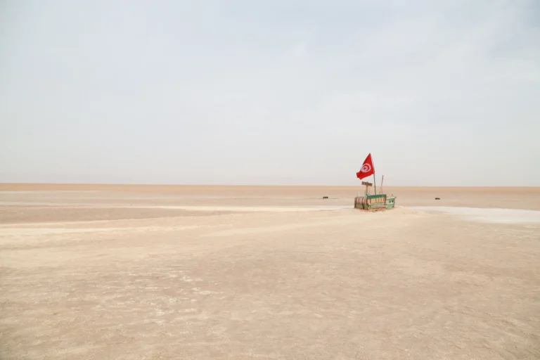 Nous proposons une approche complète et immersive pour découvrir Douz, cette porte emblématique du désert tunisien. Située aux confins du Grand Erg Oriental, cette oasis constitue un point de départ idéal pour explorer le Sahara, ses dunes ondulantes, ses campements nomades et sa riche culture locale. Avec nos circuits et excursions, nous vous invitons à vivre des moments inoubliables, à la fois dépaysants et profondément authentiques. Douz, l’Oasis Saharienne au Charme Inépuisable Douz, souvent surnommée la « Porte du Sahara », incarne cette image de l’aventure que beaucoup recherchent. Nichée au sud de la Tunisie, elle s’entoure de paysages désertiques et de champs de palmiers, formant un contraste saisissant entre l’abondance végétale et l’immensité minérale. Son atmosphère paisible nous plonge dans une ambiance hors du temps, où chaque recoin raconte une histoire millénaire. En parcourant les ruelles de cette bourgade, nous découvrons un marché animé, des habitants chaleureux, et l’authenticité d’un mode de vie encore fortement ancré dans la tradition. La Rencontre avec les Habitants et l’Artisanat Local Au cœur de Douz, chaque artisan, chaque vendeur de dattes ou de produits traditionnels, nous accueille avec un sourire sincère. Nous y trouvons des étoffes aux couleurs chatoyantes, des poteries, des bijoux en argent, et toute une gamme de produits de terroir qui reflètent l’âme saharienne. Nous vous conseillons de prendre le temps de discuter avec ces hommes et ces femmes. Leur fierté, leur humour, leurs anecdotes sur les caravanes d’antan, nourriront votre expérience et vous feront comprendre la véritable valeur du désert et de ses traditions. Plongée dans l’Immensité du Désert : Les Circuits Incontournables Notre sélection de circuits et d’excursions au départ de Douz met l’accent sur la variété, l’authenticité et l’immersion totale. Que vous soyez amateur d’adrénaline, curieux de traditions nomades ou simplement en quête de sérénité, nous proposons un large éventail d’options adaptées à vos envies. De la courte balade à dos de dromadaire jusqu’à l’expédition plus longue, nous vous accompagnons pour un voyage qui marquera durablement votre mémoire. Le Circuit Classique : Balade à Dos de Dromadaire sur les Dunes Impossible d’évoquer Douz sans mentionner la traditionnelle excursion à dos de dromadaire. Nous proposons une balade douce et silencieuse à travers les dunes dorées, au rythme lent du compagnon saharien par excellence. Le but n’est pas seulement de cocher une case dans la liste des choses à faire, mais d’apprécier chaque instant, chaque souffle du vent, chaque grain de sable. Cette expérience sensorielle, mêlant silence apaisant et beauté minimaliste, nous offre une parenthèse intemporelle, loin de l’agitation du monde. Les Circuits 4x4 : Exploration Hors-Piste dans le Grand Erg Oriental Pour ceux d’entre nous qui souhaitent explorer davantage le désert, les circuits en 4x4 constituent une option idéale. Nous empruntons des pistes sablonneuses, contournons d’énormes dunes, traversons des paysages lunaires, et faisons étape dans des campements nomades. Ces expéditions nous permettent de découvrir la variété des panoramas sahariens, des plaines rocailleuses aux reliefs ondoyants, tout en profitant d’un confort appréciable. Les arrêts réguliers pour immortaliser la beauté des lieux, déguster un thé à la menthe ou admirer un coucher de soleil flamboyant font de ces circuits de véritables aventures sensorielles. Pour en savoir plus sur les circuits disponibles, consultez notre sélection complète. La Méharée : Une Immersion Prolongée dans la Vie Nomade Si l’idée de vivre pendant plusieurs jours au rythme du désert vous séduit, la méharée est le circuit qu’il vous faut. Nous accompagnons une caravane, composée de dromadaires et de guides locaux expérimentés, sur plusieurs jours à travers des espaces encore plus isolés. Les journées se partagent entre la marche tranquille sur des dunes infinies, les haltes pour se restaurer sous une tente berbère et les veillées au coin du feu. La nuit, un ciel cristallin se révèle, recouvert de myriades d’étoiles scintillantes. Dans le silence nocturne, nous apprenons à écouter notre propre respiration, à ressentir chaque sensation, à redécouvrir la simplicité de l’instant présent. Astuces et Conseils pour un Séjour Réussi à Douz Réussir son séjour à Douz et en faire une expérience mémorable nécessite un minimum de préparation. Nous recommandons, entre autres, de porter des vêtements légers mais couvrants, un chapeau ou un keffieh pour se protéger du soleil, et des chaussures confortables. Le désert exige de l’adaptation, et le confort physique participe grandement au plaisir de la découverte. Quand Partir et Combien de Temps Rester ? Les saisons intermédiaires, comme le printemps et l’automne, sont particulièrement agréables. Les journées sont chaudes sans être étouffantes, et les nuits restent douces. Nous conseillons de rester au moins quelques jours pour apprécier pleinement la diversité des paysages et la richesse culturelle de la région. Un court passage peut offrir un aperçu intéressant, mais c’est en prenant le temps de s’imprégner des lieux que l’on savoure le mieux leur âme profonde. La Logistique sur Place et l’Hébergement en Campement Douz dispose de plusieurs options d’hébergement, des hôtels confortables aux campements dans le désert. Nous privilégions souvent les campements traditionnels, avec des tentes et des espaces communs, où l’on peut partager des soirées sous les étoiles. C’est une excellente manière de s’immerger dans la culture locale, de rencontrer d’autres voyageurs, et de profiter du silence apaisant du Sahara. Les repas, généralement préparés sur place, mettent en avant la cuisine tunisienne, avec des tajines parfumés, des couscous riches en légumes, des salades fraîches et des fruits secs pour faire le plein d’énergie. Rencontrer les Nomades : Un Échange Culturel Inoubliable Les circuits plus longs offrent souvent la possibilité de rencontrer des familles nomades qui continuent de vivre dans le désert, perpétuant des traditions ancestrales. Ces rencontres sont l’occasion de mieux comprendre leur mode de vie, fondé sur le respect mutuel, la solidarité, et un sens aigu de l’adaptation. Nous prenons le temps d’écouter leurs récits, de découvrir leurs astuces pour survivre dans un environnement exigeant, et de partager des moments simples autour du feu. Ces échanges offrent un regard unique sur une culture fascinante, nous faisant réaliser à quel point notre vision du quotidien peut paraître différente. Les Highlights Naturels Autour de Douz : Lacs Salés, Oasis et Ksour Douz n’est pas uniquement le point de départ vers les dunes. Aux alentours, nous découvrons d’autres curiosités naturelles et architecturales qui complètent harmonieusement notre séjour. Les lacs salés, à l’image du Chott el-Jérid, offrent des panoramas étonnants, où la lumière joue sur la surface blanche et craquelée du sol, créant parfois des illusions d’optique surprenantes. Les oasis environnantes recèlent des jardins ombragés, des vergers, et des sources d’eau douce qui symbolisent la vie au milieu de l’aridité. Les ksour, ces anciens greniers fortifiés, racontent quant à eux l’histoire des échanges caravaniers et la nécessité de conserver précieusement les ressources. Chott el-Jérid : Le Lac Salé aux Reflets Magiques Au nord-ouest de Douz, le Chott el-Jérid se déploie comme une vaste étendue salée. Nous recommandons d’y passer, ne serait-ce que quelques heures, pour apprécier ce décor irréel. Par temps clair, la chaleur et la réverbération du soleil transforment le paysage en un véritable mirage. On a l’impression de toucher du doigt un autre monde, où la réalité se brouille et la perception s’étire. Les passionnés de photographie y trouveront de quoi enrichir leur collection d’images insolites, tandis que les rêveurs se laisseront porter par l’ambiance mystique de ce lieu unique. Tozeur, Matmata et Les Villages aux Portes du Désert Certains de nos circuits incluent également la découverte de villages reculés ou d’autres villes-oasis emblématiques, comme Tozeur, célèbre pour ses palmeraies et ses briques en terre cuite aux motifs géométriques. Nous pouvons également envisager une escapade vers Matmata, connue pour ses habitations troglodytes. Ces arrêts, stratégiquement intégrés dans notre itinéraire, enrichissent la compréhension globale du sud tunisien, en révélant la diversité des modes de vie et des adaptations humaines aux contraintes naturelles. Activités Complémentaires pour Approfondir votre Découverte de Douz Au-delà des excursions classiques, Douz propose une variété d’expériences qui sauront divertir, surprendre ou intéresser les voyageurs les plus exigeants. Nous recommandons quelques activités complémentaires pour approfondir votre immersion. Ateliers de Cuisine Locale et Dégustations Gourmandes La cuisine locale, généreuse et parfumée, constitue un univers de saveurs à explorer. Nous pouvons organiser des ateliers de cuisine au sein des campements ou des hébergements partenaires. L’occasion de mettre la main à la pâte, d’apprendre à préparer un couscous traditionnel, un pain cuit dans le sable ou un thé saharien. Ces moments culinaires sont souvent sources de franches rigolades, d’anecdotes partagées, et se concluent par une dégustation en bonne et due forme. L’opportunité de se régaler tout en apprenant un savoir-faire ancestral. Balades au Coucher du Soleil : Quand Le Désert s’Endort Assister à un coucher de soleil dans le désert est une expérience transcendante. Les dunes se parent de nuances d’orange, de rose et de rouge, tandis que l’ombre s’allonge et que la température se rafraîchit. Nous pouvons prévoir une balade en fin de journée, à pied ou à dos de dromadaire, pour profiter de cet instant magique. Les contrastes de couleurs, le silence qui s’installe progressivement, et l’impression d’être seul au monde composent un tableau inoubliable. Au retour, la nuit saharienne s’ouvre, et le ciel, débarrassé de toute pollution lumineuse, nous offre un spectacle céleste grandiose. Initiation aux Rituels et Fêtes Locales Si votre séjour coïncide avec un événement culturel, une fête nomade ou une célébration religieuse, n’hésitez pas à y participer. Nous pouvons vous accompagner pour assister à des danses traditionnelles, des musiques folkloriques, ou des rassemblements festifs dans la palmeraie. Ces moments festifs sont des passerelles vers la vie quotidienne des habitants, loin des clichés, et permettent de saisir la subtilité des liens entre l’homme, la nature et la spiritualité. Organiser votre Excursion et Circuit Douz avec Nous Nous vous aidons à construire votre programme sur mesure, tenant compte de vos souhaits, de votre budget et de vos contraintes de temps. En privilégiant l’authenticité, la diversité des expériences et la qualité de l’accompagnement, nous visons à vous offrir un séjour à la hauteur de vos attentes. Pour obtenir un devis personnalisé ou plus d’informations, consultez notre formulaire de contact. Une Expérience Authentique et Personnalisée Notre expertise dans l’organisation de circuits et d’excursions à Douz repose sur notre connaissance du terrain, nos contacts locaux et notre passion pour le désert. Nous ne cherchons pas à proposer une expérience standardisée, mais à adapter nos offres pour répondre aux désirs de chacun. Que vous souhaitiez vous concentrer sur une activité en particulier, découvrir plusieurs régions, approfondir la rencontre avec les nomades, ou vous adonner à la photographie, nous mettons tout en œuvre pour bâtir un itinéraire unique. La Sécurité Avant Tout Le désert est un milieu naturel exigeant, et la sécurité est toujours au cœur de nos préoccupations. Nous travaillons avec des guides expérimentés, formés aux spécificités du territoire, et équipés pour faire face aux aléas climatiques. L’eau, l’orientation, la connaissance des pistes, la compréhension des signaux du désert, tout cela fait partie intégrante de notre approche. Notre ambition est de vous permettre de vivre une aventure intense, sans jamais sacrifier votre bien-être. Conclusion : Un Voyage Inoubliable dans le Sahara Tunisien Douz ouvre la porte sur un univers de dunes, de silence et de traditions millénaires. Nos excursions et circuits offrent l’occasion de saisir l’essence profonde du désert, de comprendre la relation intime entre l’homme et son environnement, et de créer des souvenirs qui resteront gravés dans votre mémoire. Entre l’accueil chaleureux des habitants, la beauté brute des paysages, la douceur des nuits étoilées et la richesse des échanges interculturels, Douz vous invite à vivre une aventure unique.