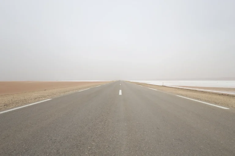 Le sud tunisien, région fascinante et mystérieuse, vous invite à un voyage inoubliable au cœur du désert. Avec ses dunes dorées, ses villages pittoresques et ses paysages à couper le souffle, cette partie du pays offre une expérience unique. Voici un guide complet pour organiser votre excursion et circuit dans le sud tunisien, une aventure qui restera gravée dans vos mémoires. Découverte de Djerba : La porte d’entrée du sud tunisien Djerba, surnommée l’île des rêves, est souvent le point de départ des circuits dans le sud tunisien. Cette île paradisiaque est célèbre pour ses plages immaculées, son artisanat unique et sa culture riche. Plages et activités nautiques : Djerba offre des plages magnifiques parfaites pour la détente. Vous pouvez aussi pratiquer des sports nautiques comme le kitesurf ou la plongée sous-marine. Patrimoine culturel : Visitez la synagogue de la Ghriba, un joyau architectural et spirituel. Promenez-vous dans Houmt Souk, la capitale de l’île, pour découvrir ses marchés traditionnels et ses œuvres de street art. Départ vers l’aventure : Depuis Djerba, il est facile de rejoindre des circuits organisés qui vous emmèneront dans le désert. Tatouine et ses ksours : Une immersion dans l’histoire berbère Tatouine, célèbre pour ses paysages qui ont inspiré les décors de Star Wars, est un lieu incontournable lors d’une excursion dans le sud tunisien. Les ksours : Ces anciens greniers collectifs berbères, comme Ksar Ouled Soltane ou Ksar Hadada, sont des témoignages uniques d’une architecture traditionnelle. Les villages perchés : Explorez Chenini et Douiret, deux villages troglodytes offrant des vues spectaculaires sur le désert environnant. Tatouine, ville de cinéma : Les fans de Star Wars reconnaîtront plusieurs sites utilisés dans les films. Une manière originale d’explorer l’histoire culturelle et cinématographique de la région. Douz : La porte du désert Connue comme la « porte du désert », Douz est une étape clé pour tous ceux qui souhaitent vivre une véritable expérience saharienne. Balades à dos de chameau : Rien de tel qu’une promenade sur ces « navires du désert » pour explorer les dunes immenses. Nuit sous la tente : Passez une nuit magique dans un campement bédouin, sous un ciel étoilé d’une pureté incroyable. Le festival international du Sahara : Si vous voyagez en décembre, ne manquez pas cet événement qui célèbre la culture nomade avec des courses de chameaux, des spectacles folkloriques et bien plus encore. Matmata : Les maisons troglodytes et les paysages lunaires Matmata est célèbre pour ses habitations troglodytes, creusées directement dans la roche. Ces maisons offrent une fraîcheur naturelle et un design unique. Visite des maisons troglodytes : Ces demeures particulières sont encore habitées par des familles berbères. Certaines sont ouvertes aux visiteurs, offrant un aperçu fascinant de leur mode de vie. Le décor de Star Wars : Comme Tatouine, Matmata a servi de décor à la saga Star Wars, attirant les fans du monde entier. Panorama étonnant : Admirez les paysages désertiques qui s’étendent à perte de vue, parfaits pour des photos inoubliables. Tozeur et les oasis de montagne : Un paradis vert au milieu du désert Tozeur est une ville où se mêlent tradition et modernité. Elle est entourée d’une vaste oasis et est le point de départ pour explorer les oasis de montagne comme Chebika, Tamerza et Mides. La palmeraie de Tozeur : Promenez-vous à pied ou en calèche dans cette immense oasis, où poussent des milliers de palmiers-dattiers. Les oasis de montagne : Chebika, avec ses cascades et ses ruisseaux, offre un contraste saisissant avec le désert environnant. Tamerza et Mides, quant à elles, sont connues pour leurs canyons impressionnants. Les musées et la médina : Plongez dans l’histoire de la région en visitant des musées comme Dar Cheraït et explorez les ruelles pittoresques de la médina. Informations pratiques pour un circuit réussi Pour préparer votre voyage dans le sud tunisien, voici quelques conseils utiles : Quand partir ? : Les meilleures périodes pour visiter sont le printemps et l’automne, quand les températures sont plus clémentes. Que porter ? : Prévoyez des vêtements légers mais couvrants pour vous protéger du soleil, ainsi que des chaussures confortables pour marcher. Comment réserver ? : Vous pouvez organiser votre circuit via notre site web pour découvrir toutes les options disponibles. Besoin d’un devis personnalisé ? : Remplissez notre formulaire ici pour créer un itinéraire adapté à vos envies. Pourquoi choisir un circuit dans le sud tunisien ? Explorer le sud tunisien, c’est s’immerger dans un univers de beauté naturelle et de traditions millénaires. Que vous soyez amateur de paysages désertiques, passionné d’histoire ou à la recherche d’une expérience culturelle authentique, cette région a tout pour vous séduire. Ne manquez pas cette opportunité de découvrir les merveilles du sud tunisien. Préparez votre aventure dès aujourd’hui et laissez-vous envoûter par la magie du désert.