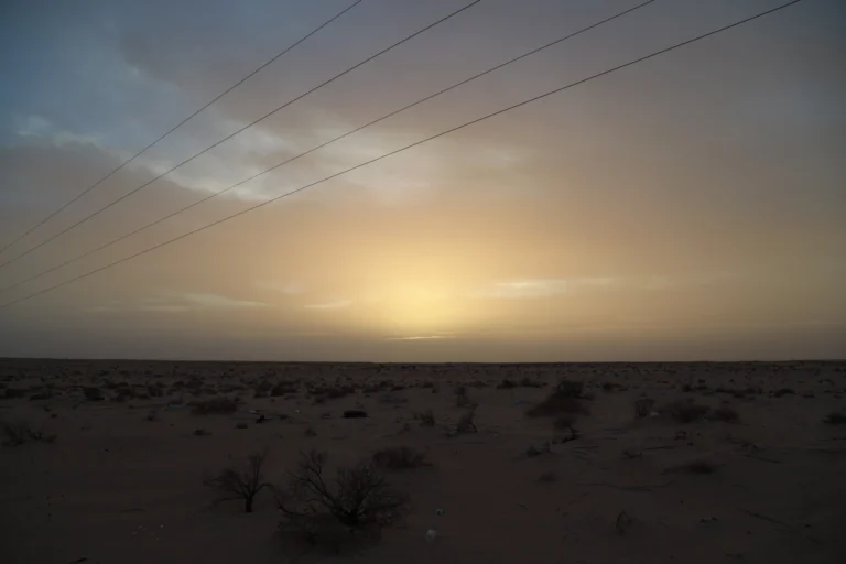 Nous souhaitons plonger au plus profond du Sud tunisien, là où le désert s’étend à perte de vue, où la culture locale nous réserve un accueil chaleureux, et où chaque circuit révèle son lot de merveilles naturelles. Le Sud de la Tunisie, c’est une promesse de silence, de paysages arides, d’oasis verdoyantes, de sable doré et d’expériences uniques. Nous y découvrons des villages troglodytes, des ksours millénaires, des oasis incroyablement fertiles et des étendues de dunes qui nous donnent l’impression d’être seuls au monde. Ce territoire, riche en traditions, en saveurs et en hospitalité, nous transporte dans un univers où le temps s’écoule différemment, entre ciel limpide et couchers de soleil flamboyants. Explorer l’univers des circuits dans le désert du Sud tunisien Nous embarquons dans le Sud tunisien avec la ferme intention de découvrir une mosaïque de paysages. Chaque excursion est un concentré d’émotions et d’images inoubliables. D’abord, nous avons ces grands lacs salés à l’horizon, comme le Chott El-Jérid, vaste étendue qui scintille sous la lumière du soleil. Plus loin, nous pénétrons dans des oasis luxuriantes, telle que Nefta ou Tozeur, où l’ombre bienveillante des palmiers contraste harmonieusement avec la chaleur sèche du désert. Les dunes de sable nous invitent à une randonnée en 4x4, à dos de dromadaire, ou même à pied pour les plus aventureux. En suivant un circuit dans le désert, nous goûtons au sentiment intense de liberté qui règne dans ces étendues sauvages. Le choix est large : circuits de quelques heures, expéditions de plusieurs jours, bivouacs sous les étoiles ou séjours en campements nomades. Chaque itinéraire peut être adapté à nos envies et à notre rythme. Nous pouvons opter pour un trajet court, afin de profiter de l’essentiel sans nous presser, ou nous lancer dans un long périple à travers des villages berbères, des ksours anciens et des plateaux rocailleux. Sur ces pistes sablonneuses, nous aurons peut-être la chance de croiser quelques réminiscences de tournages de films, comme les décors iconiques de « Star Wars », nichés au cœur du désert. Immersion dans la culture saharienne : rencontres authentiques et gastronomie locale Au cours de notre excursion dans le Sud tunisien, l’expérience humaine est tout aussi importante que la découverte des paysages. Nous sommes accueillis par des habitants fiers de leurs traditions, prêts à partager leurs histoires, leurs coutumes, et leur hospitalité légendaire. Les berbères, attachés depuis des siècles à ces terres arides, nous guident sur les sentiers du désert, nous expliquent leurs modes de vie, leur rapport à la nature, au climat, au temps qui passe. Avec eux, nous apprenons à apprécier le silence, la sobriété et la force qu’exige ce milieu. Les rencontres se font le plus souvent autour d’un thé à la menthe, dans une ambiance chaleureuse, où l’on déguste du pain cuit dans le sable, des plats mijotés aux épices douces, et des fruits secs aux saveurs subtiles. Les dattes, issues des palmeraies environnantes, sont un trésor local : sucrées, fondantes, elles constituent le carburant idéal pour poursuivre l’exploration. Nous découvrons également la gastronomie traditionnelle du Sud, avec des spécialités telles que le bsissa, la mloukhia, ou encore le couscous préparé à la mode saharienne, plus épicé, plus parfumé, auquel on ajoute parfois des herbes sauvages du désert. Ces moments culinaires sont des instants de pause, où les saveurs s’accordent avec le décor, où l’on se sent pleinement connecté à l’environnement, autant humain que naturel. Découvrir les sites emblématiques du Sud tunisien : oasis, ksours, villages troglodytes Le Sud tunisien regorge de lieux incontournables. En traversant les régions, nous savons que chaque arrêt offrira une facette différente de cette mosaïque saharienne. Chott El-Jérid : mer de sel et mirages étincelants Le Chott El-Jérid, véritable lac salé asséché, s’étend sur des kilomètres, formant une plaine blanche et brillante qui capte la lumière du soleil, créant d’étranges illusions d’optique. Au lever du jour, l’horizon semble onduler, et de fausses étendues d’eau apparaissent à l’œil nu. Au coucher du soleil, la palette de couleurs évolue vers des tons rose et orangé, conférant à l’endroit une atmosphère presque mystique. Explorer ce site en 4x4, c’est pénétrer dans un autre monde, où la notion de distance et de repère se brouille, nous rappelant la puissance des éléments naturels. Douz, la “porte du désert” Douz est souvent qualifiée de “porte du désert”, et ce n’est pas pour rien. Située au bord du Grand Erg oriental, elle est le point de départ idéal pour plonger dans le Sahara. Ici, les dunes s’amoncellent, le silence s’installe, et nous pouvons partir en balade à dos de dromadaire, histoire de renouer avec des traditions ancestrales. Le marché hebdomadaire de Douz est également un incontournable. Nous y trouvons des épices, des objets artisanaux, des étoffes chamarrées, et nous nous laissons tenter par quelques souvenirs à ramener à la maison. Douz respire la sérénité, la simplicité, et offre ce sentiment rare d’être au seuil d’un univers minéral, austère, mais fascinant. Tozeur et Nefta : oasis, palmeraies et trésors architecturaux Tozeur est une oasis réputée pour ses palmeraies luxuriantes, ses maisons en briques de terre crue, et son ambiance paisible. Une promenade dans la vieille ville, construite en briques ocre, révèle des motifs géométriques complexes qui ornent les murs. Les ruelles étroites, les médersas anciennes, les petites échoppes, tout concourt à créer une atmosphère hors du temps. À proximité, Nefta offre un autre visage de l’oasis, avec sa Corbeille, un creux naturel planté de milliers de palmiers. C’est un lieu magique, où l’eau coule en cascades, irrigue les parcelles et nourrit une biodiversité végétale étonnante. Matmata : l’art de vivre sous terre Plus à l’est, en s’éloignant progressivement des grandes dunes, Matmata s’impose comme un incontournable. Ce village troglodyte est formé de maisons creusées dans le sol, offrant une protection naturelle contre la chaleur écrasante de l’été. Nous découvrons ici l’ingéniosité des habitants, qui ont su adapter leur mode de vie et leur habitat à l’environnement, sans renoncer à leur confort. Certaines de ces demeures, transformées en maisons d’hôtes, proposent de passer une nuit sous terre, dans la fraîcheur du roc. Une expérience inédite, qui témoigne de la diversité des approches humaines face aux contraintes du désert. Ksar Ghilane : source chaude et oasis au milieu des dunes Ksar Ghilane est l’un de ces endroits que l’on n’oublie pas. Au cœur d’un erg infini, l’oasis abrite une source chaude aux eaux clairettes, entourée de palmiers. Après une journée passée à parcourir les dunes dorées, venir se délasser dans cette source offre un contraste étonnant. Le coucher de soleil à Ksar Ghilane est à couper le souffle, la lumière s’accrochant sur les crêtes de sable, changeant leurs couleurs au fil des minutes. Ici, l’on peut planter sa tente, dormir à la belle étoile et se réveiller dans un silence total, hormis le léger bruissement du vent dans les palmiers. Astuces pratiques et itinéraires pour un circuit réussi dans le Sud tunisien Pour profiter pleinement du Sud tunisien, il est recommandé de prévoir un itinéraire clair, en fonction du temps dont nous disposons. Un circuit type, sur une semaine, pourrait inclure : Départ de Tozeur, découverte des palmeraies et du centre historique. Escapade vers le Chott El-Jérid, traversée des étendues salées. Arrivée à Douz, initiation à la vie nomade, balade en dromadaire. Bivouac dans le désert, nuit étoilée, réveil dans le silence du Sahara. Passage par Ksar Ghilane, détente dans la source chaude, exploration des dunes. Poursuite vers Matmata, immersion dans l’habitat troglodyte, découverte du mode de vie local. Retour vers Djerba ou Gabès, pour découvrir un autre visage de la Tunisie du Sud, côtier et plus méditerranéen. Ce n’est là qu’un exemple parmi d’autres. Chaque voyageur peut composer son circuit personnalisé, longer l’Atlas saharien, explorer des villages reculés, ou se concentrer sur les grands classiques. L’important est de prendre le temps d’apprécier chaque étape, d’écouter le silence, de rencontrer les habitants et d’intégrer pleinement la dimension culturelle de chaque lieu. Pour organiser au mieux notre excursion, il est possible de solliciter des guides locaux, qui connaissent le terrain comme leur poche. Ils nous aideront à choisir le bon itinéraire, à anticiper les conditions météorologiques, à trouver les meilleurs spots pour observer le coucher du soleil, et à partager leurs connaissances sur l’histoire, la faune, la flore, les légendes attachées aux dunes et aux oasis. En faisant appel à des experts, nous nous assurons une expérience sûre, enrichissante et parfaitement adaptée à nos attentes. Il est également possible de demander un devis voyage désert afin de préparer un séjour personnalisé, incluant le transport, l’hébergement, les activités et la restauration. Activités et expériences inoubliables dans le Sud tunisien Au-delà du simple fait de parcourir le désert, le Sud tunisien offre une large palette d’activités pour agrémenter notre séjour : Randonnée à dos de dromadaire : idéale pour s’immerger dans le rythme lent du Sahara, observer les dunes à hauteur de selle et sentir la chaleur du sable sous nos pieds. Excursions en 4x4 : parfait pour couvrir de longues distances, accéder à des zones moins fréquentées, contourner les dunes, et admirer la variété des paysages qui s’enchaînent. Balade en quad ou en buggy : pour les amateurs de sensations fortes, le désert devient un terrain de jeu incroyable. Gravir les dunes, découvrir des passages cachés, profiter de panoramas époustouflants. Bivouac sous les étoiles : l’expérience ultime. S’endormir dans le silence, contempler le ciel nocturne pur, illuminé par des milliers d’étoiles, ressentir ce lien profond avec la nature. Visite de ksours et villages oubliés : partir sur les traces du passé, découvrir des greniers fortifiés qui servaient autrefois à stocker les denrées, comprendre comment les communautés vivaient en autarcie dans ces zones reculées. Dégustation de spécialités culinaires locales : savourer des plats élaborés à partir de produits du terroir, goûter les dattes, le miel, les amandes, laisser nos papilles voyager autant que nos yeux. Conseils pour vivre un circuit en toute sérénité Le désert est un environnement exigeant, qui demande quelques précautions. Nous prévoyons des tenues légères et confortables, en coton ou en lin, des lunettes de soleil, un chapeau, et de la crème solaire afin de nous protéger des rayons intenses. N’oublions pas non plus de boire régulièrement de l’eau, afin de nous hydrater et de supporter la chaleur. Les nuits pouvant être fraîches, surtout en hiver, une veste ou un pull n’est pas de trop. Enfin, un petit sac à dos pour transporter nos effets personnels, un foulard pour nous protéger du vent et du sable, et une paire de chaussures fermées pour marcher dans le sable chaud sont des incontournables. En optant pour un circuit accompagné, nous aurons l’assurance de voyager en toute sécurité, avec un guide qui sait où s’arrêter, comment réagir face à une tempête de sable, ou comment trouver les points d’eau. C’est l’assurance de vivre une aventure forte, authentique, mais sans prendre de risques inutiles. Un voyage inoubliable : souvenirs et transformations Partir en excursion dans le Sud tunisien, c’est bien plus que cocher une case sur une liste de destinations. C’est une expérience qui nous transforme, nous apprend à relativiser, à apprécier le silence et l’immensité. En parcourant ces espaces sauvages, en rencontrant des communautés attachées à leurs terres, en nous imprégnant de la culture saharienne, nous revenons avec une vision du monde différente. Ces images, ces odeurs, ces sons, ces sensations, nous les emporterons avec nous longtemps après notre retour. Les dunes orangées, le chant du vent dans le désert, le goût des dattes mûries au soleil, le crépitement du feu de camp dans la nuit noire, les rires partagés avec un guide fier de faire découvrir son pays… Autant d’instantanés qui deviendront des histoires à raconter, des souvenirs à chérir. Nous le savons, le Sud tunisien est un joyau qui se mérite, qui exige de sortir de notre zone de confort, d’accepter de ralentir. Mais c’est précisément cette expérience qui nous marque si profondément. Nous y découvrons une partie de nous-mêmes, un lien intime avec la nature, l’histoire et l’humanité. C’est une invitation à repenser nos priorités, à nous émerveiller devant la simplicité et la beauté du monde.