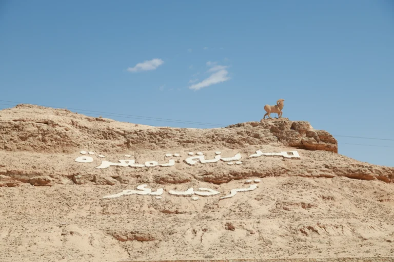 La Tunisie, pays situé au cœur de la méditerranée, est une destination qui combine à merveille culture, nature, et aventure. Que vous soyez amateur de plages paradisiaques, passionné d’histoire ou adepte des escapades désertiques, ce joyau du Maghreb vous promet des souvenirs inoubliables. Découvrons ensemble pourquoi la Tunisie est la destination idéale pour vos prochaines vacances. Pourquoi choisir la Tunisie pour vos vacances ? La Tunisie offre une variété époustouflante de paysages et d’activités. En une seule journée, vous pouvez passer d’une baignade dans les eaux turquoise de la mer méditerranéenne à une balade dans les dunes dorées du Sahara. Climat agréable toute l’année : Avec plus de 300 jours d’ensoleillement par an, la Tunisie est une destination parfaite pour des vacances en toute saison. Un patrimoine culturel riche : Des ruines romaines de Carthage aux médinas animées comme celle de Tunis, le pays regorge de sites historiques fascinants. Des expériences uniques dans le désert : Rien n’égale une nuit à la belle étoile dans le Sahara ou une promenade à dos de dromadaire. Les meilleures destinations pour une excursion en Tunisie Découvrez le charme authentique de Djerba Située au sud-est de la Tunisie, l’île de Djerba est un havre de paix. Ses plages immaculées et son ambiance décontractée en font une destination privilégiée pour les amateurs de farniente. Activités à ne pas manquer : Visitez la synagogue El Ghriba, explorez le village de potiers de Guellala, et flânez dans le marché animé de Houmt Souk. Hébergement : Choisissez parmi une sélection d’hôtels alliant confort moderne et charme traditionnel. Tatouine : sur les traces de Star Wars Les paysages lunaires de Tatouine ont inspiré les décors de la célèbre saga Star Wars. Mais au-delà du cinéma, cette région offre des ksours fascinants (anciens greniers fortifiés) et un aperçu authentique de la culture berbère. Points forts : Découvrez le Ksar Ouled Soltane, le Ksar Hadada, et l’impressionnante citadelle de Chenini. Conseils : Privilégiez une excursion guidée pour mieux comprendre l’histoire de ces sites uniques. Douz : la porte du Sahara Connue comme la "porte du désert", Douz est un point de départ idéal pour explorer le Sahara tunisien. Cette petite ville est réputée pour son festival du Sahara, qui célèbre chaque année la culture nomade. Activités phares : Faites une balade à dos de dromadaire, admirez le coucher du soleil sur les dunes, et passez une nuit dans un campement bédouin. Gastronomie locale : Goûtez à la fameuse "madfouna", une galette farcie cuite dans le sable. Les oasis de Chebika et Tamerza Ces oasis de montagne, situées près de Tozeur, sont un vrai paradis pour les amoureux de la nature. Cascades, palmeraies et canyons offrent des paysages spectaculaires qui semblent tout droit sortis d’un rêve. Chebika : Connue comme l’à-pic du soleil, elle est parfaite pour une balade à travers ses sentiers rocheux. Tamerza : Visitez les ruines de l’ancien village et profitez d’une vue imprenable sur les montagnes environnantes. Planifiez votre voyage avec Sud Tunisie Nous comprenons que planifier des vacances peut parfois être un véritable casse-tête. C’est pourquoi nous sommes là pour vous aider à organiser un séjour sur mesure qui correspond à vos envies et votre budget. Que vous souhaitiez une excursion d’une journée ou un circuit complet à travers le désert, notre équipe d’experts est à votre écoute. → Pour en savoir plus sur nos circuits et excursions, visitez notre page dédiée. Quand partir en Tunisie ? La meilleure période pour visiter la Tunisie dépend de vos préférences et des activités que vous souhaitez réaliser : Printemps (mars à mai) : Idéal pour explorer les sites historiques et profiter de températures agréables. Été (juin à août) : Parfait pour se détendre sur les plages, mais évitez les heures les plus chaudes si vous visitez le désert. Automne (septembre à novembre) : Une excellente saison pour les excursions dans le désert. Hiver (décembre à février) : Températures plus douces pour des aventures sahariennes. Conseils pratiques pour un séjour réussi en Tunisie Préparez vos documents : Assurez-vous que votre passeport est valide et, si nécessaire, obtenez un visa avant votre départ. Habillez-vous en fonction des activités : Privilégiez des vêtements légers pour la journée et prévoyez une veste pour les soirées fraîches dans le désert. Goûtez à la cuisine locale : Découvrez des saveurs uniques avec des plats comme le couscous, la brik à l’œuf ou encore le mloukhia. Restez hydraté : Le climat tunisien peut être sec, alors n’oubliez pas de boire beaucoup d’eau, surtout en été. Pour organiser votre voyage ou demander un devis, cliquez ici. La Tunisie, une destination pour tous les goûts Que vous soyez en quête de détente, d’aventure ou de découvertes culturelles, la Tunisie a tout pour vous plaire. Ses paysages variés, sa riche histoire et son hospitalité chaleureuse font de ce pays une destination incontournable. Alors, préparez vos valises et partez vivre une expérience unique au cœur de la méditerranée !