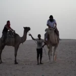 Tozeur, joyau du sud tunisien, est une destination captivante pour les amateurs de déserts, d’aventures et de découvertes culturelles. Cette oasis emblématique vous plonge dans un univers unique, entre dunes dorées, palmeraies luxuriantes et un patrimoine historique exceptionnel. Avec sudtunisie.com, vivez une expérience inoubliable où authenticité et dépaysement sont au rendez-vous. Découvrir Tozeur : Une Oasis Unique au Cœur du Sahara Un Paysage Enchanteur Entre Désert et Palmeraies Tozeur est célèbre pour ses paysages saisissants où le désert rencontre la verdure des palmeraies. Avec plus de 200 000 palmiers, la palmeraie de Tozeur est une véritable merveille naturelle. Lors d’une balade, laissez-vous séduire par ses allées ombragées et ses canaux d’irrigation traditionnels. Le Chott el-Jerid, un immense lac salé qui s’étend à perte de vue, est une autre attraction incontournable. Les reflets éblouissants du soleil sur les cristaux de sel offrent un spectacle saisissant, surtout au lever et au coucher du soleil. Un Climat Idéal pour une Escapade Toute l’Année Avec un climat aride et ensoleillé, Tozeur est une destination parfaite pour les amateurs de chaleur et de ciel bleu. Que ce soit pour échapper à la grisaille hivernale ou pour profiter d’une aventure estivale, cette région vous accueille dans une ambiance chaleureuse. Les Trésors Culturels et Historiques de Tozeur La Vieille Ville : Une Architecture Authentique La médina de Tozeur est une plongée dans l’histoire et les traditions locales. Connue pour ses maisons en briques décoratives, cette vieille ville est un véritable musée à ciel ouvert. Les ruelles tortueuses et les motifs géométriques des façades racontent l’histoire de l’artisanat local. Le Musée Dar Cheraïet : Une Fenêtre sur le Passé Ce musée privé est un lieu incontournable pour les passionnés d’histoire et de culture. Vous y découvrirez une collection impressionnante d’objets traditionnels, d’outils anciens et de costumes typiques de la région. L’Oasis de Montagne : Chebika, Tamerza et Midès Les oasis de montagne situées non loin de Tozeur sont de véritables joyaux. Chebika, surnommée « le balcon du désert », offre des vues spectaculaires sur les montagnes et les cascades. Tamerza, avec ses ruines romantiques, et Midès, connue pour son canyon impressionnant, sont des étapes immanquables lors de votre visite. Activités et Loisirs pour Tous à Tozeur Balades en Dromadaire et Excursions en 4x4 Pour une immersion totale dans l’univers du désert, rien de tel qu’une balade à dos de dromadaire. Vous traverserez les dunes dorées dans une ambiance paisible, loin de l’agitation urbaine. Pour les amateurs de sensations fortes, les excursions en 4x4 dans le désert offrent une expérience unique. Les guides locaux vous emmèneront dans des lieux cachés et authentiques. Activités Culturelles et Gastronomiques Tozeur est aussi une terre de saveurs. Dégustez des plats traditionnels comme le couscous au désert ou les fameuses dattes Deglet Nour, connues comme étant les meilleures au monde. Ne manquez pas les festivals locaux, notamment le Festival International des Oasis, qui met en valeur la culture et le folklore de la région. Planifiez Vos Vacances avec sudtunisie.com Pourquoi Choisir sudtunisie.com ? Avec sudtunisie.com, nous vous offrons un accompagnement personnalisé pour réaliser vos rêves de découverte en Tunisie. Nos points forts : Des circuits sur mesure : Adaptés à vos envies et votre budget. Une expertise locale : Des guides professionnels et passionnés pour une expérience authentique. Un large choix d’activités : Pour des vacances riches en aventures et en découvertes. Contactez-Nous Dès Maintenant ! Préparez votre voyage sans stress en demandant un devis personnalisé via ce lien : Devis Voyage Sud Tunisie. Notre équipe se fera un plaisir de répondre à toutes vos questions et de planifier avec vous des vacances sur mesure. Conclusion : Tozeur, une Destination Inoubliable Tozeur est bien plus qu’une simple destination, c’est une expérience à part entière. Entre son patrimoine unique, ses paysages enchanteurs et ses activités variées, cette oasis du sud tunisien promet des souvenirs inoubliables. Avec sudtunisie.com, laissez-vous guider pour découvrir tous les secrets de cette région exceptionnelle. Que vous soyez un aventurier dans l’âme ou un amateur de culture, Tozeur a tout pour vous séduire. Alors, n’attendez plus : préparez votre voyage et laissez Tozeur vous révéler sa magie.