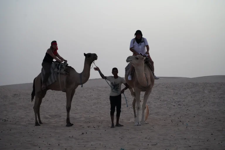 Tozeur, joyau du sud tunisien, est une destination captivante pour les amateurs de déserts, d’aventures et de découvertes culturelles. Cette oasis emblématique vous plonge dans un univers unique, entre dunes dorées, palmeraies luxuriantes et un patrimoine historique exceptionnel. Avec sudtunisie.com, vivez une expérience inoubliable où authenticité et dépaysement sont au rendez-vous. Découvrir Tozeur : Une Oasis Unique au Cœur du Sahara Un Paysage Enchanteur Entre Désert et Palmeraies Tozeur est célèbre pour ses paysages saisissants où le désert rencontre la verdure des palmeraies. Avec plus de 200 000 palmiers, la palmeraie de Tozeur est une véritable merveille naturelle. Lors d’une balade, laissez-vous séduire par ses allées ombragées et ses canaux d’irrigation traditionnels. Le Chott el-Jerid, un immense lac salé qui s’étend à perte de vue, est une autre attraction incontournable. Les reflets éblouissants du soleil sur les cristaux de sel offrent un spectacle saisissant, surtout au lever et au coucher du soleil. Un Climat Idéal pour une Escapade Toute l’Année Avec un climat aride et ensoleillé, Tozeur est une destination parfaite pour les amateurs de chaleur et de ciel bleu. Que ce soit pour échapper à la grisaille hivernale ou pour profiter d’une aventure estivale, cette région vous accueille dans une ambiance chaleureuse. Les Trésors Culturels et Historiques de Tozeur La Vieille Ville : Une Architecture Authentique La médina de Tozeur est une plongée dans l’histoire et les traditions locales. Connue pour ses maisons en briques décoratives, cette vieille ville est un véritable musée à ciel ouvert. Les ruelles tortueuses et les motifs géométriques des façades racontent l’histoire de l’artisanat local. Le Musée Dar Cheraïet : Une Fenêtre sur le Passé Ce musée privé est un lieu incontournable pour les passionnés d’histoire et de culture. Vous y découvrirez une collection impressionnante d’objets traditionnels, d’outils anciens et de costumes typiques de la région. L’Oasis de Montagne : Chebika, Tamerza et Midès Les oasis de montagne situées non loin de Tozeur sont de véritables joyaux. Chebika, surnommée « le balcon du désert », offre des vues spectaculaires sur les montagnes et les cascades. Tamerza, avec ses ruines romantiques, et Midès, connue pour son canyon impressionnant, sont des étapes immanquables lors de votre visite. Activités et Loisirs pour Tous à Tozeur Balades en Dromadaire et Excursions en 4x4 Pour une immersion totale dans l’univers du désert, rien de tel qu’une balade à dos de dromadaire. Vous traverserez les dunes dorées dans une ambiance paisible, loin de l’agitation urbaine. Pour les amateurs de sensations fortes, les excursions en 4x4 dans le désert offrent une expérience unique. Les guides locaux vous emmèneront dans des lieux cachés et authentiques. Activités Culturelles et Gastronomiques Tozeur est aussi une terre de saveurs. Dégustez des plats traditionnels comme le couscous au désert ou les fameuses dattes Deglet Nour, connues comme étant les meilleures au monde. Ne manquez pas les festivals locaux, notamment le Festival International des Oasis, qui met en valeur la culture et le folklore de la région. Planifiez Vos Vacances avec sudtunisie.com Pourquoi Choisir sudtunisie.com ? Avec sudtunisie.com, nous vous offrons un accompagnement personnalisé pour réaliser vos rêves de découverte en Tunisie. Nos points forts : Des circuits sur mesure : Adaptés à vos envies et votre budget. Une expertise locale : Des guides professionnels et passionnés pour une expérience authentique. Un large choix d’activités : Pour des vacances riches en aventures et en découvertes. Contactez-Nous Dès Maintenant ! Préparez votre voyage sans stress en demandant un devis personnalisé via ce lien : Devis Voyage Sud Tunisie. Notre équipe se fera un plaisir de répondre à toutes vos questions et de planifier avec vous des vacances sur mesure. Conclusion : Tozeur, une Destination Inoubliable Tozeur est bien plus qu’une simple destination, c’est une expérience à part entière. Entre son patrimoine unique, ses paysages enchanteurs et ses activités variées, cette oasis du sud tunisien promet des souvenirs inoubliables. Avec sudtunisie.com, laissez-vous guider pour découvrir tous les secrets de cette région exceptionnelle. Que vous soyez un aventurier dans l’âme ou un amateur de culture, Tozeur a tout pour vous séduire. Alors, n’attendez plus : préparez votre voyage et laissez Tozeur vous révéler sa magie.