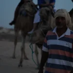 Explorez la richesse culturelle et naturelle de la Tunisie Envie de découvrir le sud tunisien dans toute sa splendeur ? Que vous partiez de Hammamet, Sousse ou Monastir, une excursion bien planifiée vous permet d’explorer les merveilles de la Tunisie. Ce voyage, mêlant histoire, nature et traditions, est une véritable immersion dans l’âme du pays. De la douceur des plages aux portes du désert, suivez-nous pour un circuit inoubliable. Départ de Hammamet, Sousse ou Monastir : Trois points stratégiques Hammamet : Un point de départ relaxant Hammamet est connue pour ses plages paradisiaques et ses infrastructures hôtelières modernes. Avant de partir, vous pouvez profiter de ses jardins luxuriants et de la vieille médina. Le contraste entre la modernité de la ville et l’authenticité du sud est un parfait avant-goût de votre aventure. Sousse : La perle du Sahel Point de départ idéal pour un circuit, Sousse offre un riche patrimoine historique avec sa médina classée au patrimoine mondial de l’UNESCO. Ne manquez pas la Grande Mosquée et le Ribat avant de partir vers le sud. La proximité de Sousse avec d’autres grandes villes en fait une base pratique. Monastir : Entre modernité et traditions Monastir combine une atmosphère résolument tunisienne avec des installations touristiques haut de gamme. Son mausolée de Bourguiba et ses plages magnifiques sont des attractions incontournables avant de s’aventurer plus loin. Les points forts du circuit : Sites historiques, nature et culture Djerba : L’île des rêves Première étape majeure, l’île de Djerba est un havre de paix. Connue pour ses plages idylliques et ses villages pittoresques, elle est un parfait mélange entre traditions berbères et culture arabe. Ne manquez pas le village de Houmt Souk et la synagogue de la Ghriba, l’une des plus anciennes d’Afrique. Tataouine et ses ksours Direction Tataouine, un véritable plongeon dans l’histoire. Les ksours, anciens greniers collectifs, sont des témoignages uniques du patrimoine berbère. Ces structures impressionnantes ont également servi de décors pour des films célèbres comme Star Wars. Douz : La porte du désert Douz est une véritable invitation à l’aventure. Cette petite ville est connue comme la « porte du désert ». Ici, vous pourrez monter à dos de chameau pour une balade inoubliable dans les dunes de sable doré. Pour une expérience encore plus immersive, passez une nuit sous tente dans un campement bédouin. Les ciels étoilés du désert vous laisseront sans voix. Matmata : Les maisons troglodytiques Matmata est célèbre pour ses habitations troglodytiques, des maisons creusées dans la roche pour réguler la température. Ces demeures uniques offrent un regard fascinant sur la manière dont les populations locales se sont adaptées à leur environnement. Vous pouvez également visiter des lieux mythiques qui ont inspiré des créateurs de films. Tozeur et Nefta : Les oasis luxuriantes Les villes-oasis de Tozeur et Nefta sont connues pour leurs palmeraies étendues et leur atmosphère mystique. Le Chott el-Jérid, un immense lac salé qui semble s’étendre à l’infini, est une expérience à part. Avec un peu de chance, vous pourrez apercevoir des mirages. Les oasis de montagne : Chebika, Tamerza et Midès Ces oasis perchées dans les montagnes sont une merveille naturelle. Chebika, surnommée « le balcon du désert », offre des panoramas à couper le souffle. Tamerza, avec ses cascades, et Midès, avec ses canyons impressionnants, complètent cette expérience unique. Pourquoi choisir notre circuit ? Une organisation sur-mesure Nous comprenons que chaque voyageur a des besoins uniques. Nos circuits sont conçus pour offrir une expérience personnalisée, avec des étapes adaptées à vos centres d’intérêt. Notre équipe professionnelle garantit un voyage sans stress, pour que vous puissiez vous concentrer sur la découverte. Un confort optimal Voyager dans le sud tunisien peut être une aventure exigeante. C’est pourquoi nous nous assurons que tous nos circuits incluent des transports climatisés, des hébergements confortables et des repas de qualité. Vous pourrez profiter pleinement de votre voyage sans vous soucier des détails logistiques. Des guides experts Nos guides locaux sont de véritables passionnés. Ils partagent avec vous leurs connaissances approfondies sur l’histoire, la culture et la nature de chaque destination. Vous aurez l’impression de voyager avec un ami qui connaît tous les secrets du pays. Planifiez votre aventure dès maintenant Prêt à explorer le sud tunisien ? N’attendez plus pour vivre une expérience unique. Réservez votre circuit aujourd’hui et partez à l’aventure. Visitez notre site pour obtenir un devis personnalisé : https://sudtunisie.com/devis-voyage-desert-sud-tunisie-vacances-pas-cher-tunisie-sahara-tunisie. Pour des informations supplémentaires sur nos circuits, consultez cette page : https://sudtunisie.com/voyage/circuits-desert. Découvrez la Tunisie autrement avec nos circuits sur mesure. Une aventure à ne pas manquer !